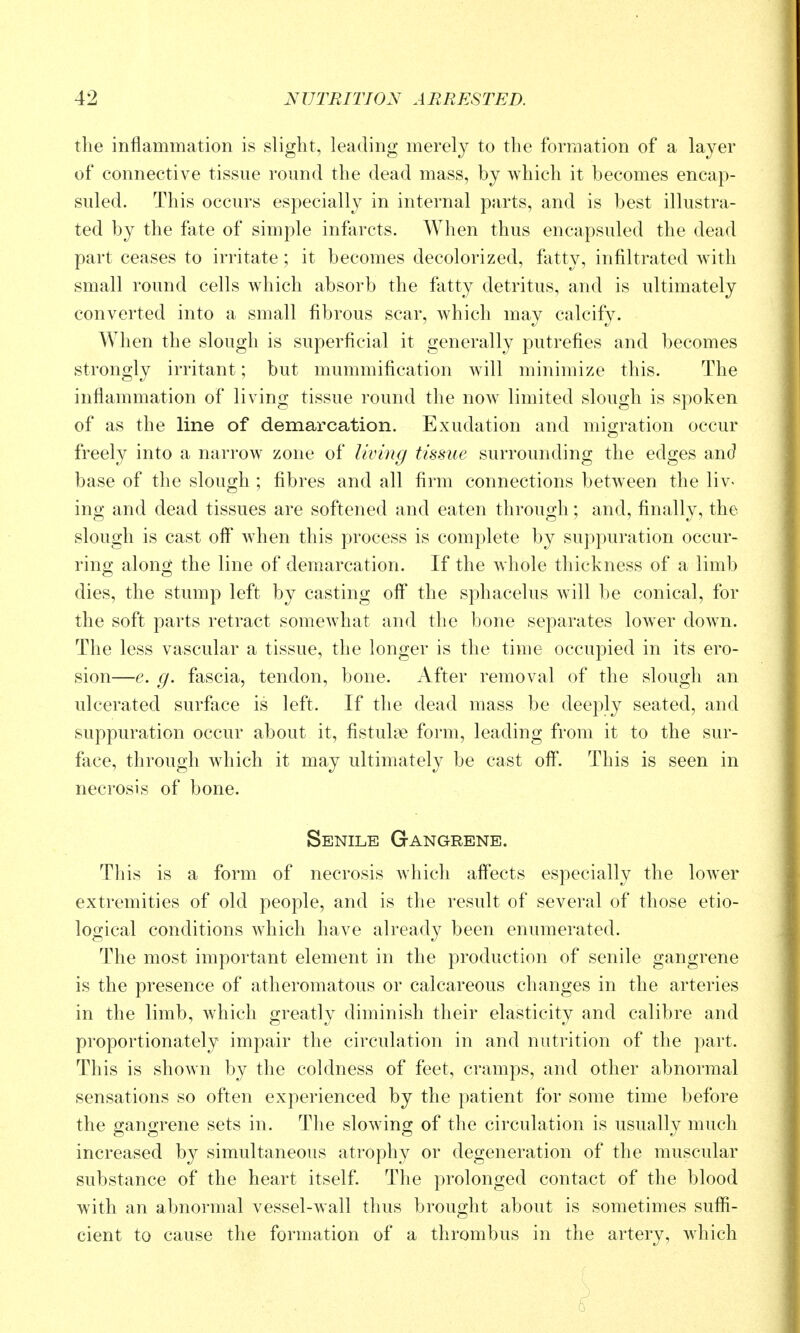 the inflammation is slight, leading merely to the formation of a layer of connective tissue round the dead mass, by which it becomes encap- suled. This occurs especially in internal parts, and is best illustra- ted by the fate of simple infarcts. When thus encapsuled the dead part ceases to irritate ; it becomes decolorized, fatty, infiltrated with small round cells which absorb the fatty detritus, and is ultimately converted into a small fibrous scar, which may calcify. When the slough is superficial it generally putrefies and becomes strongly irritant; but mummification will minimize this. The inflammation of living tissue round the now limited slough is spoken of as the line of demarcation. Exudation and mig-ration occur freely into a narrow zone of living tissue surrounding the edges and base of the slough ; fibres and all firm connections between the liv- ing and dead tissues are softened and eaten through; and, finally, the slough is cast off when this process is complete by suppuration occur- ring along the line of demarcation. If the whole thickness of a limb dies, the stump left by casting off the sphacelus will be conical, for the soft parts retract somewhat and the bone separates lower down. The less vascular a tissue, the longer is the time occupied in its ero- sion—e. g. fascia, tendon, bone. After removal of the slough an ulcerated surfiice is left. If the dead mass be deeply seated, and suppuration occur about it, fistuloe form, leading from it to the sur- face, through which it may ultimately be cast off. This is seen in necrosis of bone. Senile Gangrene. This is a form of necrosis which affects especially the lower extremities of old people, and is the result of several of those etio- logical conditions which have already been enumerated. The most important element in the production of senile gangrene is the presence of atheromatous or calcareous changes in the arteries in the limb, which greatly diminish their elasticity and calibre and proportionately impair the circulation in and nutrition of the part. This is shown by the coldness of feet, cramps, and other abnormal sensations so often experienced by the patient for some time before the gangrene sets in. The slowing of the circulation is usually much increased by simultaneous atrophy or degeneration of the muscular substance of the heart itself. The prolonged contact of the blood with an abnormal vessel-wall thus brought about is sometimes suffi- cient to cause the formation of a thrombus in the artery, which