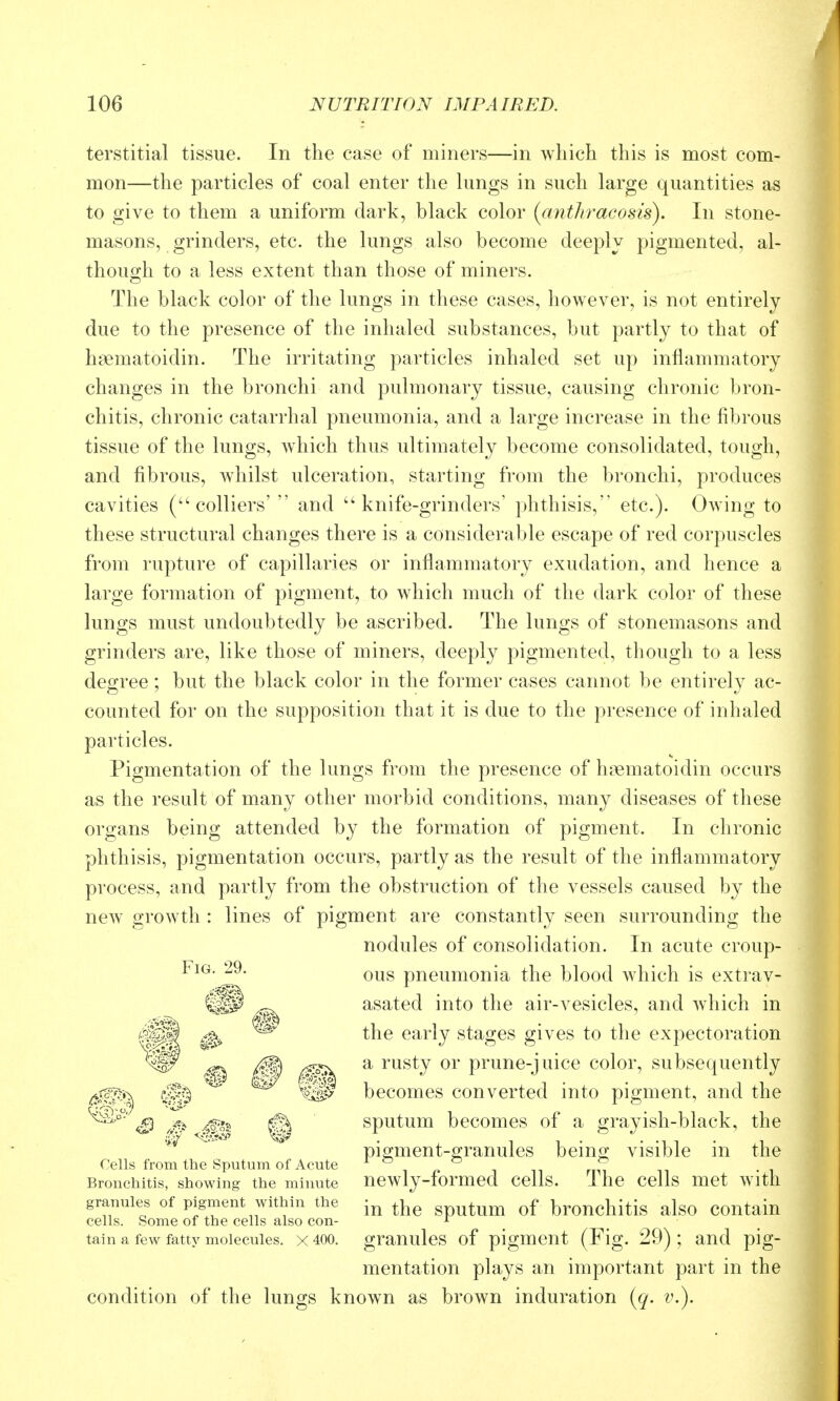 terstitial tissue. In the case of miners—in which this is most com- mon—the particles of coal enter the lungs in such large quantities as to give to them a uniform dark, black color (antliracosis). In stone- masons, grinders, etc. the lungs also become deeply pigmented, al- thouD-h to a less extent than those of miners. The black color of the lungs in these cases, however, is not entirely due to the presence of the inhaled substances, but partly to that of hsematoidin. The irritating particles inhaled set up inflammatory changes in the bronchi and pulmonary tissue, causing chronic bron- chitis, chronic catarrhal pneumonia, and a large increase in the fibrous tissue of the lungs, which thus ultimately become consolidated, tough, and fibrous, whilst ulceration, starting from the bronchi, produces cavities (colliers'  and knife-grinders' phthisis, etc.). Owing to these structural changes there is a considerable escape of red corpuscles from rupture of capillaries or inflammatory exudation, and hence a large formation of pigment, to which much of the dark color of these lungs must undoubtedly be ascribed. The lungs of stonemasons and grinders are, like those of miners, deeply pigmented, though to a less degree; but the black color in the former cases cannot be entirely ac- counted for on the supposition that it is due to the presence of inhaled particles. Pigmentation of the lungs from the presence of haematoidin occurs as the result of many other morbid conditions, many diseases of these organs being attended by the formation of pigment. In chronic phthisis, pigmentation occurs, partly as the result of the inflammatory process, and partly from the obstruction of the vessels caused by the new growth : lines of pigment are constantly seen surrounding the nodules of consolidation. In acute croup- ous pneumonia the blood which is extrav- asated into the air-vesicles, and which in the early stages gives to the expectoration a rusty or prune-juice color, subsequently becomes converted into pigment, and the sputum becomes of a grayish-black, the pigment-granules being visible in the newly-formed cells. The cells met with in the sputum of bronchitis also contain granules of pigment (Fig. 29) ; and pig- mentation plays an important part in the condition of the lungs known as brown induration (q. v.). Fig. 29. Cells from the Sputum of Acute Bronchitis, showing the minute granules of pigment within the cells. Some of the cells also con- tain a few fatty molecules. X 400.