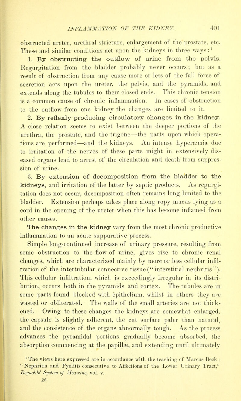 obstructed ureter, urethral stricture, enlargement of the prostate, etc. These and similar conditions act upon the kidneys in three Avays :^ 1. By obstmcting the outflow of urine from the pelvis. Regurgitation from the bladder probably never occurs; but as a result of obstruction from any cause more or less of the full force of secretion acts upon the ureter, the pelvis, and the pyramids, and extends along the tubules to their closed ends. This chronic tension is a common cause of chronic inflammation. In cases of obstruction to the outflow from one kidney the changes are limited to it. 2. By reflexly producing- circulatory changes in the kidney. A close relation seems to exist between the deeper portions of the urethra, the prostate, and the trigone—the parts upon which opera- tions are performed—and the kidneys. An intense hyper^emia due to irritation of the nerves of these parts might in extensively dis- eased organs lead to arrest of the circulation and death from suppres- sion of urine. 3. By extension of decomposition from the bladder to the kidneys, and irritation of the latter by septic products. As regurgi- tation does not occur, decomposition often remains long limited to the bladder. Extension perhaps takes place along ropy mucus lying as a cord in the opening of the ureter when this has become inflamed from other causes. The changes in the kidney vary from the most chronic productive inflammation to an acute suppurative process. Simple long-continued increase of urinary pressure, resulting from some obstruction to the flow of urine, gives rise to chronic renal changes, which are characterized mainly by more or less cellular infil- tration of the intertubular connective tissue (interstitial nephritis). This cellular infiltration, which is exceedingly irregular in its distri- bution, occurs both in the pyramids and cortex. The tubules are in some parts found blocked with epithelium, w^hilst in others they are wasted or obliterated. The walls of the small arteries are not thick- ened. Owing to these changes the kidneys are somewhat enlarged, the capsule is slightly adherent, the cut surface paler than natural^ and the consistence of the organs abnormally tough. As the process advances the pyramidal portions gradually become absorbed, the absorption commencing at the papillae, and extending until ultimately ^ The views here expressed are in accordance with the teacliing of Marcus Beck :  Nephritis and Pyelitis consecutive to Affections of the Lower Urinary Tract/' Reynolds' System of Medicine, vol. v. 26