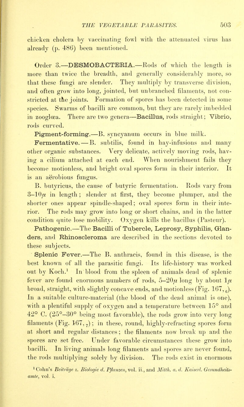 chicken cholera by vaccinating fowl with the attenuated virus has already (p. 486) been mentioned. Order 3.—DESMOBACTERIA.—Rods of which the length is more than twice the breadth, and generally considerably more, so that these fungi are slender. They multiply by transverse division, and often grow into long, jointed, but unbranched filaments, not con- stricted at the joints. Formation of spores has been detected in some species. Swarms of bacilli are common, but they are rarely imbedded in zoogloea. There are two genera—Bacillus, rods straight; Vibrio, rods curved. Pig-ment-forming.—B. syncyanum occurs in blue milk. Fermentative. — B. subtilis, found in hay-infusions and many other organic substances. Very delicate, actively moving rods, hav- ing a cilium attached at each end. When nourishment fails they become motionless, and bright oval spores form in their interior. It is an aerobious fungus. B. butyricus, the cause of butyric fermentation. Rods vary from S-10fjt in length ; slender at first, they become plumper, and the shorter ones appear spindle-shaped; oval spores form in their inte- rior. The rods may grow into long or short chains, and in the latter condition quite lose mobility. Oxygen kills the bacillus (Pasteur). Pathogenic.—The Bacilli of Tubercle, Leprosy, Syphilis, Glan- ders, and Rhinoscleroma are described in the sections devoted to these subjects. Splenic Fever.—The B. anthracis, found in this disease, is the best known of all the parasitic fungi. Its life-history was worked out by Koch.^ In blood from the spleen of animals dead of splenic fever are found enormous numbers of rods, 5-20/^ long by about Ijn broad, straight, with slightly concave ends, and motionless (Fig. 167, g). In a suitable culture-material (the blood of the dead animal is one), with a plentiful supply of oxygen and a temperature between 15° and 42° C. (25°-30° being most favorable), the rods grow into very long filaments (Fig. 167, ^) ; in these, round, highly-refracting spores form at short and regular distances; the filaments now break up and the spores are set free. Under favorable circumstances these grow into bacilli. In living animals long filaments and spores are never found, the rods multiplying solely by division. The rods exist in enormous ^ Cohn's Beifrdge z. Biologie d. Pflanzen, vol. ii., and Mitth. a. d. Kalserl. Gesundheits- amte, vol. i.