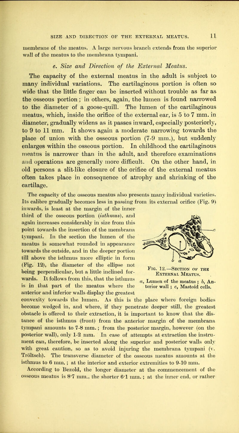 membrane of the meatus. A large nervous branch extends from the superior wall of the meatus to the membrana tympani. e. Size and Direction of the External Meatus. The capacity of the external meatus in the adult is subject to many individual variations. The cartilaginous portion is often so wide that the little finger can be inserted without trouble as far as the osseous portion; in others, again, the lumen is found narrowed to the diameter of a goose-quill. The lumen of the cartilaginous meatus, which, inside the orifice of the external ear, is 5 to 7 mm. in diameter, gradually widens as it passes inward, especially posteriorly, to 9 to 11 mm. It shows again a moderate narrowing towards the place of union with the osseous portion (7-9 mm.), but suddenly enlarges within the osseous portion. In childhood the cartilaginous meatus is narrower than in the adult, and therefore examinations and operations are generally more difficult. On the other hand, in old persons a slit-like closure of the orifice of the external meatus often takes place in consequence of atrophy and shrinking of the cartilage. The capacity of the osseous meatus also presents many individual varieties. Its calibre gradually becomes less in passing from its external orifice (Fig. 9) inwards, is least at the margin of the inner third of the osseous portion (isthmus), and ig^. again increases considerably in size from this point towards the insertion of the membrana /^^^ä^ßWb*c tympani. In the section the lumen of the ^ i^B!S\^?ft^\ meatus is somewhat rounded in appearance ^^^^te.^s. I J^^^Ty^ towards the outside, and in the deeper portion ^*<S>j^*>a?b'V till above the isthmus more elliptic in form J ^^p*^-^ (Fig. 12), the diameter of the ellipse not ^ ^ being perpendicular, but a little inclined for- External Meatus ^ wards. It follows from this, that the isthmus ^ Lumen of the meatug &> An_ is in that part of the meatus where the terior wall ; c, Mastoid cells, anterior and inferior walls display the greatest convexity towards the lumen. As this is the place where foreign bodies become wredged in, and where, if they penetrate deeper still, the greatest obstacle is offered to their extraction, it is important to know that the dis- tance of the isthmus (front) from the anterior margin of the membrana tympani amounts to 7-8 mm.; from the posterior margin, however (on the posterior wall), only 1-2 mm. In case of attempts at extraction the instru- ment can, therefore, be inserted along the superior and posterior walls only with great caution, so as to avoid injuring the membrana tympani (v. Tröltsch). The transverse diameter of the osseous meatus amounts at the isthmus to 6 mm.; at the interior and exterior extremities to 9-10 mm. According to Bezold, the longer diameter at the commencement of the osseous meatus is 8*7 mm., the shorter 6'1 mm. ; at the inner end, or rather