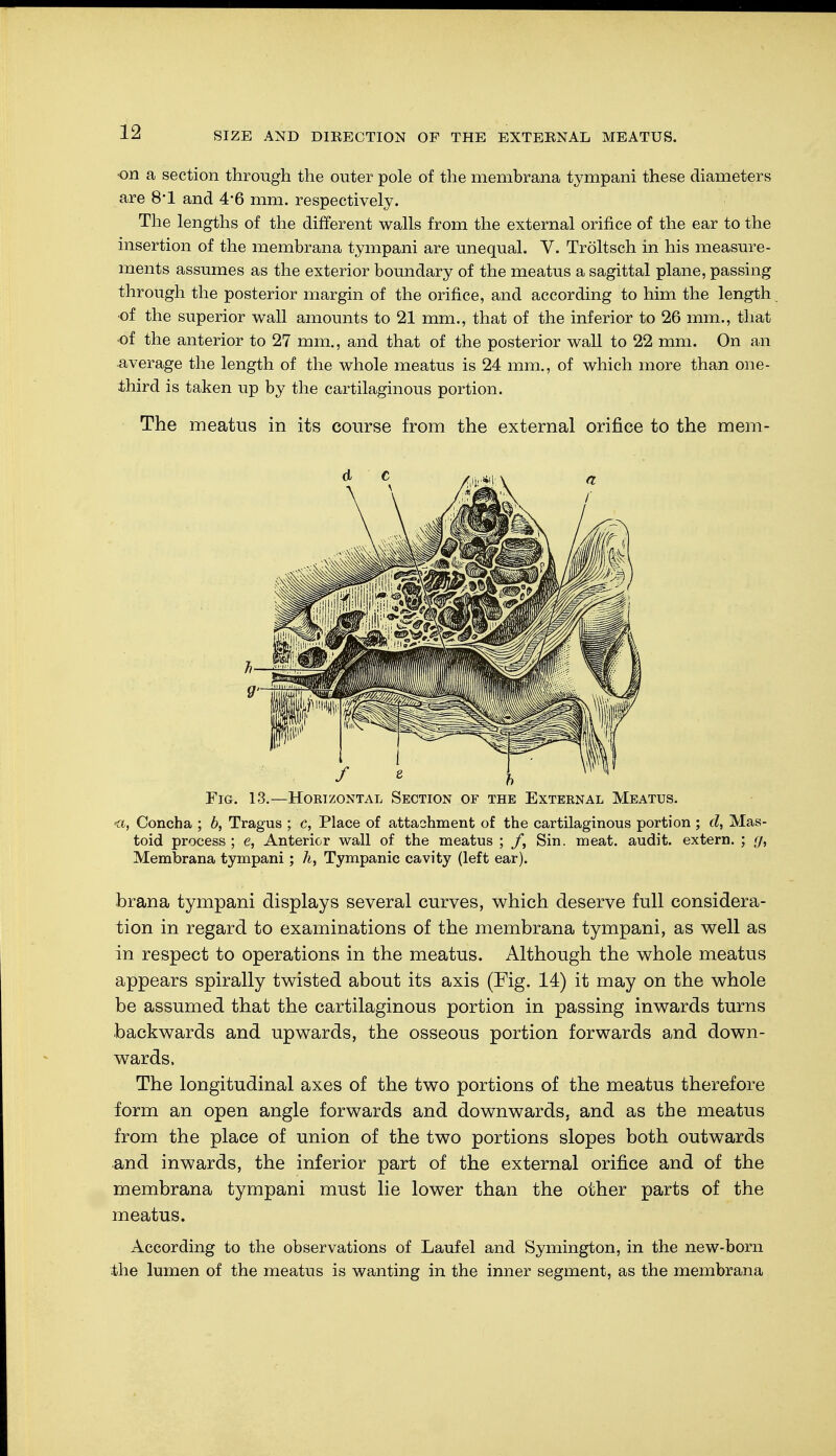 on a section through the outer pole of the membrana tympani these diameters are 8'1 and 4*6 mm. respectively. The lengths of the different walls from the external orifice of the ear to the insertion of the membrana tympani are unequal. V. Tröltsch in his measure- ments assumes as the exterior boundary of the meatus a sagittal plane, passing through the posterior margin of the orifice, and according to him the length •of the superior wall amounts to 21 mm., that of the inferior to 26 mm., that •of the anterior to 27 mm., and that of the posterior wall to 22 mm. On an average the length of the whole meatus is 24 mm., of which more than one- third is taken up by the cartilaginous portion. The meatus in its course from the external orifice to the mem- Fig. 13.—Horizontal Section of the External Meatus. •a, Concha ; b, Tragus ; c, Place of attachment of the cartilaginous portion; d, Mas- toid process ; e, Anterior wall of the meatus ; f, Sin. meat, audit, extern. ; g, Membrana tympani; h, Tympanic cavity (left ear). brana tympani displays several curves, which deserve full considera- tion in regard to examinations of the membrana tympani, as well as in respect to operations in the meatus. Although the whole meatus appears spirally twisted about its axis (Fig. 14) it may on the whole be assumed that the cartilaginous portion in passing inwards turns backwards and upwards, the osseous portion forwards and down- wards. The longitudinal axes of the two portions of the meatus therefore form an open angle forwards and downwards, and as the meatus from the place of union of the two portions slopes both outwards and inwards, the inferior part of the external orifice and of the membrana tympani must lie lower than the other parts of the meatus. According to the observations of Laufel and Symington, in the new-born the lumen of the meatus is wanting in the inner segment, as the membrana