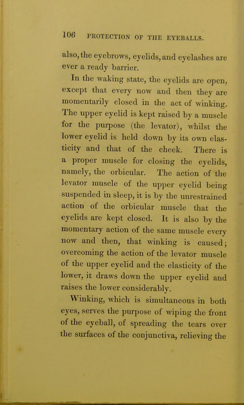 also, the eyebrows, eyelids, and eyelashes are ever a ready barrier. In the waking state, the eyelids are open, except that every now and then they are momentarily closed in the act of winking. The upper eyelid is kept raised by a muscle for the purpose (the levator), whilst the lower eyelid is held down by its own elas- ticity and that of the cheek. There is a proper muscle for closing the eyelids, namely, the orbicular. The action of the levator muscle of the upper eyelid being suspended in sleep, it is by the unrestrained action of the orbicular muscle that the eyelids are kept closed. It is also by the momentary action of the same muscle every now and then, that winking is caused; overcoming the action of the levator muscle of the upper eyelid and the elasticity of the lower, it draws down the upper eyelid and raises the lower considerably. Winking, which is simultaneous in both eyes, serves the purpose of wiping the front of the eyeball, of spreading the tears over the surfaces of the conjunctiva, relieving the