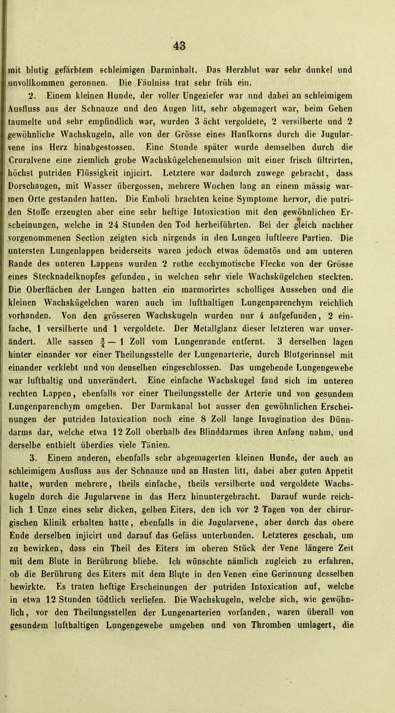 mit blutig gefärbtem schleimigen Darminhalt. Das Herzblut war sehr dunkel und unvollkommen geronnen. Die Fäulniss trat sehr früh ein. 2. Einem kleinen Hunde, der voller Ungeziefer war und dabei an schleimigem Ausfluss aus der Schnauze und den Augen litt, sehr abgemagert war, beim Gehen taumelte und sehr empfindlich war, wurden 3 acht vergoldete, 2 versilberte und 2 .gewöhnliche Wachskugeln, alle von der Grösse eines Flanfkorns durch die Jugular- vene ins Herz hinabgestossen. Eine Stunde später wurde demselben durch die Cruralvene eine ziemlich grobe Wachskügelchenemulsion mit einer frisch filtrirten, höchst putriden Flüssigkeit injicirt. Letztere war dadurch zuwege gebracht, dass Dorschaugen, mit Wasser Übergossen, mehrere Wochen lang an einem massig war- men Orte gestanden hatten. Die Emboli brachten keine Symptome hervor, die putri- den StoEfe erzeugten aber eine sehr heftige Intoxication mit den gewöhnlichen Er- scheinungen, welche in 24 Stunden den Tod herbeiführten. Bei der gleich nachher vorgenommenen Section zeigten sich nirgends in den Lungen luftleere Partien. Die untersten Lungenlappen beiderseits waren jedoch etwas ödematös und am unteren Rande des unteren Lappens wurden 2 rothe ecchymotische Flecke von der Grösse eines Stecknadelknopfes gefunden, in welchen sehr viele Wachskügelchen steckten. Die Oberflächen der Lungen hatten ein marmorirtes scholliges Aussehen und die kleinen Wachskügelchen waren auch im lufthaltigen Lungenparenchym reichlich vorhanden. Von den grösseren Wachskugeln wurden nur 4 aufgefunden, 2 ein- fache, 1 versilberte und 1 vergoldete. Der Metallglanz dieser letzteren war unver- ändert. Alle sassen f — 1 Zoll vom Lungenrande entfernt. 3 derselben lagen hinter einander vor einer Theilungsstelle der Lungenarterie, durch Blutgerinnsel mit einander verklebt und von denselben eingeschlossen. Das umgebende Lungengewebe war lufthaltig und unverändert. Eine einfache Wachskugel fand sich im unteren rechten Lappen, ebenfalls vor einer Theilungsstelle der Arterie und von gesundem Lungenparenchym umgeben. Der Darmkanal bot ausser den gewöhnlichen Erschei- nungen der putriden Intoxication noch eine 8 Zoll lange Invagination des Dünn- darms dar, welche etwa 12 Zoll oberhalb des Blinddarmes ihren Anfang nahm, und derselbe enthielt überdies viele Tänien. 3. Einem anderen, ebenfalls sehr abgemagerten kleinen Hunde, der auch an schleimigem Ausfluss aus der Schnauze und an Husten litt, dabei aber guten Appetit hatte, wurden mehrere, theils einfache, theils versilberte und vergoldete Wachs- kugeln durch^die Jugularvene in das Herz hinuntergebracht. Darauf wurde reich- lich 1 Unze eines sehr dicken, gelben Eiters, den ich vor 2 Tagen von der chirur- gischen Klinik erhalten hatte, ebenfalls in die Jugularvene, aber durch das obere Ende derselben injicirt und darauf das Gefäss unterbunden. Letzteres geschah, um zu bewirken, dass ein Theil des Eiters im oberen Stück der Vene längere Zeit mit dem Blute in Berührung bliebe. Ich wünschte nämlich zugleich zu erfahren, ob die Berührung des Eiters mit dem Blqte in den Venen eine Gerinnung desselben bewirkte. Es traten heftige Erscheinungen der putriden Intoxication auf, welche in etwa 12 Stunden tödtlich verliefen. Die Wachskugeln, welche sich, wie gewöhn- lich, vor den Theilungsstellen der Lungenarterien vorfanden, waren überall von gesundem lufthaltigen Lungengewebe umgeben und von Thromben umlagert, die