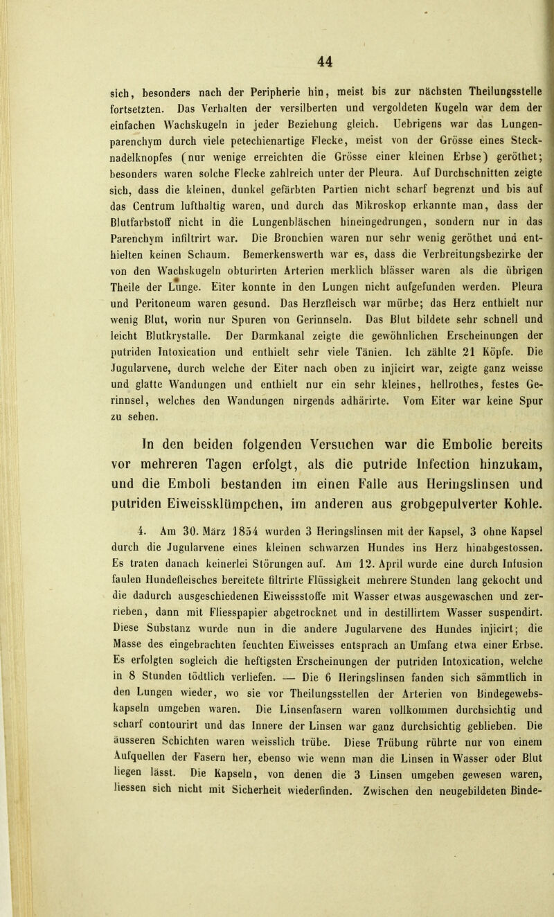 sich, besonders nach der Peripherie hin, meist bis zur nächsten Theilungsstelle fortsetzten. Das Verhalten der versilberten und vergoldeten Kugeln war dem der einfachen Wachskugeln in jeder Beziehung gleich. Uebrigens war das Lungen- parenchym durch viele petechienartige Flecke, meist von der Grösse eines Steck- nadelknopfes (nur wenige erreichten die Grösse einer kleinen Erbse) geröthet; besonders waren solche Flecke zahlreich unter der Pleura. Auf Durchschnitten zeigte sich, dass die kleinen, dunkel gefärbten Partien nicht scharf begrenzt und bis auf das Centrum lufthaltig waren, und durch das Mikroskop erkannte man, dass der Blutfarbstoff nicht in die Lungenbläschen hineingedrungen, sondern nur in das Parenchym infiltrirt war. Die Bronchien waren nur sehr wenig geröthet und ent- hielten keinen Schaum. Bemerkenswerth war es, dass die Verbreitungsbezirke der von den Wachskugeln obturirten Arterien merklich blässer waren als die übrigen Theile der Lunge. Eiter konnte in den Lungen nicht aufgefunden werden. Pleura und Peritoneum waren gesund. Das Herzfleisch war mürbe; das Herz enthielt nur wenig Blut, worin nur Spuren von Gerinnseln. Das Blut bildete sehr schnell und leicht Blutkrystalle. Der Darmkanal zeigte die gewöhnlichen Erscheinungen der putriden Intoxication und enthielt sehr viele Tänien. Ich zählte 21 Köpfe. Die Jugularvene, durch welche der Eiter nach oben zu injicirt war, zeigte ganz weisse und glatte Wandungen und enthielt nur ein sehr kleines, hellrothes, festes Ge- rinnsel, welches den Wandungen nirgends adhärirte. Vom Eiter war keine Spur zu sehen. In den beiden folgenden Versuchen war die Embolie bereits vor mehreren Tagen erfolgt, als die putride Infection hinzukam, und die Emboli bestanden im einen Falle aus Heringslinsen und putriden Eiweissklümpchen, im anderen aus grobgepulverter Kohle. 4. Am 30. März 1854 wurden 3 Heringslinsen mit der Kapsel, 3 ohne Kapsel durch die Jugularvene eines kleinen schwarzen Hundes ins Herz hinabgestossen. Es traten danach keinerlei Störungen auf. Am 12. April wurde eine durch Infusion faulen Hundefleisches bereitete filtrirte Flüssigkeit mehrere Stunden lang gekocht und die dadurch ausgeschiedenen Eiweissstoffe mit Wasser etwas ausgewaschen und zer- rieben, dann mit Fliesspapier abgetrocknet und in destillirtem Wasser suspendirt. Diese Substanz wurde nun in die andere Jugularvene des Hundes injicirt; die Masse des eingebrachten feuchten Eivveisses entsprach an Umfang etwa einer Erbse. Es erfolgten sogleich die heftigsten Erscheinungen der putriden Intoxication, welche in 8 Stunden tödtlich verliefen. — Die 6 Heringslinsen fanden sich sämmtlich in den Lungen wieder, wo sie vor Theilungsstellen der Arterien von Bindegewebs- kapseln umgeben waren. Die Linsenfasern waren vollkommen durchsichtig und scharf contourirt und das Innere der Linsen war ganz durchsichtig geblieben. Die äusseren Schichten waren weisslich trübe. Diese Trübung rührte nur von einem Aufquellen der Fasern her, ebenso wie wenn man die Linsen in Wasser oder Blut liegen lässt. Die Kapseln, von denen die 3 Linsen umgeben gewesen waren, hassen sich nicht mit Sicherheit wiederfinden. Zwischen den neugebildeten Binde-