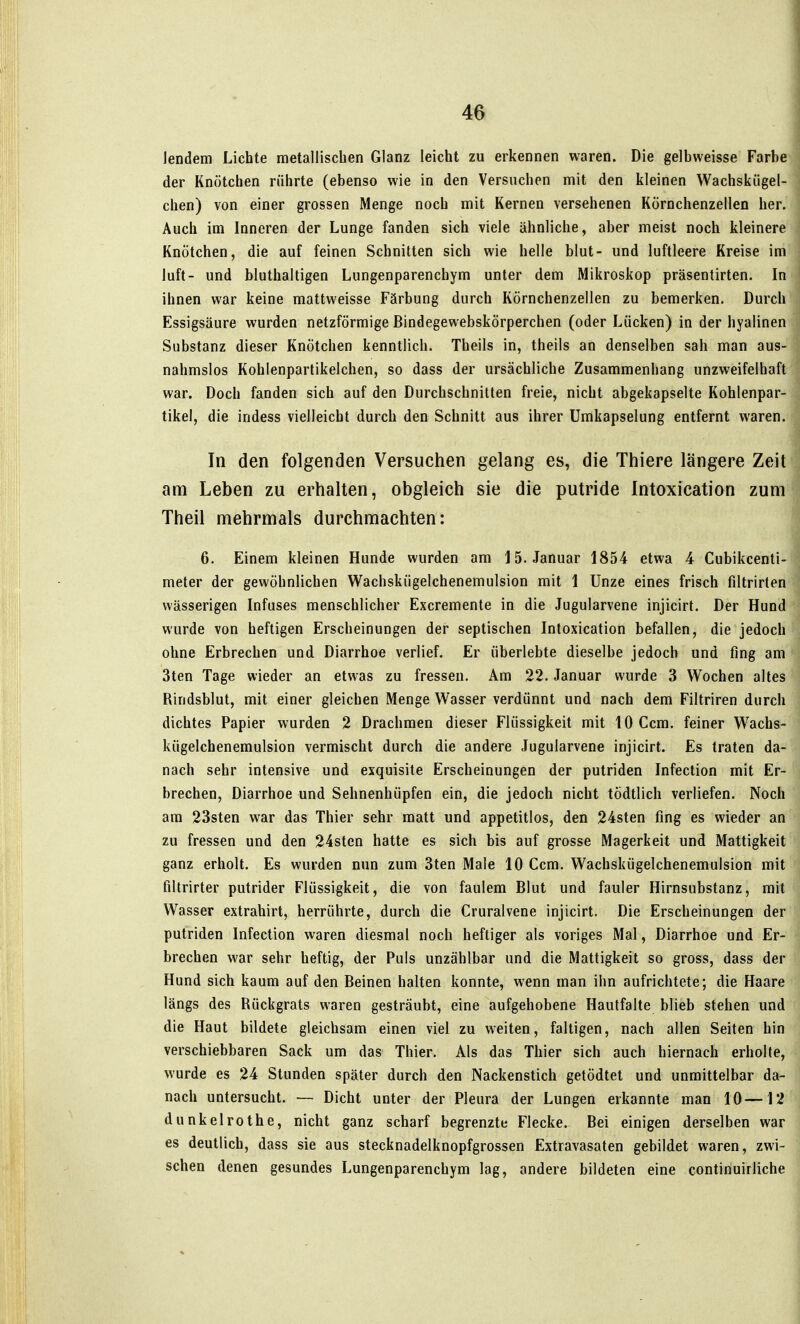 lendem Lichte metallischen Glanz leicht zu erkennen waren. Die gelbweisse Farbe der Knötchen rührte (ebenso wie in den Versuchen mit den kleinen Wachskügel- chen) von einer grossen Menge noch mit Kernen versehenen Körnchenzellen her. Auch im Inneren der Lunge fanden sich viele ähnliche, aber meist noch kleinere Knötchen, die auf feinen Schnitten sich wie helle blut- und luftleere Kreise im luft- und bluthaltigen Lungenparenchym unter dem Mikroskop präsentirten. In ihnen war keine mattweisse Färbung durch Körnchenzellen zu bemerken. Durch Essigsäure wurden netzförmige Bindegewebskörperchen (oder Lücken) in der hyalinen Substanz dieser Knötchen kenntlich. Theils in, theils an denselben sah man aus- nahmslos Kohlenpartikelchen, so dass der ursächliche Zusammenhang unzweifelhaft war. Doch fanden sich auf den Durchschnitten freie, nicht abgekapselte Kohlenpar- tikel, die indess vielleicht durch den Schnitt aus ihrer ümkapselung entfernt waren. In den folgenden Versuchen gelang es, die Thiere längere Zeit am Leben zu erhalten, obgleich sie die putride Intoxication zum Theil mehrmals durchmachten: 6. Einem kleinen Hunde wurden am 15. Januar 1854 etwa 4 Cubikcenti- meter der gewöhnlichen Wachskügelchenemulsion mit 1 Unze eines frisch filtrirten wässerigen Infuses menschlicher Excremente in die Jugularvene injicirt. Der Hund wurde von heftigen Erscheinungen der septischen Intoxication befallen, die jedoch ohne Erbrechen und Diarrhoe verlief. Er überlebte dieselbe jedoch und fing am 3ten Tage wieder an etwas zu fressen. Am 22. Januar wurde 3 Wochen altes Rindsblut, mit einer gleichen Menge Wasser verdünnt und nach dem Filtriren durch dichtes Papier wurden 2 Drachmen dieser Flüssigkeit mit 10 Ccm. feiner Wachs- kügelchenemulsion vermischt durch die andere Jugularvene injicirt. Es traten da- nach sehr intensive und exquisite Erscheinungen der putriden Infection mit Er- brechen, Diarrhoe und Sehnenhüpfen ein, die jedoch nicht tödtlich verliefen. Noch am 23sten war das Thier sehr matt und appetitlos, den 24sten fing es wieder an zu fressen und den 24sten hatte es sich bis auf grosse Magerkeit und Mattigkeit ganz erholt. Es wurden nun zum 3ten Male 10 Ccm. Wachskügelchenemulsion mit fiUrirter putrider Flüssigkeit, die von faulem Blut und fauler Hirnsubstanz, mit Wasser extrahirt, herrührte, durch die Cruralvene injicirt. Die Erscheinungen der putriden Infection waren diesmal noch heftiger als voriges Mal, Diarrhoe und Er- brechen war sehr heftig, der Puls unzählbar und die Mattigkeit so gross, dass der Hund sich kaum auf den Beinen halten konnte, wenn man ihn aufrichtete; die Haare längs des Rückgrats waren gesträubt, eine aufgehobene Hautfalte blieb stehen und die Haut bildete gleichsam einen viel zu weiten, faltigen, nach allen Seiten hin verschiebbaren Sack um das Thier. Als das Thier sich auch hiernach erholte, wurde es 24 Stunden später durch den Nackenstich getödtet und unmittelbar da- nach untersucht. — Dicht unter der Pleura der Lungen erkannte man 10—12 dunkelrothe, nicht ganz scharf begrenzte Flecke. Bei einigen derselben war es deutlich, dass sie aus stecknadelknopfgrossen Extravasaten gebildet waren, zwi- schen denen gesundes Lungenparenchym lag, andere bildeten eine continuirliche