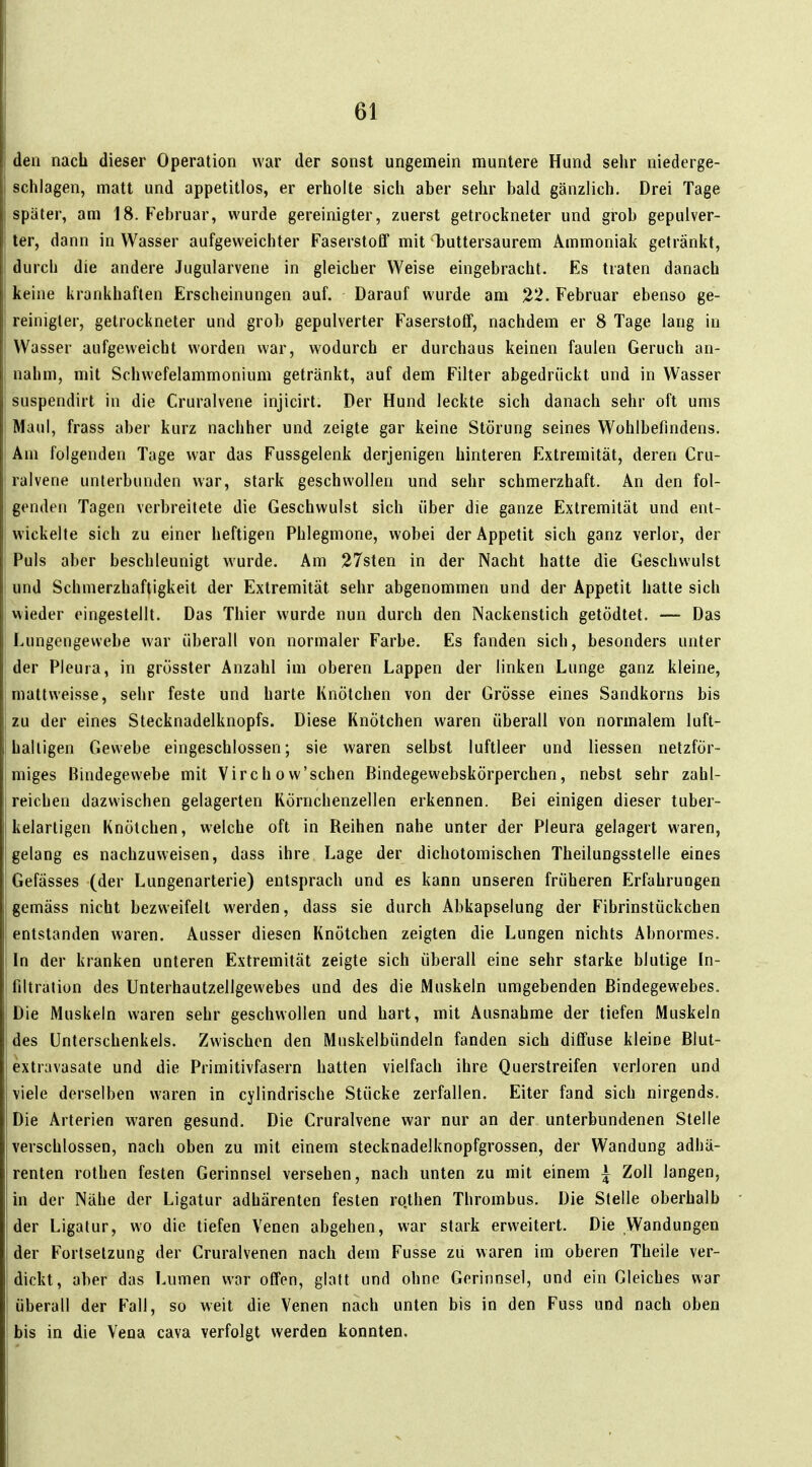 den nach dieser Operation war der sonst ungemein muntere Hund sehr niederge- schlagen, matt und appetitlos, er erholte sich aber selir bald gänzlich. Drei Tage später, am 18. Februar, wurde gereinigter, zuerst getrockneter und grob gepulver- ter, dann in Wasser aufgeweichter Faserstoff mit 'T)uttersaurem Ammoniak getränkt, durch die andere Juguiarvene in gleicher Weise eingebracht. Es traten danach keine krankhaften Erscheinungen auf. Darauf wurde am ^2. Februar ebenso ge- reinigter, getrockneter und grob gepulverter Faserstoff, nachdem er 8 Tage lang in Wasser aufgeweicht worden war, wodurch er durchaus keinen faulen Geruch an- nahm, mit Schwefelammonium getränkt, auf dem Filter abgedrückt und in Wasser suspendirt in die Cruralvene injicirt. Der Hund leckte sich danach sehr oft ums Maul, frass aber kurz nachher und zeigte gar keine Störung seines Wohlbefindens. Am folgenden Tage war das Fussgelenk derjenigen hinteren Extremität, deren Cru- ralvene unterbunden war, stark geschwollen und sehr schmerzhaft. An den fol- genden Tagen verbreitete die Geschwulst sich über die ganze Extremität und ent- wickelte sich zu einer heftigen Phlegmone, wobei der Appetit sich ganz verlor, der Puls aber beschleunigt wurde. Am 27sten in der Nacht hatte die Geschwulst und Schmerzhaftigkeit der Extremität sehr abgenommen und der Appetit hatte sich wieder eingestellt. Das Thier wurde nun durch den Nackenstich getödtet. — Das Lungengevvebe war überall von normaler Farbe. Es fanden sich, besonders unter der Pleura, in grösster Anzahl im oberen Lappen der linken Lunge ganz kleine, mattweisse, sehr feste und harte Knötchen von der Grösse eines Sandkorns bis zu der eines Stecknadelknopfs. Diese Knötchen waren überall von normalem luft- haltigen Gewebe eingeschlossen; sie waren selbst luftleer und Hessen netzför- miges Bindegewebe mit Virch o w'schen Bindegewebskörperchen, nebst sehr zahl- reichen dazwischen gelagerten Körnchenzellen erkennen. Bei einigen dieser tuber- kelarligen Knötchen, welche oft in Reihen nahe unter der Pleura gelagert waren, gelang es nachzuweisen, dass ihre Lage der dichotomischen Theilungsslelle eines Gefässes (der Lungenarterie) entsprach und es kann unseren früheren Erfahrungen gemäss nicht bezweifelt werden, dass sie durch Abkapselung der Fibrinstückchen entstanden waren. Ausser diesen Knötchen zeigten die Lungen nichts Abnormes. In der kranken unteren Extremität zeigte sich überall eine sehr starke blutige In- filtration des Unterhautzellgewebes und des die Muskeln umgebenden Bindegewebes. Die Muskeln waren sehr geschwollen und hart, mit Ausnahme der tiefen Muskeln des Unterschenkels. Zwischen den Muskelbündeln fanden sich diffuse kleine Blut- extravasate und die Primitivfasern hatten vielfach ihre Querstreifen verloren und viele derselben waren in cylindrische Stücke zerfallen. Eiter fand sich nirgends. Die Arterien waren gesund. Die Cruralvene war nur an der unterbundenen Stelle verschlossen, nach oben zu mit einem stecknadelknopfgrossen, der Wandung adbä- renten rothen festen Gerinnsel versehen, nach unten zu mit einem i Zoll langen, in der Nähe der Ligatur adhärenten festen rqthen Thrombus. Die Stelle oberhalb der Ligatur, wo die tiefen Venen abgehen, war stark erweitert. Die Wandungen der Fortsetzung der Cruralvenen nach dem Fusse zu waren im oberen Theile ver- dickt, aber das Lumen war offen, glatt und ohne Gerinnsel, und ein Gleiches war überall der Fall, so weit die Venen nach unten bis in den Fuss und nach oben bis in die Vena cava verfolgt werden konnten.