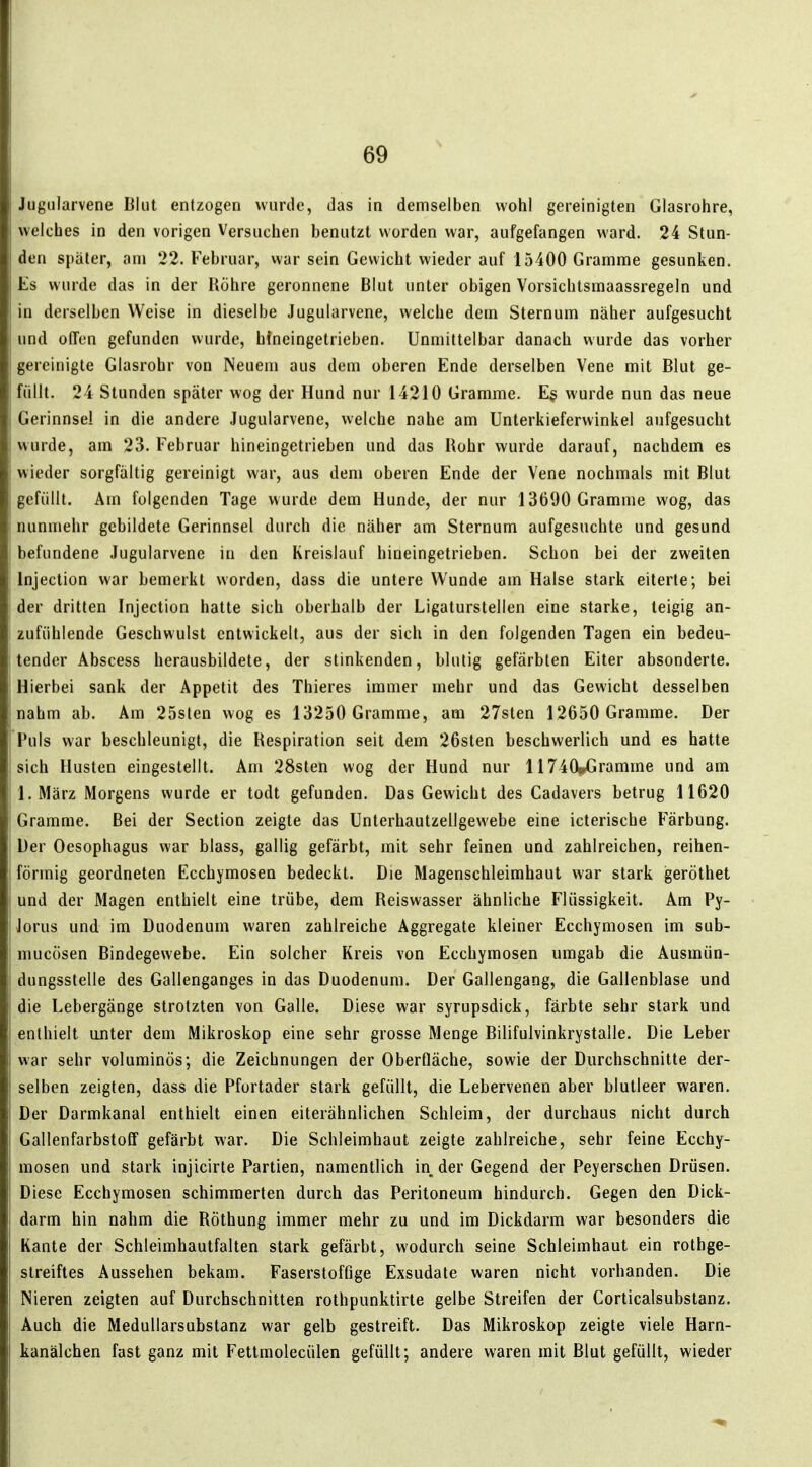 Jugiilarvene Blut entzogen wurde, das in demselben wohl gereinigten Glasrohre, welches in den vorigen Versuchen benutzt worden war, aufgefangen ward. 24 Stun- den später, am 22. Februar, war sein Gewicht wieder auf 15400 Gramme gesunken. Es wurde das in der Röhre geronnene Blut unter obigen Vorsichtsmaassregeln und in derselben Weise in dieselbe Jugularvene, welche dem Sternum näher aufgesucht und offen gefunden wurde, hfneingetrieben. Unmittelbar danach wurde das vorher gereinigte Glasrohr von Neuem aus dem oberen Ende derselben Vene mit Blut ge- füllt. 24 Stunden später wog der Hund nur 14210 Gramme. Es wurde nun das neue Gerinnsel in die andere Jugularvene, welche nahe am Unterkieferwinkel aufgesucht wurde, am 23. Februar hineingetrieben und das Rohr wurde darauf, nachdem es wieder sorgfältig gereinigt war, aus dem oberen Ende der Vene nochmals mit Blut gefüllt. Ain folgenden Tage wurde dem Hunde, der nur 13690 Gramme wog, das nunmehr gebildete Gerinnsel durch die näher am Sternum aufgesuchte und gesund befundene .Jugularvene in den Kreislauf hineingetrieben. Schon bei der zweiten Injection war bemerkt worden, dass die untere Wunde am Halse stark eiterte; bei der dritten Injection hatte sich oberhalb der Ligaturstellen eine starke, teigig an- zufühlende Geschwulst entwickelt, aus der sich in den folgenden Tagen ein bedeu- tender Abscess herausbildete, der stinkenden, blutig gefärbten Eiter absonderte. Hierbei sank der Appetit des Thieres immer mehr und das Gewicht desselben nahm ab. Am 25slen wog es 13250 Gramme, am 27sten 12650 Gramme. Der Fuls war beschleunigt, die Respiration seit dem 26sten beschwerlich und es hatte sich Husten eingestellt. Am 28sten wog der Hund nur 11740wGramme und am I.März Morgens wurde er todt gefunden. Das Gewicht des Cadavers betrug 11620 Gramme. Bei der Section zeigte das Unterhautzellgewebe eine icterische Färbung. Der Oesophagus war blass, gallig gefärbt, mit sehr feinen und zahlreichen, reihen- förmig geordneten Ecchymosen bedeckt. Die Magenschleimhaut war stark geröthet und der Magen enthielt eine trübe, dem Reiswasser ähnliche Flüssigkeit. Am Py- lorus und im Duodenum waren zahlreiche Aggregate kleiner Ecchymosen im sub- mucösen Bindegewebe. Ein solcher Kreis von Ecchymosen umgab die Ausmün- dungsstelle des Gallenganges in das Duodenum. Der Gallengang, die Gallenblase und die Lebergänge strotzten von Galle. Diese war syrupsdick, färbte sehr stark und enthielt unter dem Mikroskop eine sehr grosse Menge Bilifulvinkrystalle. Die Leber war sehr voluminös; die Zeichnungen der OberQäche, sowie der Durchschnitte der- selben zeigten, dass die Pfortader stark gefüllt, die Lebervenen aber blutleer waren. Der Darmkanal enthielt einen eiterähnlichen Schleim, der durchaus nicht durch Gallenfarbstoff gefärbt war. Die Schleimhaut zeigte zahlreiche, sehr feine Ecchy- mosen und stark injicirte Partien, namentlich in der Gegend der Peyerschen Drüsen. Diese Ecchymosen schimmerten durch das Peritoneum hindurch. Gegen den Dick- darm hin nahm die Röthung immer mehr zu und im Dickdarm war besonders die Kante der Schleimhautfalten stark gefärbt, wodurch seine Schleimhaut ein rothge- streiftes Aussehen bekam. Faserstoffige Exsudate waren nicht vorhanden. Die Nieren zeigten auf Durchschnitten rothpunktirte gelbe Streifen der Corticalsubstanz. Auch die Medullarsubstanz war gelb gestreift. Das Mikroskop zeigte viele Harn- kanälchen fast ganz mit Fettmolecülen gefüllt; andere waren mit Blut gefüllt, wieder