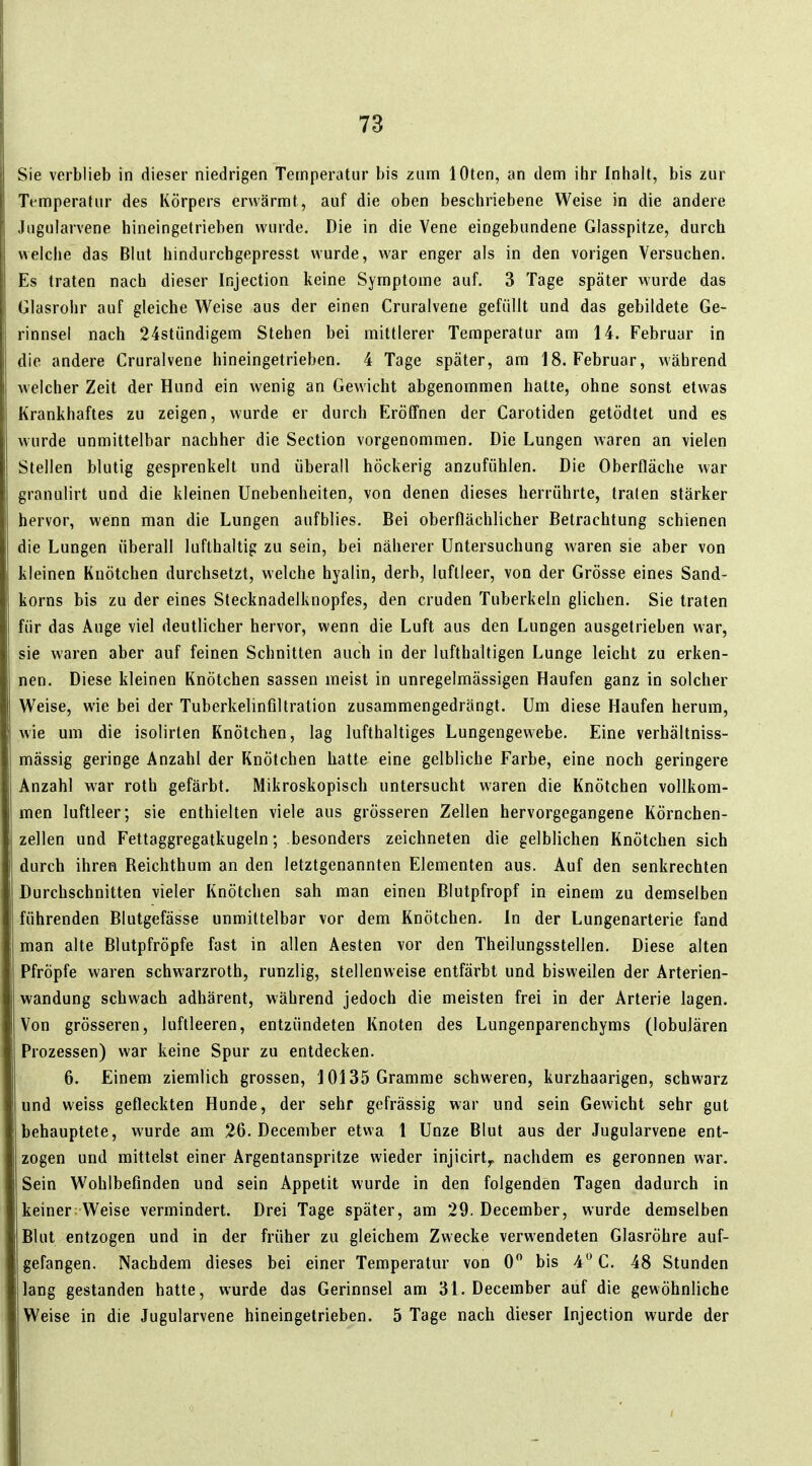 Sie verblieb in dieser niedrigen Temperatur bis zum lOten, an dem ihr Inhalt, bis zur Temperatur des Körpers erwärmt, auf die oben beschriebene Weise in die andere Jugularvene hineingetrieben wurde. Die in die Vene eingebundene Glasspitze, durch welclie das Blut hindurchgepresst wurde, war enger als in den vorigen Versuchen. Es traten nach dieser Injection keine Symptome auf. 3 Tage später wurde das Glasrohr auf gleiche Weise aus der einen Cruralvene gefüllt und das gebildete Ge- rinnsel nach 24stündigem Stehen bei mittlerer Temperatur am 14. Februar in die andere Cruralvene hineingetrieben. 4 Tage später, am 18. Februar, während welcher Zeit der Hund ein wenig an Gewicht abgenommen hatte, ohne sonst etwas Krankhaftes zu zeigen, wurde er durch Eröffnen der Carotiden getödtet und es wurde unmittelbar nachher die Section vorgenommen. Die Lungen waren an vielen Stellen blutig gesprenkelt und überall höckerig anzufühlen. Die Oberfläche war granulirt und die kleinen Unebenheiten, von denen dieses herrührte, traten stärker hervor, wenn man die Lungen aufblies. Bei oberflächlicher Betrachtung schienen die Lungen überall lufthaltig zu sein, bei näherer Untersuchung waren sie aber von kleinen Knötchen durchsetzt, welche hyalin, derb, luftleer, von der Grösse eines Sand- korns bis zu der eines Stecknadelknopfes, den cruden Tuberkeln glichen. Sie traten für das Auge viel deutlicher hervor, wenn die Luft aus den Lungen ausgetrieben war, sie waren aber auf feinen Schnitten auch in der lufthaltigen Lunge leicht zu erken- nen. Diese kleinen Knötchen sassen meist in unregelmässigen Haufen ganz in solcher Weise, wie bei der Tuberkelinfiltration zusammengedrängt. Um diese Haufen herum, wie um die isolirten Knötchen, lag lufthaltiges Lungengewebe. Eine verhältniss- mässig geringe Anzahl der Knötchen hatte eine gelbliche Farbe, eine noch geringere Anzahl war roth gefärbt. Mikroskopisch untersucht waren die Knötchen vollkom- men luftleer; sie enthielten viele aus grösseren Zellen hervorgegangene Körnchen- zellen und Fettaggregatkugeln; besonders zeichneten die gelblichen Knötchen sich durch ihren Reichthum an den letztgenannten Elementen aus. Auf den senkrechten Durchschnitten vieler Knötchen sah man einen Blutpfropf in einem zu demselben führenden Blutgefässe unmittelbar vor dem Knötchen. In der Lungenarterie fand man alte Blutpfröpfe fast in allen Aesten vor den Theilungsstellen. Diese alten Pfropfe waren schwarzroth, runzlig, stellenweise entfärbt und bisweilen der Arterien- wandung schwach adhärent, während jedoch die meisten frei in der Arterie lagen. Von grösseren, luftleeren, entzündeten Knoten des Lungenparenchyms (lobulären Prozessen) war keine Spur zu entdecken. 6. Einem ziemlich grossen, 10135 Gramme schweren, kurzhaarigen, schwarz und weiss gefleckten Hunde, der sehr gefrässig war und sein Gewicht sehr gut 1 behauptete, wurde am 26. December etwa 1 Unze Blut aus der Jugularvene ent- zogen und mittelst einer Argentanspritze wieder injicirt^ nachdem es geronnen war. Sein Wohlbefinden und sein Appetit wurde in den folgenden Tagen dadurch in keiner Weise vermindert. Drei Tage später, am 29. December, wurde demselben Blut entzogen und in der früher zu gleichem Zwecke verwendeten Glasröhre auf- gefangen. Nachdem dieses bei einer Temperatur von 0 bis 4 C. 48 Stunden lang gestanden hatte, wurde das Gerinnsel am 31. December auf die gewöhnliche Weise in die Jugularvene hineingetrieben. 5 Tage nach dieser Injection wurde der