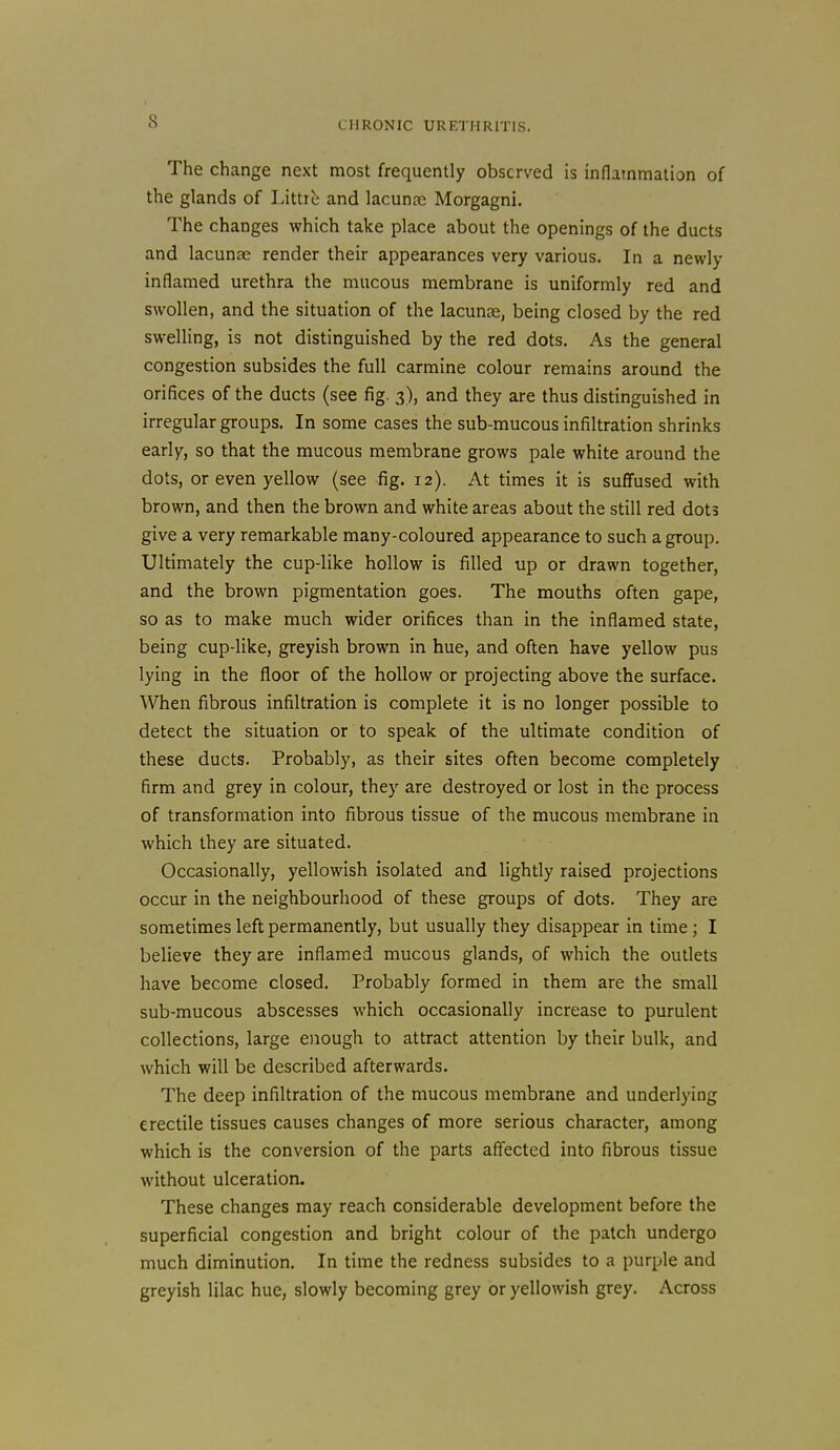 The change next most frequently observed is inflammation of the glands of Littib and lacunae Morgagni. The changes which take place about the openings of the ducts and lacunae render their appearances very various. In a newly inflamed urethra the mucous membrane is uniformly red and swollen, and the situation of the lacunae, being closed by the red swelling, is not distinguished by the red dots. As the general congestion subsides the full carmine colour remains around the orifices of the ducts (see fig. 3), and they are thus distinguished in irregular groups. In some cases the sub-mucous infiltration shrinks early, so that the mucous membrane grows pale white around the dots, or even yellow (see fig. 12). At times it is suffused with brown, and then the brown and white areas about the still red dots give a very remarkable many-coloured appearance to such a group. Ultimately the cup-like hollow is filled up or drawn together, and the brown pigmentation goes. The mouths often gape, so as to make much wider orifices than in the inflamed state, being cup-like, greyish brown in hue, and often have yellow pus lying in the floor of the hollow or projecting above the surface. When fibrous infiltration is complete it is no longer possible to detect the situation or to speak of the ultimate condition of these ducts. Probably, as their sites often become completely firm and grey in colour, they are destroyed or lost in the process of transformation into fibrous tissue of the mucous membrane in which they are situated. Occasionally, yellowish isolated and lightly raised projections occur in the neighbourhood of these groups of dots. They are sometimes left permanently, but usually they disappear in time; I believe they are inflamed mucous glands, of which the outlets have become closed. Probably formed in them are the small sub-mucous abscesses which occasionally increase to purulent collections, large oiough to attract attention by their bulk, and which will be described afterwards. The deep infiltration of the mucous membrane and underlying erectile tissues causes changes of more serious character, among which is the conversion of the parts affected into fibrous tissue without ulceration. These changes may reach considerable development before the superficial congestion and bright colour of the patch undergo much diminution. In time the redness subsides to a purple and greyish lilac hue, slowly becoming grey or yellowish grey. Across