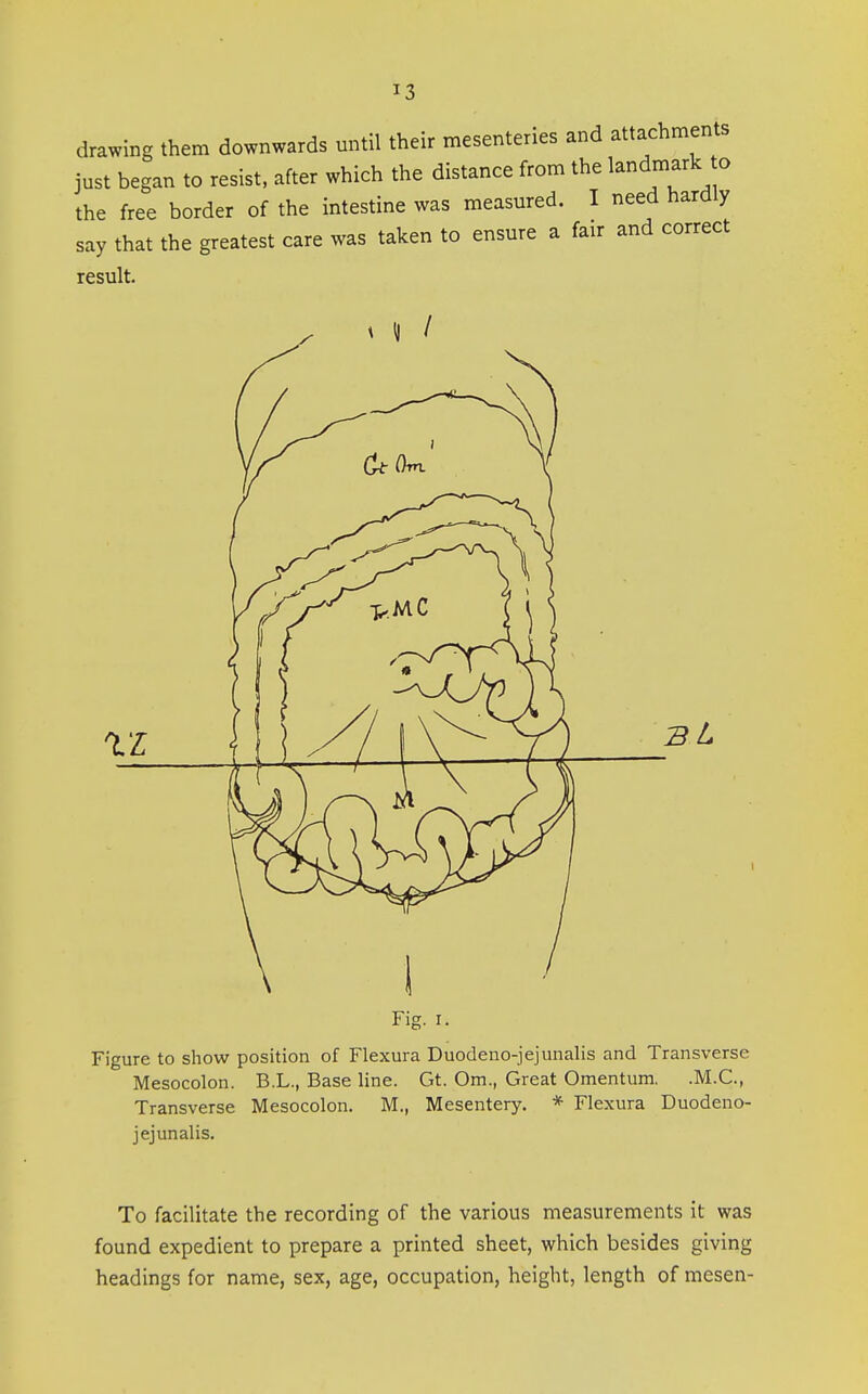drawing them downwards until their mesenteries and attachments just began to resist, after which the distance from the landmark o the free border of the intestine was measured. I need hardly say that the greatest care was taken to ensure a fair and correct result. Fig. I. Figure to show position of Flexura Duodeno-jejuiialis and Transverse Mesocolon. B.L., Base line. Gt. Om., Great Omentum. .M.C., Transverse Mesocolon. M., Mesentery. * Flexura Duodeno- jejunalis. To facilitate the recording of the various measurements it was found expedient to prepare a printed sheet, which besides giving headings for name, sex, age, occupation, height, length of mesen-