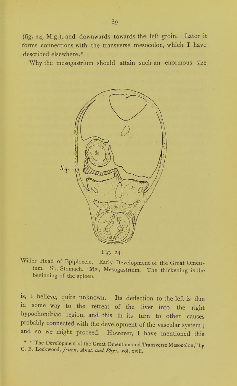 (fig. 24, M.g.), and downwards towards the left groin. Later it forms connections with the transverse mesocolon, which I have described elsewhere.* Why the mesogastrium should attain such an enormous size Fig. 24. Wider Head of Epiplocele. Early Development of the Great Omen- tum. St., Stomach. Mg., Mesogastrium. The thickening is the beginning of the spleen. IS, I believe, quite unknown. Its deflection to the left is due in some way to the retreat of the liver into the right hypochondriac region, and this in its turn to other causes probably connected with the development of the vascular system ; and so we might proceed. However, I have mentioned this *  The Development of the Great Omentum and Transverse Mesocolon, by C. B. 'Lockv/ooA,/cum. Aiiat. and Phys., vol. xviii.