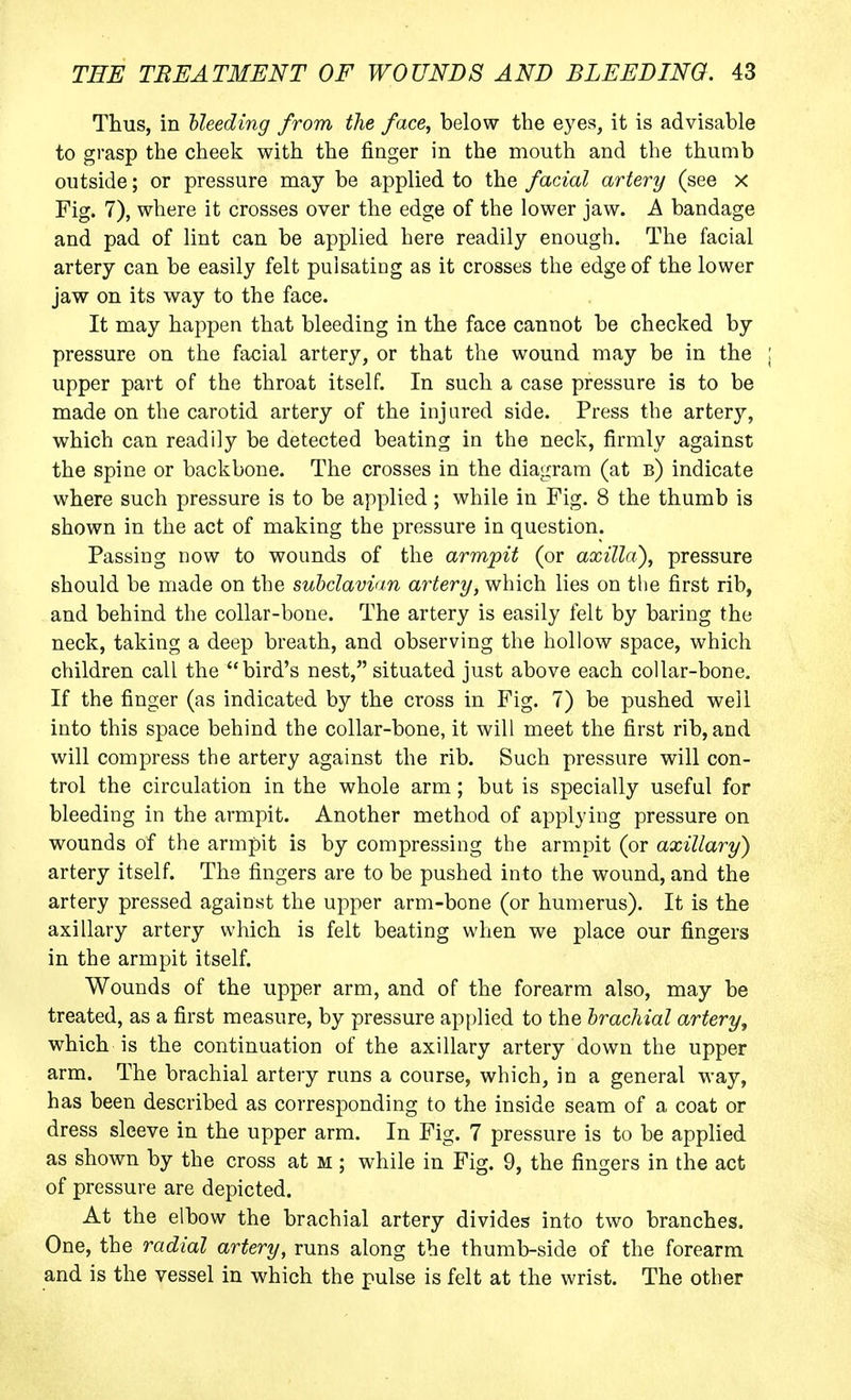 Thus, in Needing from the face, below the eyes, it is advisable to grasp the cheek with the finger in the mouth and the thumb outside; or pressure may be applied to the facial artery (see x Fig. 7), where it crosses over the edge of the lower jaw. A bandage and pad of lint can be applied here readily enough. The facial artery can be easily felt pulsating as it crosses the edge of the lower jaw on its way to the face. It may happen that bleeding in the face cannot be checked by pressure on the facial artery, or that the wound may be in the upper part of the throat itself. In such a case pressure is to be made on the carotid artery of the injured side. Press the artery, which can readily be detected beating in the neck, firmly against the spine or backbone. The crosses in the diagram (at b) indicate where such pressure is to be applied; while in Fig. 8 the thumb is shown in the act of making the pressure in question. Passing now to wounds of the armpit (or axilla'), pressure should be made on the subclavian artery, which lies on the first rib, and behind the collar-bone. The artery is easily felt by baring the neck, taking a deep breath, and observing the hollow space, which children call the bird's nest, situated just above each collar-bone. If the finger (as indicated by the cross in Fig. 7) be pushed well into this space behind the collar-bone, it will meet the first rib, and will compress the artery against the rib. Such pressure will con- trol the circulation in the whole arm; but is specially useful for bleeding in the armpit. Another method of applying pressure on wounds of the armpit is by compressing the armpit (or axillary) artery itself. The fingers are to be pushed into the wound, and the artery pressed against the upper arm-bone (or humerus). It is the axillary artery which is felt beating when we place our fingers in the armpit itself. Wounds of the upper arm, and of the forearm also, may be treated, as a first measure, by pressure applied to the brachial artery^ which is the continuation of the axillary artery down the upper arm. The brachial artery runs a course, which, in a general way, has been described as corresponding to the inside seam of a coat or dress sleeve in the upper arm. In Fig. 7 pressure is to be applied as shown by the cross at m ; while in Fig. 9, the fingers in the act of pressure are depicted. At the elbow the brachial artery divides into two branches. One, the radial artery, runs along the thumb-side of the forearm and is the vessel in which the pulse is felt at the wrist. The other