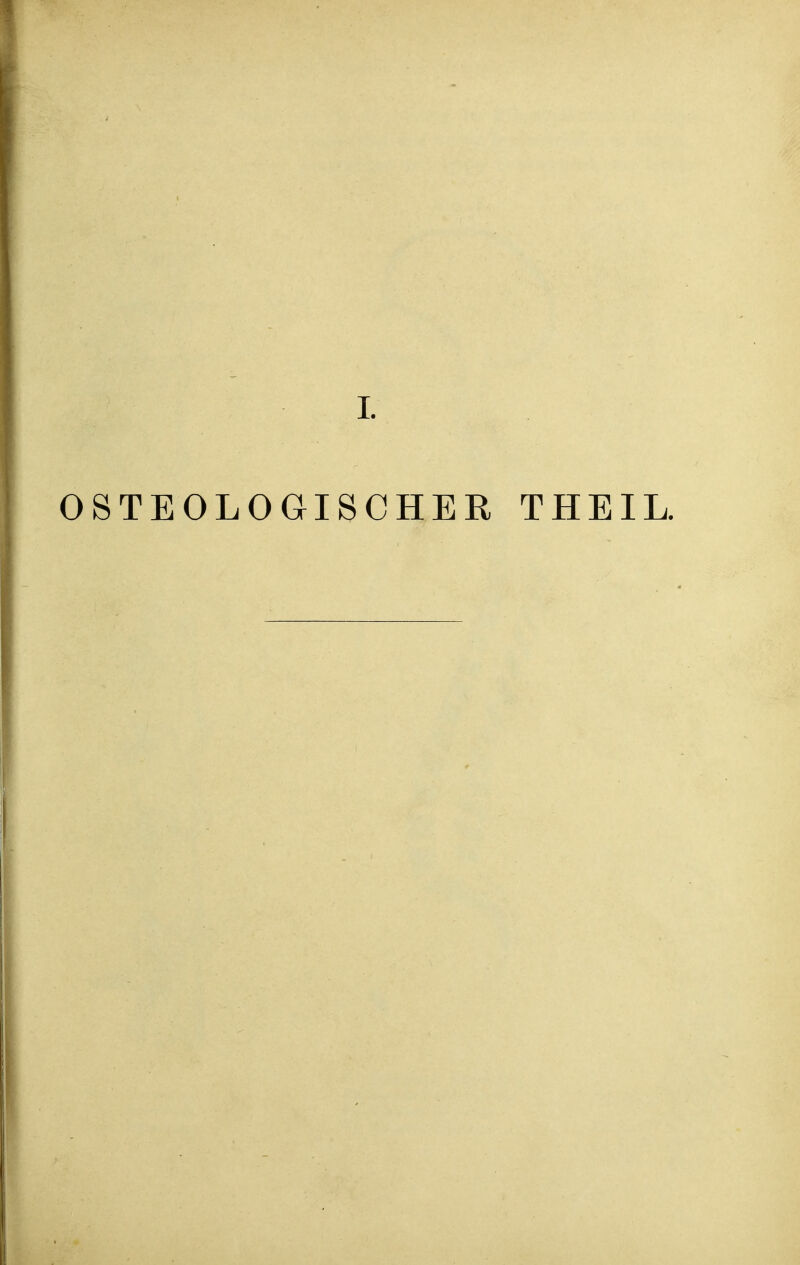 L OSTEOLOGISCHER THEIL.