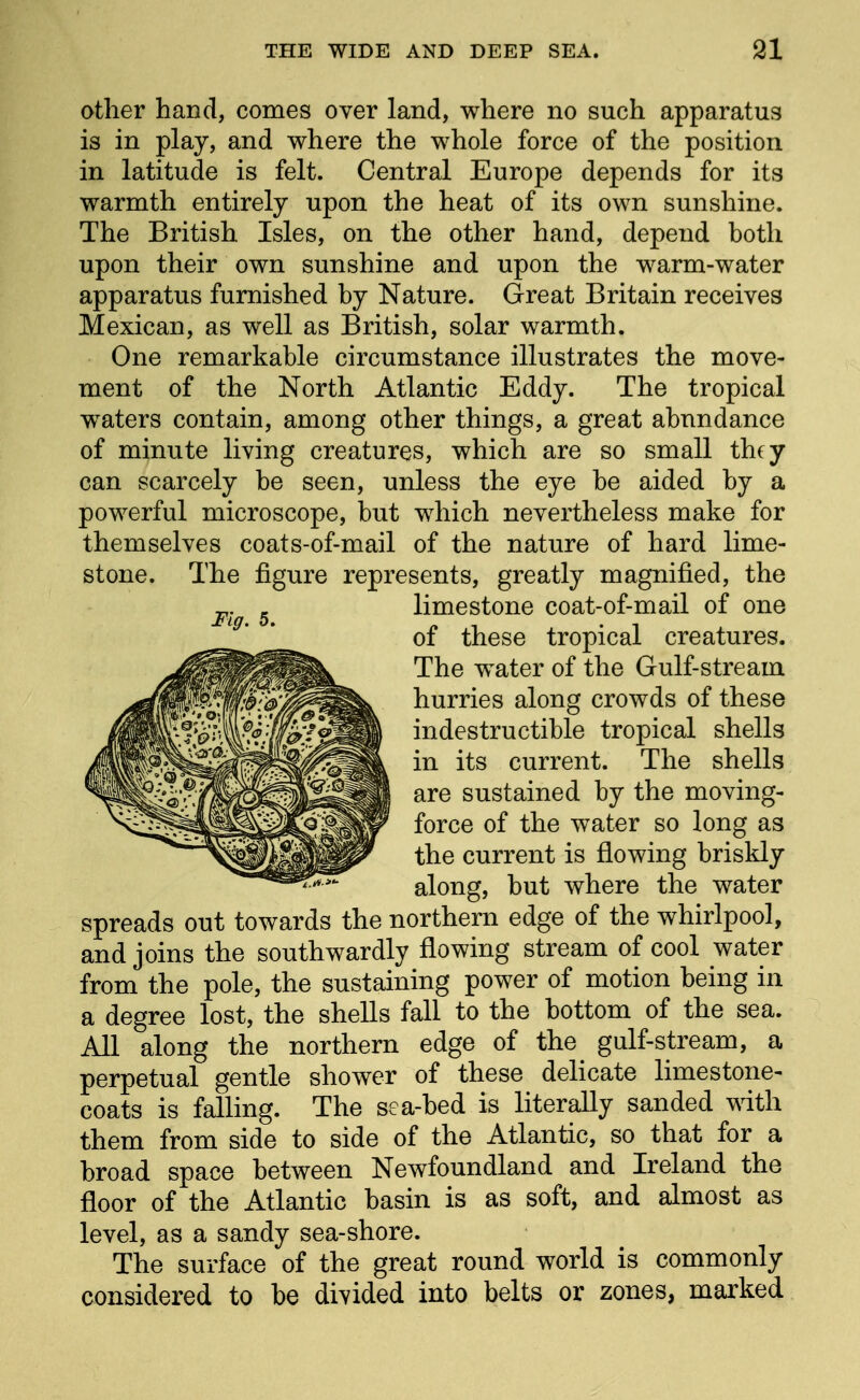 other hand, comes over land, where no such apparatus is in play, and where the whole force of the position in latitude is felt. Central Europe depends for its warmth entirely upon the heat of its own sunshine. The British Isles, on the other hand, depend both upon their own sunshine and upon the warm-water apparatus furnished by Nature. Great Britain receives Mexican, as well as British, solar warmth. One remarkable circumstance illustrates the move- ment of the North Atlantic Eddy. The tropical waters contain, among other things, a great abundance of minute living creatures, which are so small they can scarcely be seen, unless the eye be aided by a powerful microscope, but which nevertheless make for themselves coats-of-mail of the nature of hard lime- stone. The figure represents, greatly magnified, the limestone coat-of-mail of one of these tropical creatures. The water of the Gulf-stream hurries along crowds of these indestructible tropical shells in its current. The shells are sustained by the moving- force of the water so long as the current is flowing briskly along, but where the water spreads out towards the northern edge of the whirlpool, and joins the southwardly flowing stream of cool water from the pole, the sustaining power of motion being in a degree lost, the shells fall to the bottom of the sea. All along the northern edge of the gulf-stream, a perpetual gentle shower of these delicate limestone- coats is falling. The sea-bed is literally sanded with them from side to side of the Atlantic, so that for a broad space between Newfoundland and Ireland the floor of the Atlantic basin is as soft, and almost as level, as a sandy sea-shore. The surface of the great round world is commonly considered to be divided into belts or zones, marked