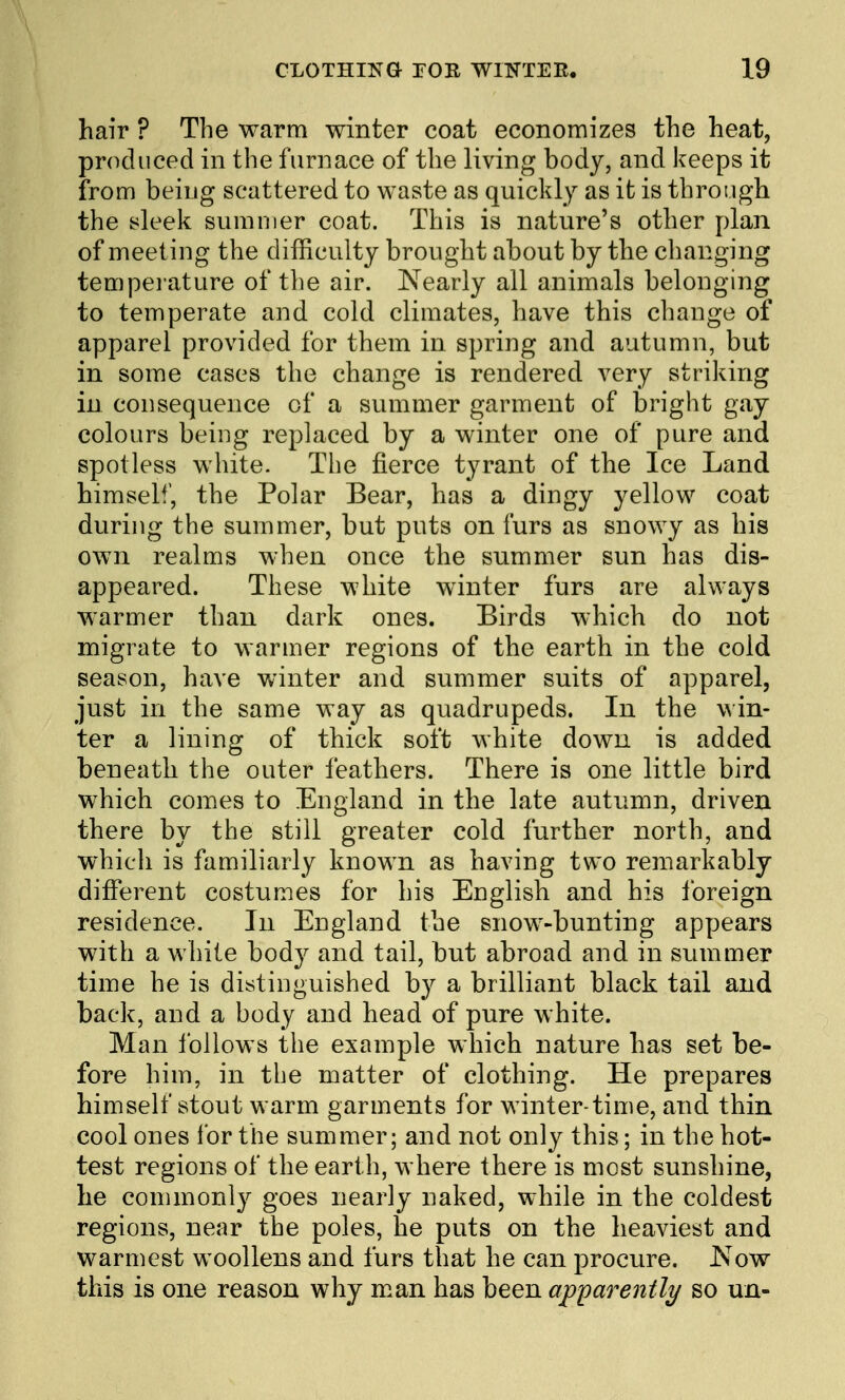 hair ? The warm winter coat economizes the heat, produced in the furnace of the living body, and keeps it from being scattered to waste as quickly as it is through the sleek summer coat. This is nature's other plan of meeting the difficulty brought about by the changing tempei'ature of tlie air. Nearly all animals belonging to temperate and cold climates, have this change of apparel provided for them in spring and autumn, but in some cases the change is rendered very striking in consequence of a summer garment of bright gay colours being replaced by a winter one of pure and spotless white. The fierce tyrant of the Ice Land himself, the Polar Bear, has a dingy yellow coat during the summer, but puts on furs as snowy as his own realms when once the summer sun has dis- appeared. These white winter furs are always warmer than dark ones. Birds which do not migrate to warmer regions of the earth in the cold season, have winter and summer suits of apparel, just in the same way as quadrupeds. In the win- ter a lining of thick soft white down is added beneath the outer feathers. There is one little bird which comes to England in the late autumn, driven there by the still greater cold further north, and which is familiarly known as having two remarkably different costumes for his English and his Ibreign residence. In England the snow-bunting appears with a white body and tail, but abroad and in siunmer time he is distinguished by a brilliant black tail and back, and a body and head of pure white. Man Ibllows the example which nature has set be- fore him, in the matter of clothing. He prepares himself stout warm garments for winter-time, and thin cool ones lor the summer; and not only this; in the hot- test regions of the earth, where there is most sunshine, he commonly goes nearly naked, while in the coldest regions, near the poles, he puts on the heaviest and warmest woollens and furs that he can procure, ^ow this is one reason why m.an has been ap^jarently so un-