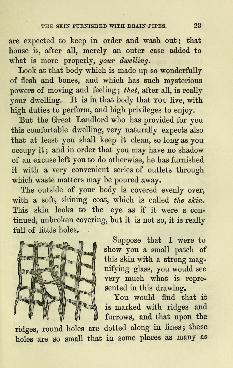 are expected to keep in order and wash out; that house is, after all, merely an outer case added to what is more properly, your dwelling. Look at that body which is made up so wonderfully of flesh and bones, and which has such mysterious powers of moving and feeling; that, after all, is really your dwelling. It is in that body that you live, with high duties to perform, and high privileges to enjoy. But the Great Landlord who has provided for you this comfortable dwelling, very naturally expects also that at least you shall keep it clean, so long as you occupy it; and in order that you may have no shado\y of an excuse left you to do otherwise, he has furnished it with a very convenient series of outlets through which waste matters may be poured away. The outside of your body is covered evenly over, with a soft, shining coat, which is called the skin. This skin looks to the eye as if it were a con- tinued, unbroken covering, but it is not so, it is really full of little holes. Suppose that I were to show you a small patch of this skin with a strong mag- nifying glass, you would see very much what is repre- sented in this drawing. Tou would find that it is marked with ridges and furrows, and that upon the ridges, round holes are dotted along in lines; these holes are so small that in some places as many as