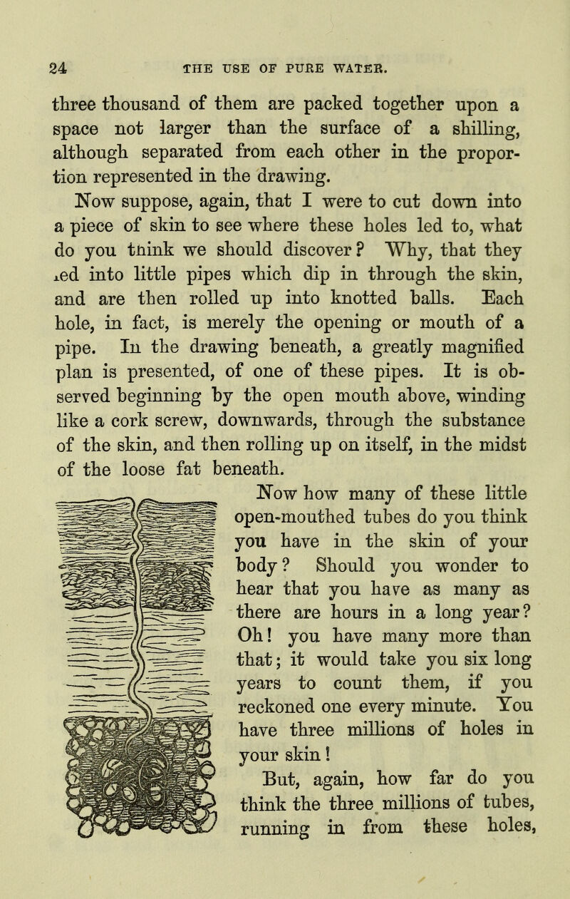 three thousand of them are packed together upon a space not larger than the surface of a shilling, although separated from each other in the propor- tion represented in the drawing. Now suppose, again, that I were to cut down into a piece of skin to see where these holes led to, what do you think we should discover? Why, that they xed into little pipes which dip in through the skin, and are then rolled up into knotted balls. Each hole, in fact, is merely the opening or mouth of a pipe. In the drawing beneath, a greatly magnified plan is presented, of one of these pipes. It is ob- served beginning by the open mouth above, winding like a cork screw, downwards, through the substance of the skin, and then rolling up on itself, in the midst of the loose fat beneath. Now how many of these little open-mouthed tubes do you think you have in the skin of your body? Should you wonder to hear that you have as many as there are hours in a long year? Oh! you have many more than that; it would take you six long years to count them, if you reckoned one every minute. You have three millions of holes in your skin 1 But, again, how far do you think the three millions of tubes, running in from these holes,