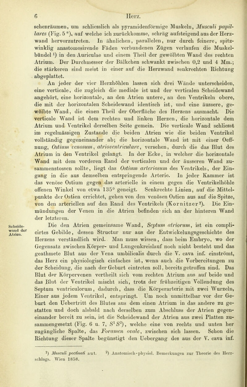 schenräumen, um schliesslich als pyramidenförmige Muskeln, Musculi papil- läres (Fig. 5 *), auf welche ich zurückkomme, schräg aufsteigend aus der Herz- wand hervorzutreten. In ähnlichen, parallelen, nur durch feinere, spitz- winklig anastomosirende Fäden verbundenen Zügen verlaufen die Muskel- bündel ^) in den Auriculae und einem Theil der gewölbten Wand des rechten Atrium. Der Durchmesser der Bälkchen schwankt zwischen 0,2 und 4 Mm.; die stärkeren sind raeist in einer auf die Herzwand senkrechten Richtung abgeplattet. An jeder der vier Herzhöhlen lassen sich drei Wände unterscheiden, eine verticale, die zugleich die mediale ist und der verticalen Scheidewand angehört, eine horizontale, an den Atrien untere, an den Ventrikeln obere, die mit der horizontalen Scheidewand identisch ist, und eine äussere, ge- wölbte Wand, die einen Theil der Oberfläche des Herzens ausmacht. Die verticale Wand ist dem rechten und linken Herzen, die horizontale dem Atrium und Ventrikel derselben Seite gemein. Die verticale Wand schliesst im regelmässigen Zustande die beiden Atrien wie die beiden Ventrikel vollständig gegeneinander ab; die horizontale Wand ist mit einer Oeff- nung, Ostium venosum^ atrioventriculare, versehen, durch die das Blut des Atrium in den Ventrikel gelangt. In der Ecke, in welcher die horizontale Wand mit dem vorderen Eand der verticalen und der äusseren Wand zu- sammenstossen sollte, liegt das Ostium arteriosum des Ventrikels, der Ein- gang in die aus demselben entspringende Arterie. In jeder Kammer ist das venöse Ostium gegen das arterielle in einem gegen die Ventrikelhöhle offenen Winkel von etwa 135^ geneigt. Senkrechte Linien, auf die Mittel- punkte der Ostien errichtet, gehen von den venösen Ostien aus auf die Spitze, von den arteriellen auf den Rand des Ventrikels (Kornitzer2). Die Ein- mündungen der Venen in die Atrien befinden • sich an der hinteren Wand der letzteren. Scheide- Die den Atrien gemeinsame Wand, Septum atriorum, ist ein compli- Atrien!^^^ cirtes Gebilde, dessen Structur nur aus der Entwickelungsgeschichte des Herzens verständlich wird. Man muss wissen, dass beim Embryo, wo der Gegensatz zwischen Körper- und Lungenkreislauf noch nicht besteht und das geathmete Blut aus der Vena umbilicalis durch die V. cava inf. einströmt, das Herz ein physiologisch einfaches ist, wenn auch die Vorbereitungen zu der Scheidung, die nach der Geburt eintreten soll, bereits getroffen sind. Das Blut der Körpervenen vertheilt sich vom rechten Atrium aus auf beide und das Blut der Ventrikel mischt sich, trotz der frühzeitigen Vollendung des Septum ventriculorum, dadurch, dass die Körperarterie mit zwei Wurzeln, Einer aus jedem Ventrikel, entspringt. Um noch unmittelbar vor der Ge- burt den Uebertritt des Blutes aus dem einen Atrium in das andere zu ge- statten und doch alsbald nach derselben zum Abschluss der Atrien gegen- einander bereit zu sein, ist die Scheidewand der Atrien aus zwei Platten zu- sammengesetzt (Fig. 6 u. 7, S^), welche eine von rechts und unten her zugängliche Spalte, das Foramen ovale, zwischen sich lassen. Schon die Richtung dieser Spalte begünstigt den Uebergang des aus der V. cava inf. 1) Musculi pectinati aut. ^) Anatomisch-physiol. Bemei'kungen zur Theorie des Herz- schlags. Wien 1858.