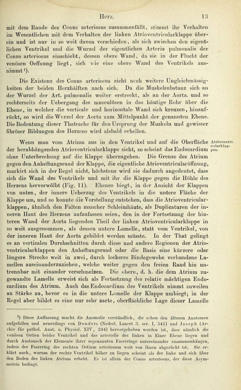 mit dem Rande des Conus arteriosus zusammenfällt, stimmt ihr Verhalten im Wesentlichen mit dem Verhalten der linken Atrioventricularklappe über- ein und ist nur in so weit davon verschieden, als sich zwischen den eigent- lichen Ventrikel und die Wurzel der eigentlichen Arteria pulmonalis der Conus arteriosus einschiebt, dessen obere Wand, da sie in der Flucht der venösen Oeffnung liegt, sich wie eine obere Wand des Ventrikels aus- nimmt 1). Die Existenz des Conus arterio?us zieht noch weitere Ungleichmässig- keiten der beiden Herzhälften nach sich. Da die Muskelsubstanz sich an der Wurzel der Art. pulmonalis weiter erstreckt, als an der Aorta, und so rechterseits der üebergang des musculösen in das häutige Rohr über die Ebene, in welcher die verticale und horizontale Wand sich kreuzen, liinauf- rückt, so wird die Wurzel der Aorta zum Mittelpunkt der genannten Ebene. Die Bedeutung dieser Thatsache für den Ursprung der Muskeln und gewisser fibröser Bildungen des Herzens wird alsbald erhellen. Wenn man vom Atrium aus in den Ventrikel und auf die Oberfläche Atrioventri- der herabhängenden Atrioventricularklappe sieht, so scheint das Endocardium pen. ohne Unterbrechung auf die Klappe überzugehen. Die Grenze des Atrium gegen den Anheftungsrand der Klappe, die eigentliche Atrioventricularöffnung, markirt sich in der Regel nicht, höchstens wird sie dadurch angedeutet, dass sich die Wand des Ventrikels und mit ihr die Klappe gegen die Höhle des Herzens hervorwölbt (Fig. 11). Ebenso biegt, in der Ansicht der Klappen von unten, der innere Ueberzug des Ventrikels in die untere Fläche der Klappe um, und so konnte die Vorstellung entstehen, dass die Atrioventricular- klappen, ähnlich den Falten mancher Schleimhäute, als Duplicaturen der in- neren Haut des Herzens aufzufassen seien, den in der Fortsetzung der hin- teren Wand der Aorta liegenden Theil der linken Atrioventricularklappe in so weit ausgenommen, als dessen untere Lamelle, statt vom Ventrikel, von der inneren Haut der Aorta gebildet werden müsste. In der That gelingt es an verticalen Durchschnitten durch diese und andere Regionen der Atrio- ventricularklappen den Anheftungsrand oder die Basis eine kürzere oder längere Strecke weit in zwei, durch lockeres Bindegewebe verbundene La- mellen auseinanderzuziehen, welche weiter gegen den freien Rand hin un- trennbar mit einander verschmelzen. Die obere, d. h. die dem Atrium zu- gewandte Lamelle erweist sich als Fortsetzung des relativ mächtigen Endo- cardium des Atrium. Auch das Endocardium des Ventrikels nimmt zuweilen an Stärke zu, bevor es in die untere Lamelle der Klappe umbiegt; in der Regel aber bildet es eine nur sehr zarte, oberflächliche Lage dieser Lamelle ^) Diese Auffassung macht die Anomalie verständlich, die schon den älteren Anatomen aufgefallen und neuerdings von Donders (Nederl. Lancet 3. ser. I, 541) und Joseph (Ar- chiv für pathol. Anat. u. Physiol. XIV, 244) hervorgehoben worden ist, dass nämlich die venösen Ostien beider Ventrikel und das arterielle des linken in Einer Ebene liegen und durch Austausch der Elemente ihrer sogenannten Faserringe untereinander zusammenhängen, indess der Faserring des rechten Ostium arteriosum weit von ihnen abgerückt ist. Sie er- klärt auch, warum der rechte Ventrikel höher zu liegen scheint als der linke und sich über den Boden des linken Atrium erhebt. Es ist allein der Conus arteriosus, der diesfe Asym- metrie bedingt.