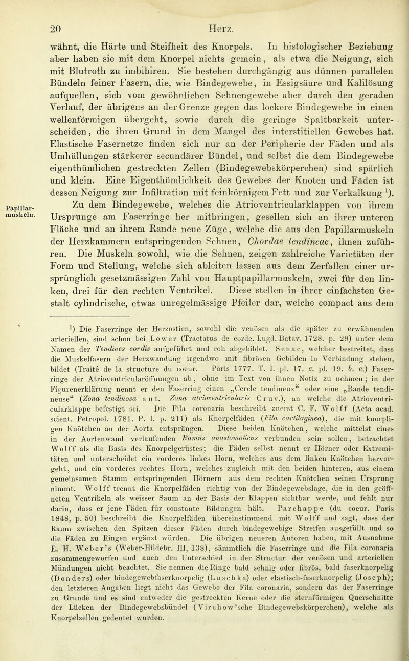 wähnt, die Härte und Steifheit des Knorpels. In histologischer Beziehung aber haben sie mit dem Knorpel nichts gemein, als etwa die Neigung, sich mit Blutroth zu imbibiren. Sie bestehen durchgängig aus dünnen parallelen Bündeln feiner Fasern, die, wie Bindegewebe, in Essigsäure und Kalilösung aufquellen, sich vom gewöhnlichen Sehnengewebe aber durch den geraden Verlauf, der übrigens an der Grenze gegen das lockere Bindegewebe in einen wellenförmigen übergeht, sowie durch die geringe Spaltbarkeit unter- scheiden , die ihren Grund in dem Mangel des interstitiellen Gewebes hat. Elastische Fasernetze finden sich nur an der Peripherie der Fäden und als Umhüllungen stärkerer secundärer Bündel, und selbst die dem Bindegewebe eigenthümlichen gestreckten Zellen (Bindegewebskörperchen) sind spärlich und klein. Eine Eigenthümlichkeit des Gewebes der Knoten und Fäden ist dessen Neigung zur Infiltration mit feinkörnigem Fett und zur Verkalkung Zu dem Bindegewebe, welches die Atrioventricularklappen von ihrem Ursprünge am Faserringe her mitbringen, gesellen sich an ihrer unteren Fläche und an ihrem Rande neue Züge, welche die aus den Papillarmuskeln der Herzkammern entspringenden Sehnen, Chordae tendineae, ihnen zufüh- ren. Die Muskeln sowohl, wie die Sehnen, zeigen zahlreiche Varietäten der Form und Stellung, welche sich ableiten lassen aus dem Zerfallen einer ur- sprünglich gesetzmässigen Zahl von Hauptpapillarmuskeln, zwei für den lin- ken, drei für den rechten Ventrikel. Diese stellen in ihrer einfachsten Ge- stalt cylindrische, etwas unregelmässige Pfeiler dar, welche compact aus dem ^) Die Faserringe der Herzostien, sowohl die venösen als die später zu erwähnenden arteriellen, sind schon bei .Lower (Tractatus de curde. Lugd. Batav. 1728. p. 29) unter dem Namen der Tendines cordis aufgeführt und roh abgebildet. Senac, welcher bestreitet, dass die Muskelfasern der Herzwandung irgendwo mit fibrösen Gebilden in Verbindung stehen, bildet (Traite de la structure du coeur. Paris 1777, T. I. pl. 17. c. pl. 19. b. c.) Faser- ringe der Atrioventricularöffnungen ab , ohne im Text von ihnen Notiz zu nehmen ; in der Figurenerklärung nennt er den Faseri-ing einen „Cercle tendineux oder eine „Bande tendi- neuse {Zona tendinosa a u t. Zona atrioventricularis Cruv.), an welche die Atrioventri- cularklappe befestigt sei. Die Fila coronaria beschreibt zuerst C. F. Wolff (Acta acad. scient. Petropol. 1781. P. I. p. 211) als Knorpelfäden {Fila cartilaginea) ^ die mit knorpli- gen Knötchen an der Aorta entsprängen. Diese beiden Knötchen, welche mittelst eines in der Aortenwand verlaufenden Ramus anastomoticus verbunden sein sollen, betrachtet Wolff als die Basis des Knorpelgerüstes; die Fäden selbst nennt er Hörner oder Extremi- täten und unterscheidet ein vorderes linkes Horn, welches aus dem linken Knötchen hervor- geht, und ein vorderes rechtes Horn, welches zugleich mit den beiden hinteren, aus einem gemeinsamen Stamm entspringenden Hörnern aus dem rechten Knötchen seinen Ursprung nimmt. Wolff trennt die Knorpelfäden richtig von der Bindegewebslage, die in den geöff- neten Ventrikeln als weisser Saum an der Basis der Klappen sichtbar werde, vmd fehlt nur darin, dass er jene Fäden für constante Bildungen hält. Parchappe (du coeur. Paris 1848, p. 50) beschreibt die Knorpelfäden übereinstimmend mit Wolff und sagt, dass der Raum zwischen den Spitzen dieser Fäden durch bindegewebige Streifen ausgefüllt und sa die Fäden zu Ringen ergänzt würden. Die übrigen neueren Autoren haben, mit Ausnahme E. H. Web er's (Weber-Hildebr. HI, 138), sämmtlich die Faserringe und die Fila coronaria zusammengeworfen und auch den Unterschied in der Structur der venösen und arteriellen Mündungen nicht beachtet. Sie nennen die Ringe bald sehnig oder fibrös, bald faserknorpelig (Donders) oder bindegewebfaserknorpelig (Luschka) oder elastisch-faserknorpelig (Joseph); den letzteren Angaben liegt nicht das Gewebe der Fila coronaria, sondern das der Faserringe zu Grunde und es sind entweder die gestreckten Kerne oder die sternförmigen Querschnitte der Lücken der Bindegewebsbündel (Virchow'sche Bindegewebskörperchen), welche als Knorpelzellen gedeutet wurden.