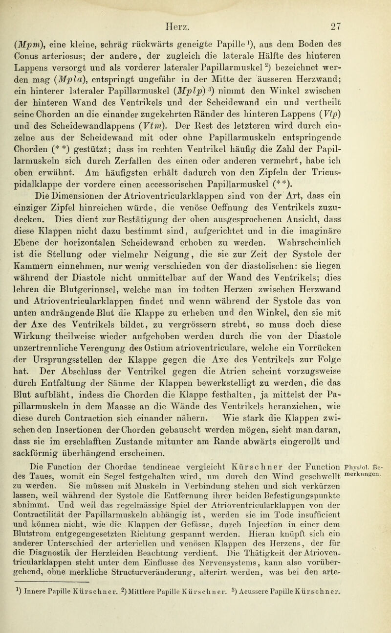 (Mpm), eine kleine, schräg rückwärts geneigte Papille^), aus dem Boden des Conus arteriosus; der andere, der zugleich die laterale Hälfte des hinteren Lappens versorgt und als vorderer lateraler Papillarmuskel ^) bezeichnet wer- den mag (Mpla), entspringt ungefähr in der Mitte der äusseren Herzwand; ein hinterer lateraler Papillarmuskel {Mplp) ^) nimmt den Winkel zwischen der hinteren Wand des Ventrikels und der Scheidewand ein und vertheilt seine Chorden an die einander zugekehrten Ränder des hinteren Lappens {Vtp) und des Scheidewandlappens {Vtvn). Der Rest des letzteren wird durch ein- zelne aus der Scheidewand mit oder ohne Papillarmuskeln entspringende Chorden (* *) gestützt; dass im rechten Ventrikel häufig die Zahl der Papil- larmuskeln sich durch Zerfallen des einen oder anderen vermehrt, habe ich oben erwähnt. Am häufigsten erhält dadurch von den Zipfeln der Tricus- pidalklappe der vordere einen accessorischen Papillarmuskel (**). Die Dimensionen der Atrioventricularklappen sind von der Art, dass ein einziger Zipfel hinreichen würde, die venöse Oeffnung des Ventrikels zuzu- decken. Dies dient zur Bestätigung der oben ausgesprochenen Ansicht, dass diese Klappen nicht dazu bestimmt sind, aufgerichtet und in die imaginäre Ebene der horizontalen Scheidewand erhoben zu werden. Wahrscheinlich ist die Stellung oder vielmehr Neigung, die sie zur Zeit der Systole der Kammern einnehmen, nur wenig verschieden von der diastolischen: sie liegen während der Diastole nicht unmittelbar auf der Wand des Ventrikels; dies lehren die Blutgerinnsel, welche man im todten Herzen zwischen Herzwand und Atrioventricularklappen findet und wenn während der Systole das von unten andrängende Blut die Klappe zu erheben und den Winkel, den sie mit der Axe des Ventrikels bildet, zu vergrössern strebt, so muss doch diese Wirkung theilweise wieder aufgehoben werden durch die von der Diastole unzertrennliche Verengung des Ostium atrioventriculare, welche ein Vorrücken der Ursprungsstellen der Klappe gegen die Axe des Ventrikels zur Folge hat. Der Abschluss der Ventrikel gegen die Atrien scheint vorzugsweise durch Entfaltung der Säume der Klappen bewerkstelligt zu werden, die das Blut aufbläht, indess die Chorden die Klappe festhalten, ja mittelst der Pa- pillarmuskeln in dem Maasse an die Wände des Ventrikels heranziehen, wie diese durch Contraction sich einander nähern. Wie stark die Klappen zwi- schen den Insertionen der Chorden gebauscht werden mögen, sieht man daran, dass sie im erschlafften Zustande mitunter am Rande abwärts eingerollt und sackförmig überhängend erscheinen. Die Function der Chordae tendineae vergleicht Kürschner der Function Physioi. I5e- des Taues, womit ein Segel festgehalten wird, um durch den Wind geschwellt ™erkungeii. zu werden. Sie müssen mit Muskeln in Verbindung stehen und sich verkürzen lassen, weil während der Systole die Entfernung ihrer beiden Befestigungspunkte abnimmt. Und weil das regelmässige Spiel der Atrioventricularklappen von der Contractilität der Papillarmuskeln abhängig ist, werden sie im Tode insufficient und können nicht, wie die Klappen der Gefässe, durch Injection in einer dem Blutstrom entgegengesetzten Richtung gespannt werden. Hieran knüpft sich ein anderer Unterschied der arteriellen und venösen Klappen des Herzens, der für die Diagnostik der Herzleiden Beachtung verdient. Die Thätigkeit der Atrioven- tricularklappen steht unter dem Einflüsse des Nervensystems, kann also vorüber- gehend, ohne merkliche Structurveränderung, alterirt werden, was bei den arte- ^) Innere Papille Kürschner. ^) Mittlere Papille Kürschner. ^) Aeussere Papille K ü r s c h n e r.