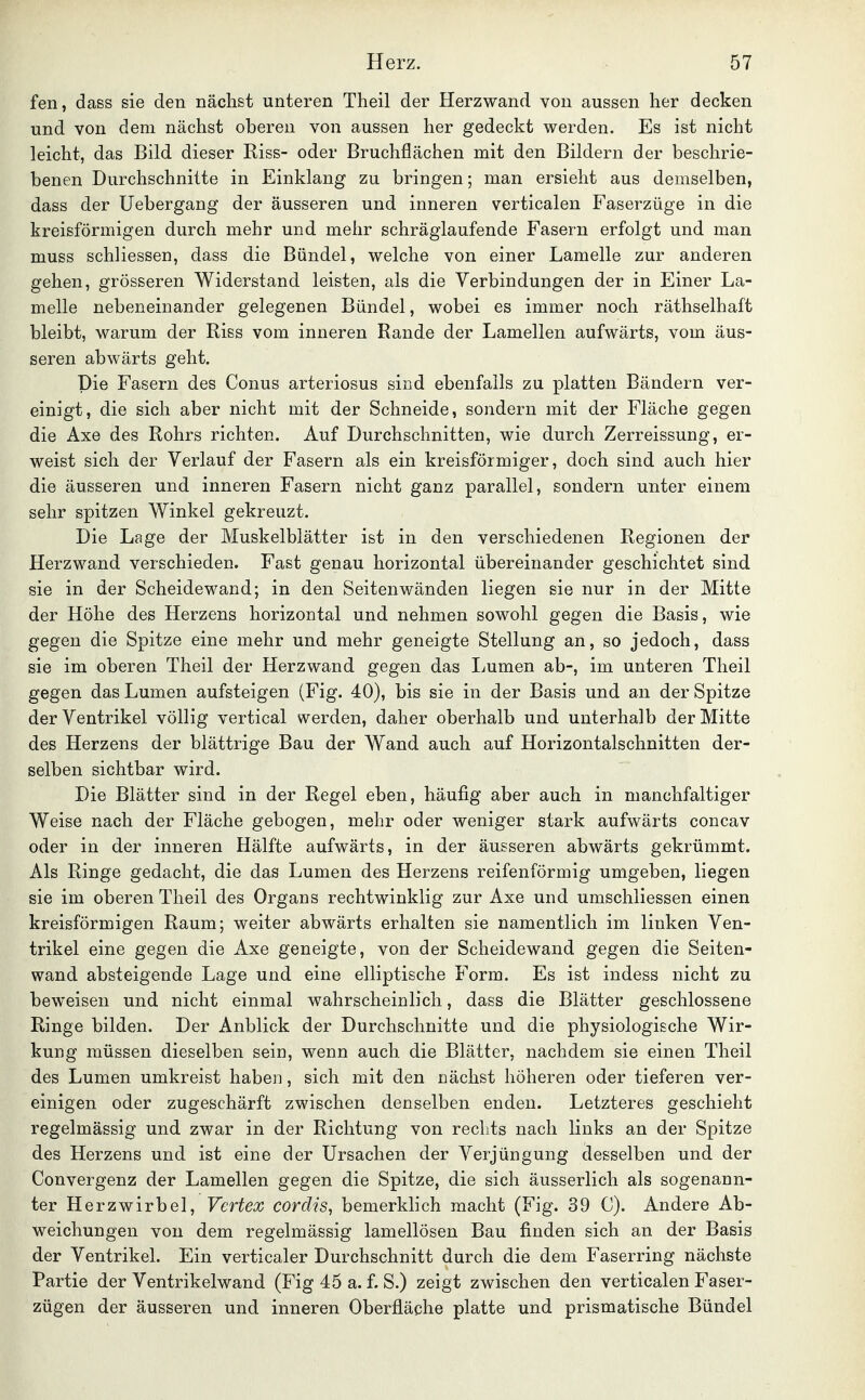 fen, dass sie den nächst unteren Theil der Herzwand von aussen her decken und von dem nächst oberen von aussen her gedeckt werden. Es ist nicht leicht, das Bild dieser Riss- oder Bruchflächen mit den Bildern der beschrie- benen Durchschnitte in Einklang zu bringen; man ersieht aus demselben, dass der Uebergang der äusseren und inneren verticalen Faserzüge in die kreisförmigen durch mehr und mehr schräglaufende Fasern erfolgt und man muss schliessen, dass die Bündel, welche von einer Lamelle zur anderen gehen, grösseren Widerstand leisten, als die Verbindungen der in Einer La- melle nebeneinander gelegenen Bündel, wobei es immer noch räthselhaft bleibt, warum der Riss vom inneren Rande der Lamellen aufwärts, vom äus- seren abwärts geht. Die Fasern des Conus arteriosus sind ebenfalls zu platten Bändern ver- einigt, die sich aber nicht mit der Schneide, sondern mit der Fläche gegen die Axe des Rohrs richten. Auf Durchschnitten, wie durch Zerreissung, er- weist sich der Verlauf der Fasern als ein kreisförmiger, doch sind auch hier die äusseren und inneren Fasern nicht ganz parallel, sondern unter einem sehr spitzen Winkel gekreuzt. Die Lage der Muskelblätter ist in den verschiedenen Regionen der Herzwand verschieden. Fast genau horizontal übereinander geschichtet sind sie in der Scheidewand; in den Seitenwänden liegen sie nur in der Mitte der Höhe des Herzens horizontal und nehmen sowohl gegen die Basis, wie gegen die Spitze eine mehr und mehr geneigte Stellung an, so jedoch, dass sie im oberen Theil der Herzwand gegen das Lumen ab-, im unteren Theil gegen das Lumen aufsteigen (Fig. 40), bis sie in der Basis und an der Spitze der Ventrikel völlig vertical werden, daher oberhalb und unterhalb der Mitte des Herzens der blättrige Bau der Wand auch auf Horizontalschnitten der- selben sichtbar wird. Die Blätter sind in der Regel eben, häufig aber auch in manchfaltiger Weise nach der Fläche gebogen, mehr oder weniger stark aufwärts concav oder in der inneren Hälfte aufwärts, in der äusseren abwärts gekrümmt. Als Ringe gedacht, die das Lumen des Herzens reifenförmig umgeben, liegen sie im oberen Theil des Organs rechtwinklig zur Axe und umschliessen einen kreisförmigen Raum; weiter abwärts erhalten sie namentlich im linken Ven- trikel eine gegen die Axe geneigte, von der Scheidewand gegen die Seiten- wand absteigende Lage und eine elliptische Form. Es ist indess nicht zu beweisen und nicht einmal wahrscheinlich, dass die Blätter geschlossene Ringe bilden. Der Anblick der Durchschnitte und die physiologische Wir- kung müssen dieselben sein, wenn auch, die Blätter, nachdem sie einen Theil des Lumen umkreist haben, sich mit den nächst höheren oder tieferen ver- einigen oder zugeschärft zwischen denselben enden. Letzteres geschieht regelmässig und zwar in der Richtung von rechts nach links an der Spitze des Herzens und ist eine der Ursachen der Verjüngung desselben und der Convergenz der Lamellen gegen die Spitze, die sich äusserlich als sogenann- ter Herzwirbel, Vertex cordis, bemerklich macht (Fig. 39 C). Andere Ab- weichungen von dem regelmässig lamellösen Bau finden sich an der Basis der Ventrikel. Ein verticaler Durchschnitt durch die dem Faserring nächste Partie der Ventrikelwand (Fig 45 a. f. S.) zeigt zwischen den verticalen Faser- zügen der äusseren und inneren Oberfläche platte und prismatische Bündel