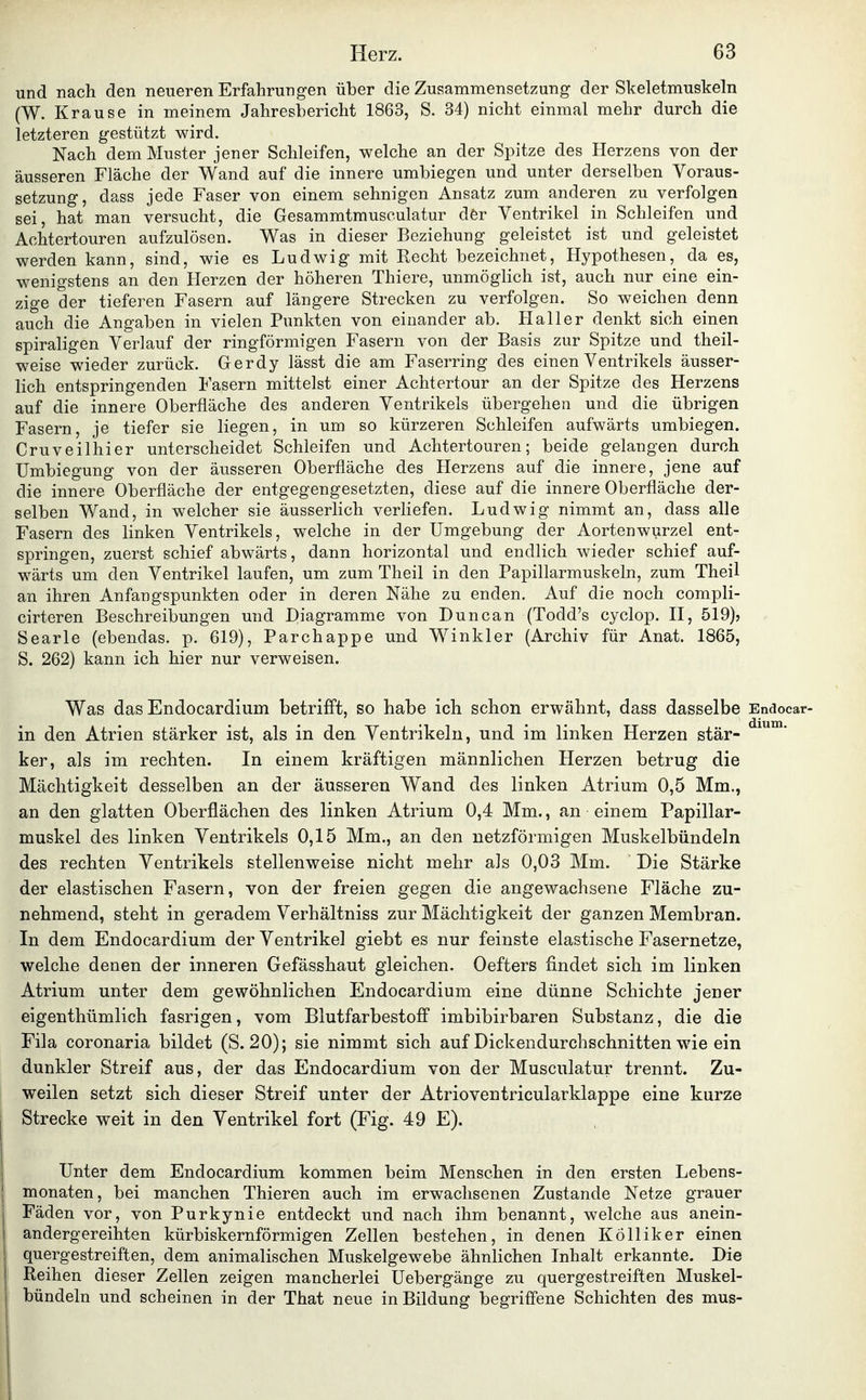und nach den neueren Erfahrungen über die Zusammensetzung der Skeletmuskeln (W. Krause in meinem Jahresbericht 1863, S. 34) nicht einmal mehr durch die letzteren gestützt wird. Nach dem Muster jener Schleifen, welche an der Spitze des Herzens von der äusseren Fläche der Wand auf die innere umbiegen und unter derselben Voraus- setzung, dass jede Faser von einem sehnigen Ansatz zum anderen zu verfolgen sei, hat man versucht, die Gesammtmusculatur dfer Ventrikel in Schleifen und Achtertouren aufzulösen. Was in dieser Beziehung geleistet ist und geleistet werden kann, sind, wie es Ludwig mit Recht bezeichnet, Hypothesen, da es, wenigstens an den Herzen der höheren Thiere, unmöglich ist, auch nur eine ein- zige der tieferen Fasern auf längere Strecken zu verfolgen. So weichen denn auch die Angaben in vielen Punkten von einander ab. Hall er denkt sich einen spiraligen Verlauf der ringförmigen Fasern von der Basis zur Spitze und theil- weise wieder zurück. Gerdy lässt die am Faserring des einen Ventrikels äusser- lich entspringenden Fasern mittelst einer Achtertour an der Spitze des Herzens auf die innere Oberfläche des anderen Ventrikels übergehen und die übrigen Fasern, je tiefer sie liegen, in um so kürzeren Schleifen aufwärts umbiegen. Cruveilhier unterscheidet Schleifen und Achtertouren; beide gelangen durch Umbiegung von der äusseren Oberfläche des Herzens auf die innere, jene auf die innere Oberfläche der entgegengesetzten, diese auf die innere Oberfläche der- selben Wand, in welcher sie äusserlich verliefen. Ludwig nimmt an, dass alle Fasern des linken Ventrikels, welche in der Umgebung der Aortenwurzel ent- springen, zuerst schief abwärts, dann horizontal und endlich wieder schief auf- wärts um den Ventrikel laufen, um zum Theil in den Papillarmuskeln, zum Theü an ihren Anfangspunkten oder in deren Nähe zu enden. Auf die noch compli- cirteren Beschreibungen und Diagramme von Duncan (Todd's cyclop. H, 519)5 Searle (ebendas. p. 619), Parchappe und Winkler (Archiv für Anat. 1865, S. 262) kann ich hier nur verweisen. Was das Endocardium betrifft, so habe ich schon erwähnt, dass dasselbe Endocar- in den Atrien stärker ist, als in den Ventrikeln, und im linken Herzen stär- ker, als im rechten. In einem kräftigen männlichen Herzen betrug die Mächtigkeit desselben an der äusseren Wand des linken Atrium 0,5 Mm., an den glatten Oberflächen des linken Atrium 0,4 Mm., an einem Papillar- muskel des linken Ventrikels 0,15 Mm., an den netzförmigen Muskelbündeln des rechten Ventrikels stellenweise nicht mehr als 0,03 Mm. Die Stärke der elastischen Fasern, von der freien gegen die angewachsene Fläche zu- nehmend, steht in geradem Verhältniss zur Mächtigkeit der ganzen Membran. In dem Endocardium der Ventrikel giebt es nur feinste elastische Fasernetze, welche denen der inneren Gefässhaut gleichen. Oefters findet sich im linken Atrium unter dem gewöhnlichen Endocardium eine dünne Schichte jener eigenthümlich fasrigen, vom Blutfarbestoff imbibirbaren Substanz, die die Fila coronaria bildet (S. 20); sie nimmt sich auf Dickendurchschnitten wie ein dunkler Streif aus, der das Endocardium von der Musculatur trennt. Zu- weilen setzt sich dieser Streif unter der Atrioventricularklappe eine kurze Strecke weit in den Ventrikel fort (Fig. 49 E). Unter dem Endocardium kommen beim Menschen in den ersten Lebens- monaten, bei manchen Thieren auch im erwachsenen Zustande Netze grauer Fäden vor, von Purkynie entdeckt und nach ihm benannt, welche aus anein- andergereihten kürbiskernförmigen Zellen bestehen, in denen Kölliker einen quergestreiften, dem animalischen Muskelgewebe ähnlichen Inhalt erkannte. Die Reihen dieser Zellen zeigen mancherlei Uebergänge zu quergestreiften Muskel- bündeln und scheinen in der That neue in Bildung begriffene Schichten des mus-