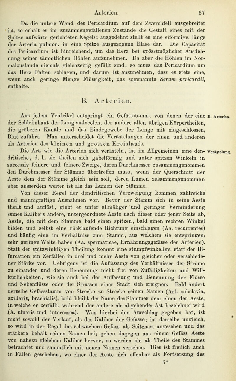Da die untere Wand des Pericardium auf dem Zwerchfell ausgebreitet ist, so erhält es im zusammengefallenen Zustande die Gestalt eines mit der Spitze aufwärts gerichteten Kegels; ausgedehnt stellt es eine eiförmige, längs der Arteria pulmon. in eine Spitze ausgezogene Blase dar. Die Capacität des Pericardium ist hinreichend, um das Herz bei grösstmöglicher Ausdeh- nung seiner sämmtlichen Höhlen aufzunehmen. Da aber die Höhlen im Nor- malzustande niemals gleichzeitig gefüllt sind, so muss das Pericardium um das Herz Falten schlagen, und darum ist anzunehmen, dass es stets eine, wenn auch geringe Menge Flüssigkeit, das sogenannte Serum pericardiii enthalte. ß. Arterien. Aus jedem Ventrikel entspringt ein Gefässstamm, von denen der eine b, Arterien, der Schleimhaut der Lungenalveolen, der andere allen übrigen Körpertheilen, die gröberen Kanäle und das Bindegewebe der Lunge mit eingeschlossen, Blut zuführt. Man unterscheidet die Verästelungen der einen und anderen als Arterien des kleinen und grossen Kreislaufs. Die Art, wie die Arterien sich verästeln, ist im Allgemeinen eine den- Verästelung, dritische, d. h. sie theilen sich gabelförmig und unter spitzen Winkeln in successiv feinere und feinere Zweige, deren Durchmesser zusammengenommen den Durchmesser der Stämme übertreffen muss, wenn der Querschnitt der Aeste dem der Stämme gleich sein soll, deren Lumen zusammengenommen aber ausserdem weiter ist als das Lumen der Stämme. Von dieser Regel der dendritischen Verzweigung kommen zahlreiche und mannigfaltige Ausnahmen vor. Bevor der Stamm sich in seine Aeste theilt und auflöst, giebt er unter allmäliger und geringer Verminderung seines Kalibers andere, untergeordnete Aeste nach dieser oder jener Seite ab, Aeste, die mit dem Stamme bald einen spitzen, bald einen rechten Winkel bilden und selbst eine rücklaufende Richtung einschlagen (Aa. recurrentes) und häufig eine im Verhältniss zum Stamm, aus welchem sie entspringen, sehr geringe Weite haben (Aa. spermaticae, Ernährungsgefässe der Arterien). Statt der spitzwinkligen Theilung kommt eine stumpfwinkelige, statt der Bi- furcation ein Zerfallen in drei und mehr Aeste von gleicher oder verschiede- ner Stärke vor. Uebrigens ist die Auffassung des Verhältnisses der Ströme zu einander und deren Benennung nicht frei von Zufälligkeiten und Will- kürlichkeiten, wie sie auch bei der Auffassung und Benennung der Flüsse und Nebenflüsse oder der Strassen einer Stadt sich ereignen. Bald ändert derselbe Gefässstamm von Strecke zu Strecke seinen Namen (Art. subclavia, axillaris, brachialis), bald bleibt der Name des Stammes dem einen der Aeste, in welche er zerfällt, während der andere als abgehender Ast bezeichnet wird (A. ulnaris und interossea). Was hierbei den Ausschlag gegeben hat, ist nicht sowohl der Verlauf, als das Kaliber der Gefässe; ist dasselbe ungleich, so wird in der Regel das schwächere Gefäss als Seitenast angesehen und das stärkere behält seinen Namen bei; gehen dagegen aus einem Gefäss Aeste von nahezu gleichem Kaliber hervor, so werden sie als Theile des Stammes betrachtet und sämmtlich mit neuen Namen versehen. Dies ist freilich auch in Fällen geschehen, wo einer der Aeste sich offenbar als Fortsetzung des 5*