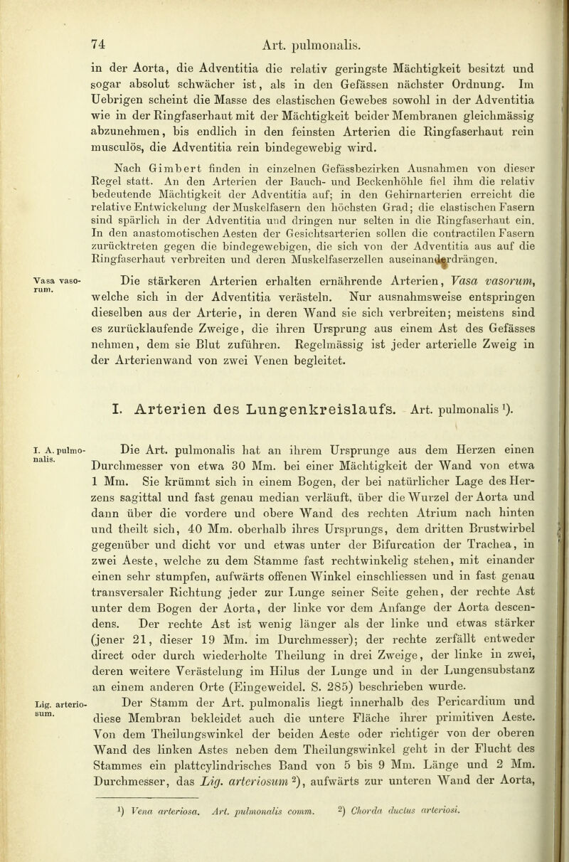 in der Aorta, die Adventitia die relativ geringste Mächtigkeit besitzt und sogar absolut schwächer ist, als in den Gefässen nächster Ordnung. Im Uebrigen scheint die Masse des elastischen Gewebes sowohl in der Adventitia wie in der Ringfaserhaut mit der Mächtigkeit beider Membranen gleichmässig abzunehmen, bis endlich in den feinsten Arterien die Ringfaserhaut rein musculös, die Adventitia rein bindegewebig wird. Nach Gimbert finden in einzelnen Gefässbezirken Ausnahmen von dieser Regel statt. An den Arterien der Bauch- und Beckenhöhle fiel ihm die relativ bedeutende Mächtigkeit der Adventitia auf; in den Gehirnarterien erreicht die relative Entwickelung der Muskelfasern den höchsten Grad; die elastischen Fasern sind spärlich in der Adventitia und dringen nur selten in die Ringfaserhaut ein. In den anastomotischen Aesten der Gesiclitsarterien sollen die contractilen Fasern zurücktreten gegen die bindegewebigen, die sich von der Adventitia aus auf die Ringfaserhaut verbreiten und deren Muskelfaserzellen auseinan^ls|rdrängen. Vasa vaso- Die stärkeren Arterien erhalten ernährende Arterien, Vasa vasoruni; welche sich in der Adventitia verästeln. Nur ausnahmsweise entspringen dieselben aus der Arterie, in deren Wand sie sich verbreiten; meistens sind es zurücklaufende Zweige, die ihren Ursprung aus einem Ast des Gefässes nehmen, dem sie Blut zuführen. Regelmässig ist jeder arterielle Zweig in der Arterienwand von zwei Venen begleitet. I. Arterien des Lungenkreislaufs. Art. pulmonalis i). I. A. pulmo- Die Art. pulmonalis hat an ihrem Ursprünge aus dem Herzen einen Durchmesser von etwa 30 Mm. bei einer Mächtigkeit der Wand von etwa 1 Mm. Sie krümmt sich in einem Bogen, der bei natürlicher Lage des Her- zens sagittal und fast genau median verläuft, über die Wurzel der Aorta und dann über die vordere und obere Wand des rechten Atrium nach hinten und theilt sich, 40 Mm. oberhalb ihres Ursprungs, dem dritten Brustwirbel gegenüber und dicht vor und etwas unter der Bifurcation der Trachea, in zwei Aeste, welche zu dem Stamme fast rechtwinkelig stehen, mit einander einen sehr stumpfen, aufwärts offenen Winkel einschliessen und in fast genau transversaler Richtung jeder zur Ijunge seiner Seite gehen, der rechte Ast unter dem Bogen der Aorta, der linke vor dem Anfange der Aorta descen- dens. Der rechte Ast ist wenig länger als der linke und etwas stärker (jener 21, dieser 19 Mm. im Durchmesser); der rechte zerfällt entweder direct oder durch wiederholte Theilung in drei Zweige, der linke in zwei, deren weitere Verästelung im Hilus der Lunge und in der Lungensubstanz an einem anderen Orte (Eingeweidel. S. 285) beschrieben wurde. Lig. arterio- Der stamm der Art. pulmonalis liegt innerhalb des Pericardium und diese Membran bekleidet auch die untere Fläche ihrer primitiven Aeste. Von dem Theilungswinkel der beiden Aeste oder richtiger von der oberen Wand des linken Astes neben dem Theilungswinkel geht in der Flucht des Stammes ein plattcylindrisches Band von 5 bis 9 Mm. Länge und 2 Mm. Durchmesser, das Lig. arteriosum ^), aufwärts zur unteren Wand der Aorta, 1) Vena arteriosa. Art. pulmonalis comm. ^) Chorda diictus arteriosi.