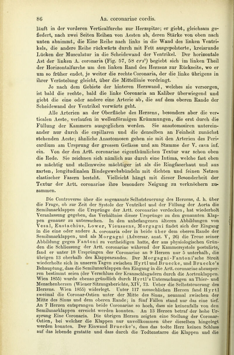 läuft in der vorderen Verticalfurche zur Herzspitze; er giebt, gleichsam ge- fiedert, nach zwei Seiten Reihen von Aesten ab, deren Stärke von oben nach unten abnimmt, die Eine Reihe nach links in die Wand des linken Ventri- kels, die andere Reihe rückwärts durch mit Fett ausgepolsterte, kreisrunde Lücken der Musculatur in die Scheidewand der Ventrikel. Der horizontale Ast der linken A. coronaria (Fig. 57, 58 crs'') begiebt sich im linken Theil der Horizontalfurche um den linken Rand des Herzens zur Rückseite, wo er um Bo früher endet, je weiter die rechte Coronaria, der die linke übrigens in ihrer Verästelung gleicht, über die Mittellinie vordringt. Je nach dem Gebiete der hinteren Herzwand, welches sie versorgen, ist bald die rechte, bald die linke Coronaria an Kaliber überwiegend und giebt die eine oder andere eine Arterie ab, die auf dem oberen Rande der Scheidewand der Ventrikel vorwärts geht. Alle Arterien an der Oberfläche des Herzens, besonders aber die ver- ticalen Aeste, verlaufen in wellenförmigen Krümmungen, die erst durch die Füllung der Kammern ausgeglichen werden. Sie anastomosiren unterein- ander nur durch die capillaren und die denselben an Feinheit zunächst stehenden Aeste; ähnliche Anastomosen gehen sie mit den Arterien des Peri- cardium am Ursprung der grossen Gefässe und am Stamme der V. cava inf. ein. Von der den Artt. coronariae eigenthümlichen Textur war schon oben die Rede. Sie zeichnen sich nämlich aus durch eine Intima, welche fast eben so mächtig und stellenweise mächtiger ist als die Ringfaserhaut und aus zarten, longitudinalen Bindegewebsbündeln mit dichten und feinen Netzen elastischer Fasern besteht. Vielleicht hängt mit dieser Besonderheit der Textur der Artt. coronariae ihre besondere Neigung zu verknöchern zu- sammen. Die Controverse über die sogenannte Selbststeuerung des Herzens, d. h. über die Frage, ob zur Zeit der Systole der Ventrikel und der Füllung der Aorta die Semilunarklappen die Ursprünge der Artt. coronariae verdecken, hat wiederholt Veranlassung gegeben, das Verhältniss dieser Ursprünge zu den genannten Klap- pen genauer zu untersuchen. In den unbefangenen älteren Abbildungen von Vesal, Eustachius, Lower, Vieussens, Morgagni findet sich der Eingang in die eine oder andere A. coronaria oder in beide über dem oberen Rande der Semilunarklappen, und als Morgagni (Adversar. anat. V, 26) die Treue seiner Abbildung gegen Fantoni zu vertheidigen hatte, der aus physiologischen Grün- den die Schliessung der Artt. coronariae während der Kammersystole postulirte, fand er unter 18 Ursprüngen der Coronariae an 9 Herzen nur 5 unterhalb, die übrigen 13 oberhalb des Klappenrandes. Der Morgagni-Fantoni'sehe Streit wiederholte sich in unseren Tagen zwischen Hyrtl und Bruecke, und Bruecke's Behauptung, dass die Semilunarklappen den Eingang in die Artt. coronariae abzusper- ren bestimmt seien (der Verschluss der Kranzschlagadern durch die Aortenklappen. Wien 1855) wurde ebenso gründlich durch Hyrtl's Untersuchungen an Thier- und Menschenherzen (Wiener Sitzungsberichte, XIV, 73. Ueber die Selbststeuerung des Herzens. Wien 1855) widerlegt. Unter 117 menschhchen Herzen fand Hyrtl zweimal die Coronar-Ostien unter der Mitte des Sinus, neunmal zwischen der Mitte des Sinus und dem oberen Rande; in fünf Fällen stand nur das eine tief. An 7 Herzen entsprangen beide Coronariae so hoch, dass sie keinenfalls von den Semilunarklappen erreicht werden konnten. An 13 Herzen betraf der hohe Ur- sprung Eine Coronaria. Die übrigen Herzen zeigten eine Stellung der Coronar- Ostien, bei welcher die Klappen nur unvollkommen über dieselben hingelegt werden konnten. Der Einwand Bruecke's, dass das todte Herz keinen Schluss auf das lebende gestatte und dass durch die Todtenstarre die Klappen und die