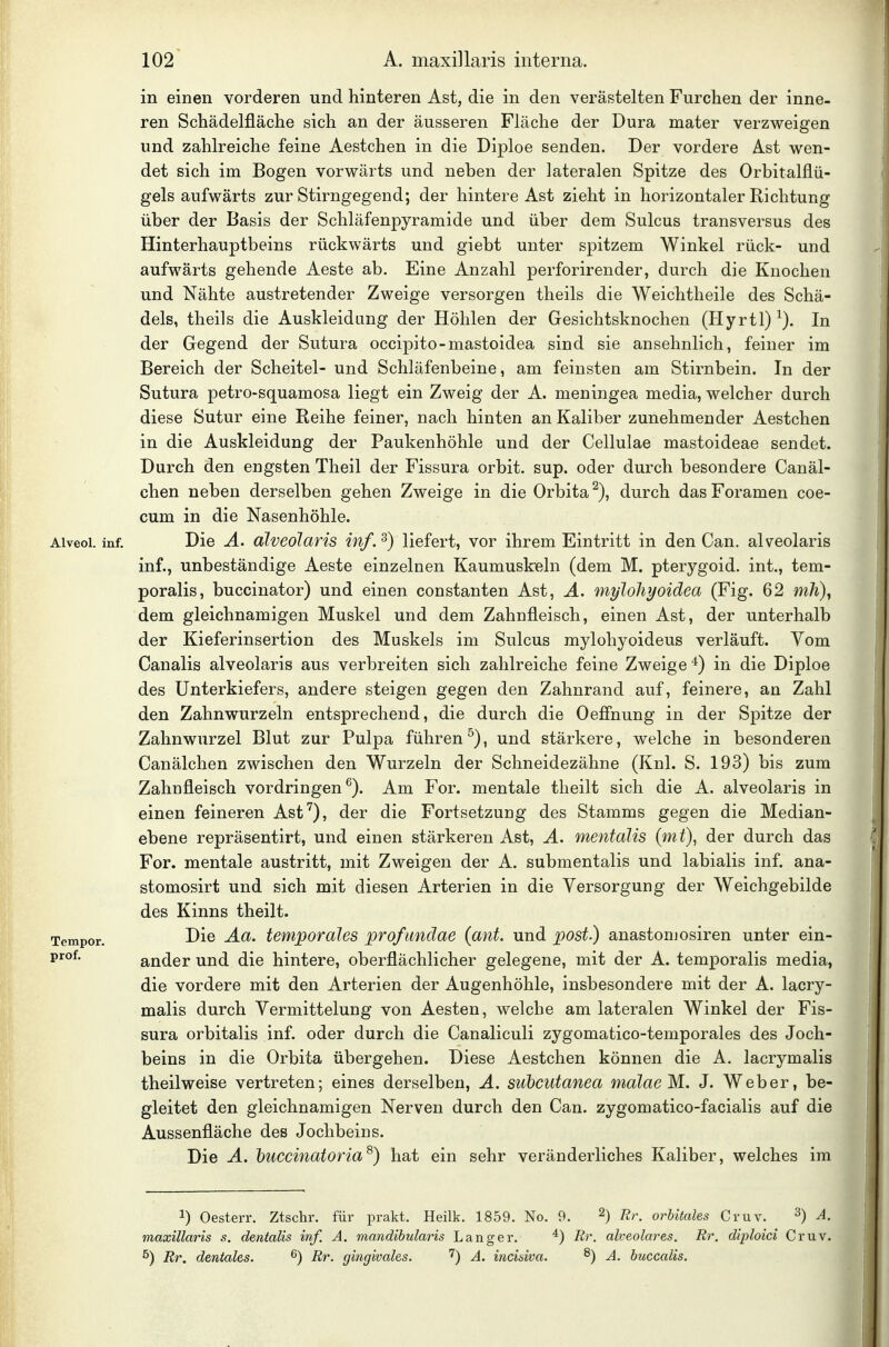 in einen vorderen und hinteren Ast, die in den verästelten Furchen der inne- ren Schädelfläche sich an der äusseren Fläche der Dura mater verzweigen und zahlreiche feine Aestchen in die Diploe senden. Der vordere Ast wen- det sich im Bogen vorwärts und neben der lateralen Spitze des Orbitalflü- gels aufwärts zur Stirngegend; der hintere Ast zieht in horizontaler Richtung über der Basis der Schläfenpyramide und über dem Sulcus transversus des Hinterhauptbeins rückwärts und giebt unter spitzem Winkel rück- und aufwärts gehende Aeste ab. Eine Anzahl perforirender, durch die Knochen und Nähte austretender Zweige versorgen theils die Weichtheile des Schä- dels, theils die Auskleidung der Höhlen der Gesichtsknochen (Hyrtl)^). In der Gegend der Sutura occipito-mastoidea sind sie ansehnlich, feiner im Bereich der Scheitel- und Schläfenbeine, am feinsten am Stirnbein. In der Sutura petro-squamosa liegt ein Zweig der A. meningea media, welcher durch diese Sutur eine Reihe feiner, nach hinten an Kaliber zunehmender Aestchen in die Auskleidung der Paukenhöhle und der Cellulae mastoideae sendet. Durch den engsten Theil der Fissura orbit. sup. oder durch besondere Canäl- chen neben derselben gehen Zweige in die Orbita durch das Foramen coe- cum in die Nasenhöhle. Aiveoi. inf. Die Ä. olveolaris inf. ^) liefert, vor ihrem Eintritt in den Can. alveolaris inf., unbeständige Aeste einzelnen Kaumuskeln (dem M. pterygoid. int., tem- poralis, buccinator) und einen constanten Ast, A. mylohyoidea (Fig. 62 m/i), dem gleichnamigen Muskel und dem Zahnfleisch, einen Ast, der unterhalb der Kieferinsertion des Muskels im Sulcus mylohyoideus verläuft. Vom Canalis alveolaris aus verbreiten sich zahlreiche feine Zweige in die Diploe des Unterkiefers, andere steigen gegen den Zahnrand auf, feinere, an Zahl den Zahnwurzeln entsprechend, die durch die Oeffnung in der Spitze der Zahnwurzel Blut zur Pulpa führen^), und stärkere, welche in besonderen Canälchen zwischen den Wurzeln der Schneidezähne (Knl. S. 193) bis zum Zahnfleisch vordringen^). Am For. mentale theilt sich die A. alveolaris in einen feineren Ast*^), der die Fortsetzung des Stamms gegen die Median- ebene repräsentirt, und einen stärkeren Ast, A. mentalis {mt), der durch das For. mentale austritt, mit Zweigen der A. submentalis und labialis inf, ana- stomosirt und sich mit diesen Arterien in die Versorgung der Weichgebilde des Kinns theilt. Tempor. Die Aa. temporales profunäae (ant. und post.) anastomosiren unter ein- ander und die hintere, oberflächlicher gelegene, mit der A. temporalis media, die vordere mit den Arterien der Augenhöhle, insbesondere mit der A. lacry- malis durch Vermittelung von Aesten, welche am lateralen Winkel der Fis- sura orbitalis inf. oder durch die Canaliculi zygomatico-temporales des Joch- beins in die Orbita übergehen. Diese Aestchen können die A. lacrymalis theilweise vertreten; eines derselben, A. subcutanea malaeM. J. Weber, be- gleitet den gleichnamigen Nerven durch den Can. zygomatico-facialis auf die Aussenfläche des Jochbeins. Die A. huccinatoria^) hat ein sehr veränderliches Kaliber, welches im 1) Oesterr. Ztschr. für prakt. Heilk. 1859. No. 9. 2) r,.^ orbitales Cruv. 3) a. maxillaris s. dentalis inf, A. mandibularis Langer. Rr. alveolares. Rr, diploici Cruv. ^) Rr, dentales. ^) Rr. gingivales. A. incisiva. ^) A. buccalis.