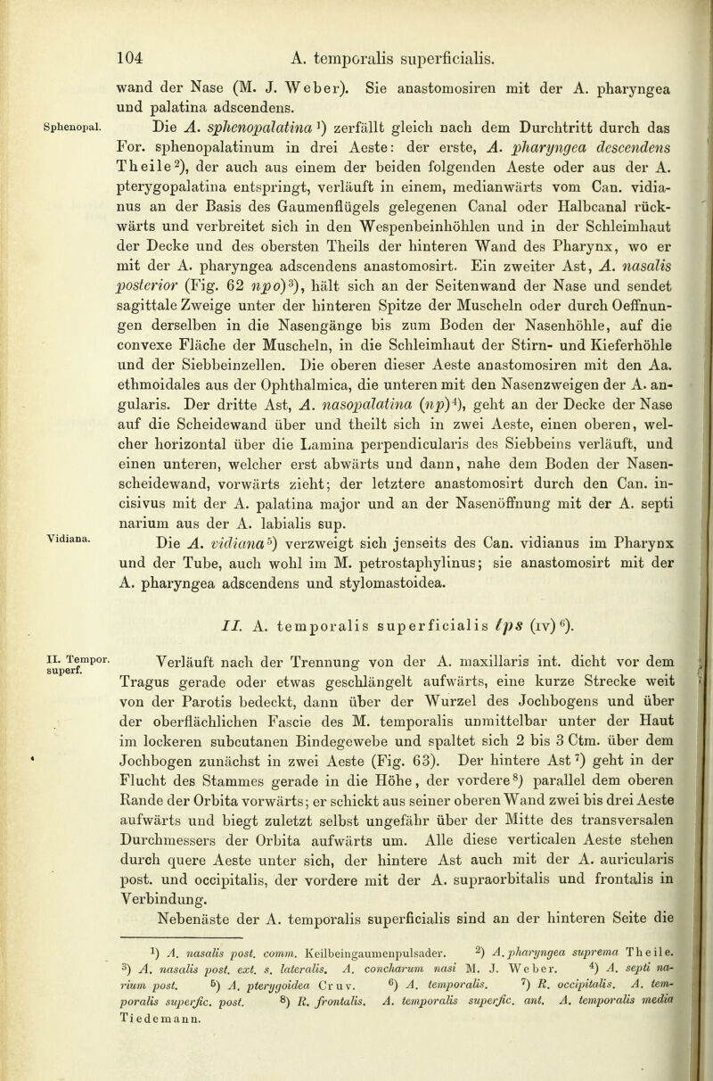 wand der Nase (M. J. Weber). Sie anastomosiren mit der A. pharyngea und palatina adscendens. Sphenopal. Die Ä. splienopdlatina ^) zerfällt gleich nach dem Durchtritt durch das For. sphenopalatinum in drei Aeste: der erste, Ä. pharyngea descendens Theile^), der auch aus einem der beiden folgenden Aeste oder aus der A. pterygopalatina entspringt, verläuft in einem, medianwärts vom Can. vidia- nus an der Basis des Gaumenflügels gelegenen Canal oder Halbcanal rück- wärts und verbreitet sich in den Wespenbeinhöhlen und in der Schleimhaut der Decke und des obersten Theils der hinteren Wand des Pharynx, wo er mit der A. pharyngea adscendens anastomosirt. Ein zweiter Ast, Ä. nasalis posterior (Fig. 62 npo)^), hält sich an der Seitenwand der Nase und sendet sagittale Zweige unter der hinteren Spitze der Muscheln oder durch Oeffnun- gen derselben in die Nasengänge bis zum Boden der Nasenhöhle, auf die convexe Fläche der Muscheln, in die Schleimhaut der Stirn- und Kieferhöhle und der Siebbeinzellen. Die oberen dieser Aeste anastomosiren mit den Aa. ethmoidales aus der Ophthalmica, die unteren mit den Nasenzweigen der A. an- gularis. Der dritte Ast, A. nasopaJatina (np)^), geht an der Decke der Nase auf die Scheidewand über und theilt sich in zwei Aeste, einen oberen, wel- cher horizontal über die Lamina perpendicularis des Siebbeins verläuft, und einen unteren, welcher erst abwärts und dann, nahe dem Boden der Nasen- scheidewand, vorwärts zieht; der letztere anastomosirt durch den Can. in- cisivus mit der A. palatina major und an der Nasenöffnung mit der A. septi narium aus der A. labialis sup. Vidiana. j)-^ vidiantt^) verzweigt sich jenseits des Can. vidianus im Pharynx und der Tube, auch wohl im M. petrostaphylinus; sie anastomosirt mit der A. pharyngea adscendens und stylomastoidea. //. A. temporalis superficialis Ips (iv) *^). ii-^^empor. Verläuft nach der Trennung von der A. maxillaris int. dicht vor dem Tragus gerade oder etwas geschlängelt aufwärts, eine kurze Strecke weit von der Parotis bedeckt, dann über der Wurzel des Jochbogens und über der oberflächlichen Fascie des M. temporalis unmittelbar unter der Haut im lockeren subcutanen Bindegewebe und spaltet sich 2 bis 3 Ctm. über dem Jochbogen zunächst in zwei Aeste (Fig. 63). Der hintere Ast ^) geht in der Flucht des Stammes gerade in die Höhe, der vordere ^) parallel dem oberen Rande der Orbita vorwärts; er schickt aus seiner oberen Wand zwei bis drei Aeste aufwärts und biegt zuletzt selbst ungefähr über der Mitte des transversalen Durchmessers der Orbita aufwärts um. Alle diese verticalen Aeste stehen durch quere Aeste unter sich, der hintere Ast auch mit der A. auricularis post. und occipitalis, der vordere mit der A. supraorbitalis und frontalis in Verbindung. Nebenäste der A. temporalis superficialis sind an der hinteren Seite die 1) A. nasalis post. comm. Keilbeingaumeupulsader. ^) A.pharyngea suprema Theile. 3) A. nasalis post. ext. s. lateralis. A. concharum nasi M. J. Weber. ^) A. septi na- rium post. 5) A. pterygoidea Cruv. ^) A. temporalis. '') R. occipitalis. A. tem- poralis superßc. post. ^) R. frontalis, A. temporalis superßc. ant. A. temporalis media Tiedemann,