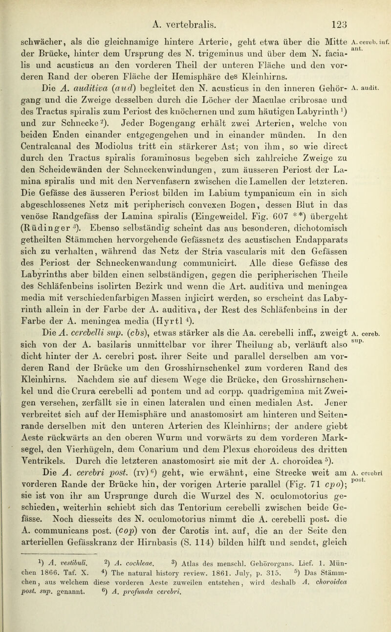 schwächer, als die gleichnamige hintere Arterie, geht etwa über die Mitte a.ceveb.inf. der Brücke, hinter dem Ursprung des N. trigeminus und über dem N. facia- lis und acusticus an den vorderen Theil der unteren Fläche und den vor- deren Kand der oberen Fläche der Hemisphäre des Kleinhirns. Die A. auditiva (aud) begleitet den N. acusticus in den inneren Gehör- a. audit. gang und die Zweige desselben durch die Löcher der Maculae cribrosae und des Tractus spiralis zum Periost des knöchernen und zum häutigen Labyrinth') und zur Schnecke 2). Jeder Bogengang erhält zwei Arterien, welche von beiden Enden einander entgegengehen und in einander münden. In den Centralcanal des Modiolus tritt ein stärkerer Ast; von ihm, so wie direct durch den Tractus spiralis foraminosus begeben sich zahlreiche Zweige zu den Scheidewänden der Schneckenwindungen, zum äusseren Periost der La- mina spiralis und mit den Nervenfasern zwischen die Lamellen der letzteren. Die Gefässe des äusseren Periost bilden im Labium tympanicum ein in sich abgeschlossenes Netz mit peripherisch convexen Bogen, dessen Blut in das venöse Randgefäss der Lamina spiralis (Eingeweidel. Fig. 607 **) übergeht (Rüdinger Ebenso selbständig scheint das aus besonderen, dichotomisch getheilten Stämmchen hervorgehende Gefässnetz des acustischen Endapparats sich zu verhalten, während das Netz der Stria vascularis mit den Gefässen des Periost der Schneckenwandung communicirt. Alle diese Gefässe des Labyrinths aber bilden einen selbständigen, gegen die peripherischen Theile des Schläfenbeins isolirten Bezirk und wenn die Art. auditiva und meningea media mit verschiedenfarbigen Massen injicirt werden, so erscheint das Laby- rinth allein in der Farbe der A. auditiva, der Rest des Schläfenbeins in der Farbe der A. meningea media (Hyrtl 4). Die Ä. cerebelU sup. (c&s), etwas stärker als die Aa. cerebelli infif., zweigt a. cereb. sich von der A. basilaris unmittelbar vor ihrer Theilung ab, verläuft also dicht hinter der A. cerebri post. ihrer Seite und parallel derselben am vor- deren Rand der Brücke um den Grosshirnschenkel zum vorderen Rand des Kleinhirns. Nachdem sie auf diesem Wege die Brücke, den Grosshirnschen- kel und die Crura cerebelli ad pontem und ad corpp. quadrigemina mit Zwei- gen versehen, zerfällt sie in einen lateralen und einen medialen Ast. Jener verbreitet sich auf der Hemisphäre und anastomosirt am hinteren und Seiten- rande derselben mit den unteren Arterien des Kleinhirns; der andere giebt Aeste rückwärts an den oberen Wurm und vorwärts zu dem vorderen Mark- segel, den Vierhügeln, dem Conarium und dem Plexus choroideus des dritten Ventrikels. Durch die letzteren anastomosirt sie mit der A. choroidea Die A. cerebri post. (iv) 6) geht, wie erwähnt, eine Strecke weit am A. ceiebri vorderen Rande der Brücke hin, der vorigen Arterie parallel (Fig. 71 cp6)\ sie ist von ihr am Ursprünge durch die Wurzel des N. oculomotorius ge- schieden, weiterhin schiebt sich das Tentorium cerebelli zwischen beide Ge- fässe. Noch diesseits des N. oculomotorius nimmt die A. cerebelli post. die A. communicans post. {cop) von der Carotis int. auf, die an der Seite den arteriellen Gefässkranz der Hirnbasis (S. 114) bilden hilft und sendet, gleich 1) A. vestibuli. ^) A. Cochleae. 3) Atlas des menschl. Gehörorgans. Lief. 1. Mün- chen 1866. Taf. X. *) The natural history review. 1861. July, p. 315. ^) Das Stämm- chen, aus welchem diese vorderen Aeste zuweilen entstehen, wird deshalb A. choroidea post. sup. genannt. ^) A. profunda cerebri.