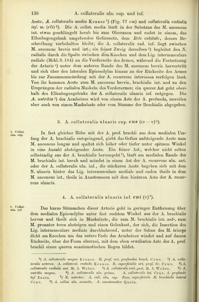 Aeste, A. coUateralis media Krause^) (Fig. 77 cm) und coUateralis radialis inf. m. (cZi)2). Die A. collat. media läuft in der Substanz des M. anconeus int. etwas geschlängelt herab bis zum Olecranon und endet in einem, das Ellenbogengelenk umgebenden Gefässnetz, dem Bete cuhitale, dessen Be- schreibung vorbehalten bleibt; die A. coUateralis rad. inf. liegt zwischen M. anconeus brevis und int.; ein feiner Zweig derselben ^) begleitet den N. radialis durch die Spalte zwischen dem Knochen und dem Lig. intermusculare radiale (Mskl. S. 184) an die Vorderseite des Armes, während die Fortsetzung der Arterie unter dem unteren Kande des M. anconeus brevis hervortritt und sich über den lateralen Epicondylus hinaus an der Rückseite des Armes bis zur Zusammenmündung mit der A. recurrens interossea verfolgen lässt. Von ihr kommen Aeste zum M. anconeus brevis, brachialis int. und zu den Ursprüngen der radialen Muskeln des Vorderarmes; ein querer Ast geht ober- halb des Ellenbogengelenks der A. coUateralis ulnaris inf. entgegen. Die A. nutritia ^) des Armbeines wird von einem Aste der A. profunda, zuweilen aber auch von einem Muskelaste oder vom Stamme der Brachialis abgegeben. 3. A. coUateralis ulnaris sup. CllS (iv —v)^). In fast gleicher Höhe mit der A. prof. brachii aus dem medialen Um- fang der A. brachialis entspringend, giebt das Gefäss aufsteigende Aeste zum M. anconeus longus und spaltet sich höher oder tiefer unter spitzem Winkel in eine Anzahl absteigender Aeste. Ein feiner Ast, welcher nicht selten selbständig aus der A. brachialis hervorgehtläuft am medialen Rande des M. brachialis int. herab und mündet in einen Ast der A. recurrens uln. ant. oder der A. coUateralis uln. inf., die stärkeren Aeste begeben sich mit dem N. ulnaris hinter das Lig. intermusculare mediale und enden theils in dem M. anconeus int., theils in Anastomosen mit dem hinteren Aste der A. recur- rens ulnaris. 4. A. coUateralis ulnaris inf. CUl (v)^). Das kurze Stämmchen dieser Arterie geht in geringer Entfernung über dem medialen Epicondylus unter fast rechtem Winkel aus der A. brachialis hervor und theilt sich in Muskeläste, die zum M. brachialis int. auf-, zum M. Pronator teres absteigen und einen Gelenkast, der sich, die Insertion des Lig. intermusculare mediale durchbohrend, unter der Sehne des M. triceps dicht am Knochen um das untere Ende des Armbeines windet und auf dessen Rückseite, über der Fossa olecrani, mit dem oben erwähnten Aste der A. prof. brachii einen queren anastomotischen Bogen bildet. 1) A. coUateralis magna Krause. R. prof. art. profundae brach. Cruv. -) A. coUa- teralis externa. A. collateral. radialis Krause. R. superficialis art. prof. hr. Cruv. ^) A. coUateralis radialis ant. M. J. Weber. ^) A. coUateralis rad. post. M. J. Weber. ^) A. nutritia magna. ^) A. coUateralis uln. p)rima, A. coUateralis int. Cruv. A. profunda inf. Znain. '^) R. anterior. A. coli. uln. sup. Ram, superficialis M. brachialis interni Cruv. ^) A. collat. uln. secunda. A. anastomotica Quain.