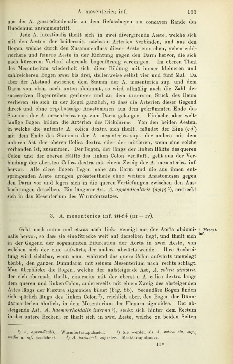 aus der A. gastroduodenalis zu dem Gefässbogen am concaven Rande des Duodenum zusammentritt. Jede A. intestinalis theilt sich in zwei divergirende Aeste, welche sich mit den Aesten der beiderseits nächsten Arterien verbinden, und aus den Bogen, welche durch den Zusammenfluss dieser Aeste entstehen, gehen zahl- reichere und feinere Aeste in der Richtung gegen den Darm hervor, die sich nach kürzerem Verlauf abermals bogenförmig vereinigen. Im oberen Theil des Mesenterium wiederholt sich diese Bildung mit immer kleineren und zahlreicheren Bogen zwei bis drei, stellenweise selbst vier und fünf Mal. Da aber der Abstand zwischen dem Stamm der A. mesenterica sup. und dem Darm von oben nach unten abnimmt, so wird allmälig auch die Zahl der successiven Bogenreihen geringer und an dem untersten Stück des Ileum verlieren sie sich in der Regel gänzlich, so dass die Arterien dieser Gegend direct und ohne regelmässige Anastomosen aus dem gekrümmten Ende des Stammes der A. mesenterica sup. zum Darm gelangen. Einfache, aber weit- läufige Bogen bilden die Arterien des Dickdarms. Von den beiden Aesten, in welche die unterste A. colica dextra sich theilt, mündet der Eine (cd') mit dem Ende des Stammes der A. mesenterica sup., der andere mit dem unteren Ast der oberen Colica dextra oder der mittleren, wenn eine solche vorhanden ist, zusammen. Der Bogen, der längs der linken Hälfte des queren Colon und der oberen Hälfte des linken Colon verläuft, geht aus der Ver- bindung der obersten Colica dextra mit einem Zweig der A. mesenterica inf. hervor. Alle diese Bogen liegen nahe am Darm und die aus ihnen ent- springenden Aeste dringen grösstentheils ohne weitere Anastomosen gegen den Darm vor und legen sich in die queren Vertiefungen zwischen den Aus- buchtungen desselben. Ein längerer Ast, Ä. appendicuJaris (app) i), erstreckt sich in das Mesenterium des Wurmfortsatzes. 3. A. mesenterica inf. fitei (iii — iv). Geht nach unten und etwas nach links geneigt aus der Aorta abdomi- 3. Mesent. nalis hervor, so dass sie eine Strecke weit auf derselben liegt, und theilt sich in der Gegend der sogenannten Bifurcation der Aorta in zwei Aeste, von welchen sich der eine aufwärts, der andere abwärts wendet. Ihre Ausbrei- tung wird sichtbar, wenn man, während das quere Colon aufwärts umgelegt bleibt, den ganzen Dünndarm mit seinem Mesenterium nach rechts schlägt. Man überblickt die Bogen, welche der aufsteigerde Ast, A. colica sinistra^ der sich abermals theilt, einerseits mit der obersten A. colica dextra längs dem queren und linken Colon, andererseits mit einem Zweig des absteigenden Astes längs der Fiexura sigmoidea bildet (Fig. 88). Secundäre Bogen finden sich spärlich längs des linken Colon ^), reichlich aber, den Bogen der Dünn- darmarterien ähnlich, in dem Mesenterium der Fiexura sigmoidea. Der ab- steigende Ast, A. haemorrhoidaUs interna^), senkt sich hinter dem Rectum in das untere Becken; er theilt sich in zwei Aeste, welche zu beiden Seiten 1) A. ap^endicalis. Wurmfortsatzpulsader. ^) Sie werden als A. colica sin. sup.^ media u. inf, bezeichnet. ^) A. haemorrh. superior. Mastdarmpulsader. 11*