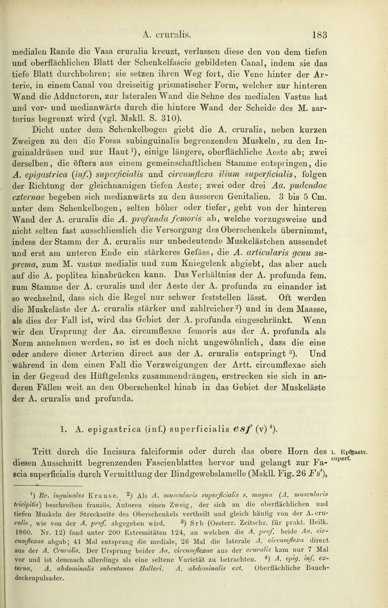 medialen Rande die Vasa cruralia kreuzt, verlassen diese den von dem tiefen und oberflächlichen Blatt der Schenkelfascie gebildeten Canal, indem sie das tiefe Blatt durchbohren; sie setzen ihren Weg fort, die Vene hinter der Ar- terie, in einem Canal von dreiseitig prismatischer Form, welcher zur hinteren Wand die Adductoren, zur lateralen Wand die Sehne des medialen Yastus hat und vor- und medianwärts durch die hintere Wand der Scheide des M. sar- torius begrenzt wird (vgl. Mskll. S. 310). Dicht unter dem Schenkelbogen giebt die A. cruralis, neben kurzen Zweigen zu den die Fossa subinguinalis begrenzenden Muskeln, zu den In- guinaldrüsen und zur Haut^), einige längere, oberflächliche Aeste ab; zwei derselben, die öfters aus einem gemeinschaftlichen Stamme entspringen, die A. epigastrica (inf.) superficialis und circumflexa ilium superficialis, folgen der Richtung der gleichnamigen tiefen Aeste; zwei oder drei Äa. pudendae externae begeben sich medianwärts zu den äusseren Genitalien. 3 bis 5 Cm. unter dem Schenkelbogen, selten höher oder tiefer, geht von der hinteren Wand der A. cruralis die Ä. profunda femoris ab, welche vorzugsweise und nicht selten fast ausschliesslich die Versorgung des Oberschenkels übernimmt, indess der Stamm der A. cruralis nur unbedeutende Muskelästchen aussendet und erst am unteren Ende ein stärkeres Gefäss, die Ä. articularis genu su- prema, zum M. vastus medialis und zum Kniegelenk abgiebt, das aber auch auf die A. poplitea hinabrücken kann. Das Verhältniss der A. profunda fem. zum Stamme der A. cruralis und der Aeste der A. profunda zu einander ist so wechselnd, dass sich die Regel nur schwer feststellen lässt. Oft werden die Muskeläste der A. cruralis stärker und zahlreicher 2) und in dem Maasse, als dies der Fall ist, wird das Gebiet der A. profunda eingeschränkt. Wenn wir den Ursprung der Aa. circumflexae femoris aus der A. profunda als Norm annehmen werden, so ist es doch nicht ungewöhnlich, dass die eine oder andere dieser Arterien direct aus der A. cruralis entspringt Und während in dem einen Fall die Verzweigungen der Artt. circumflexae sich in der Gegend des Hüftgelenks zusammendrängen, erstrecken sie sich in an- deren Fällen weit an den Oberschenkel hinab in das Gebiet der Muskeläste der A. cruralis und profunda. 1. A. epigastrica (inf.) superficialis esf (y)^). Tritt durch die Incisura falciformis oder durch das obere Horn des i. Ep%astr. diesen Ausschnitt begrenzenden Fascienblattes hervor und gelangt zur Fa- scia superficialis durch Vermittlung der Bindgewebslamelle (Mskll. Fig. 26 Fs'), ^) Rr. inguinales Krause. ^) Als A, muscularis superficialis s. magna (A. muscularis tricipitis) beschreiben französ. Autoren einen Zweig, der sich an die oberflächlichen und tiefen Muskeln der Streckseite des Oberschenkels vertheilt und gleich häufig von der A. cru- ralis j wie von der A. prof. abgegeben wird. 3) Srb (Oesterr. Zeitschr. für prakt. Heilk. 1860. Nr. 12) fand unter 200 Extremitäten 124, an welchen die A. pirof. beide Aa. cir- cumflexae abgab; 41 Mal entsprang die mediale, 26 Mal die laterale A. circumflexa direct aus der A. Cruralis. Der Ursprung beider Aa. circumflexae aus der cruralis kam nur 7 Mal vor und ist demnach allerdings als eine seltene Varietät zu betrachten. A. epig. inf. ex- terna. A. ahdomlnaüs subcutanea Halleri. A. abdominalis ext. Oberflächliche Bauch-