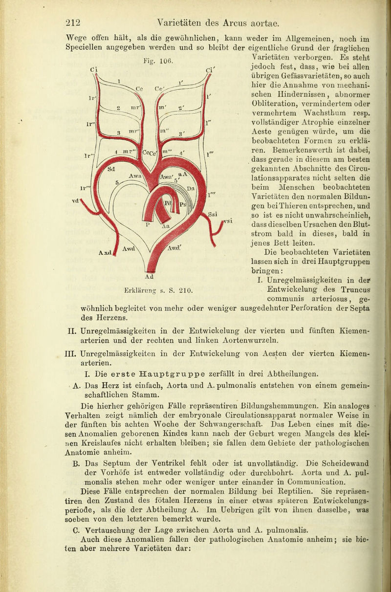 Wege offen hält, als die gewöhnlichen, kann weder im Allgemeinen, noch im Speciellen angegeben werden und so bleibt der eigentliche Grund der fraglichen Varietäten verborgen. Es steht jedoch fest, dass, wie bei allen übrigen GefässVarietäten, so auch hier die Annahme von mechani- schen Hindernissen, abnormer Obliteration, vermindertem oder vermehrtem Wachsthum resp. vollständiger Atrophie einzelner Aeste genügen würde, um die beobachteten Formen zu erklä- ren. Bemerkenswerth ist dabei, dass gerade in diesem am besten gekannten Abschnitte des Circu- lationsapparates nicht selten die beim Menschen beobachteten Varietäten den normalen Bildun- gen beiThieren entsprechen, und so ist es nicht unwahrscheinlich, dass dieselben Ursachen den Blut- strom bald in dieses, bald in jenes Bett leiten. Die beobachteten Varietäten lassen sich in drei Hauptgruppen bringen: I. Unregelmässigkeiten in dei* Erklärung s. S. 210. Entwickelung des TruncuS communis arteriosus, ge- wöhnlich begleitet von mehr oder weniger ausgedehnter Perforation der Septa des Herzens. II. Unregelmässigkeiten in der Entwickelung der vierten und fünften Kiemen- arterien und der rechten und linken Aortenwurzeln. III. Unregelmässigkeiten in der Entwickelung von Aesten der vierten Kiemen- arterien. I. Die erste Hauptgruppe zerfällt in drei Abtheilungen. ' A. Das Herz ist einfach, Aorta und A. pulmonalis entstehen von einem gemein- schaftlichen Stamm. Die hierher gehörigen Fälle repräsentiren Bildungshemmungen. Ein analoges Verhalten zeigt nämlich der embryonale Circulationsapparat normaler Weise in der fünften bis achten Woche der Schwangerschaft. Das Leben eines mit die- sen Anomalien geborenen Kindes kann nach der Geburt wegen Mangels des klei- nen Kreislaufes nicht erhalten bleiben; sie fallen dem Gebiete der pathologischen Anatomie anheim. B. Das Septum der Ventrikel fehlt oder ist unvollständig. Die Scheidewand der Vorhöfe ist entweder vollständig oder durchbohrt. Aorta und A. pul- monalis stehen mehr oder weniger unter einander in Communication. Diese Fälle entsprechen der normalen Bildung bei Eeptilien. Sie repräsen- tiren den Zustand des fötalen Herzens in einer etwas späteren Entwickelungs- periode, als die der Abtheilung A. Im Uebrigen gilt von ihnen dasselbe, was soeben von den letzteren bemerkt wurde. C. Vertauschung der Lage zwischen Aorta und A. pulmonalis. Auch diese Anomalien fallen der pathologischen Anatomie anheim; sie bie- ten aber mehrere Varietäten dar: