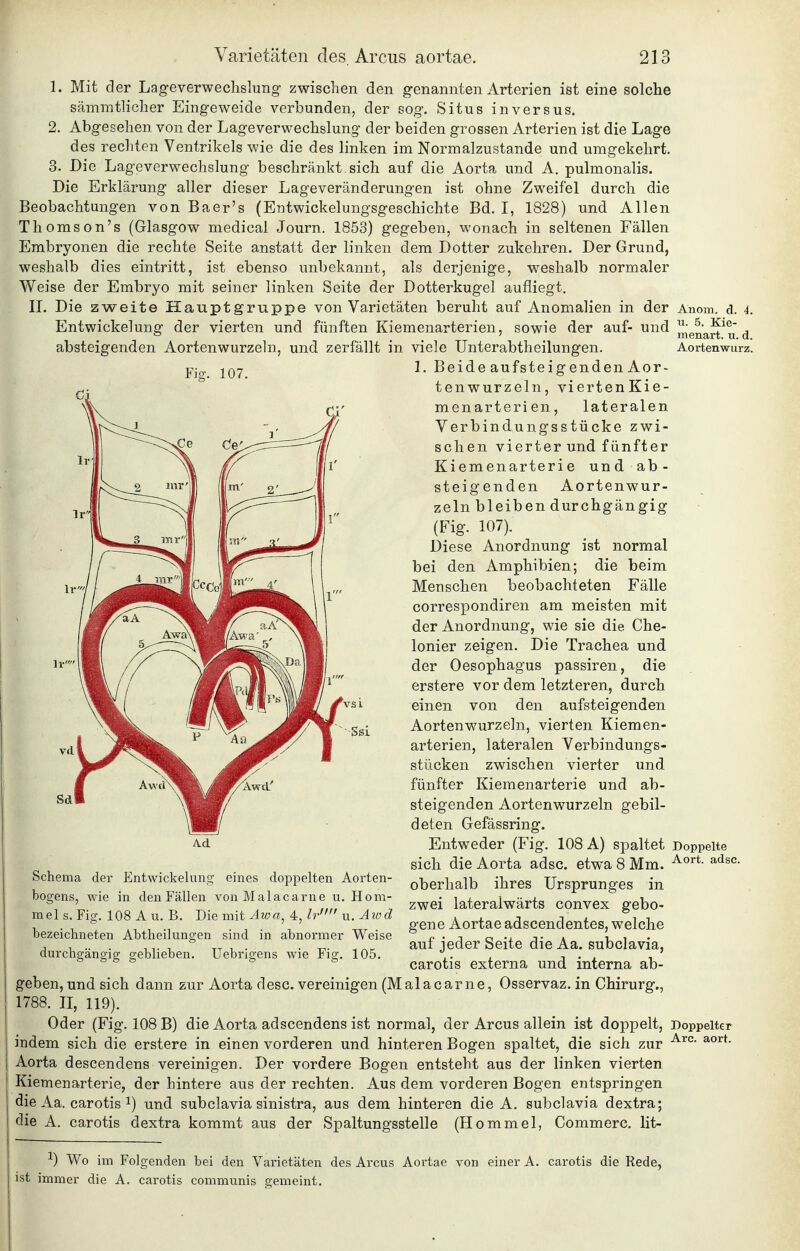 5. Kie- menart, u. d. Aortenwurz. 1. Mit der Lageverwechslung zwischen den genannten Arterien ist eine solche sämmtlicher Eingeweide verbunden, der sog. Situs in versus. 2. Abgesehen von der Lageverwechslung der beiden grossen Arterien ist die Lage des rechten Ventrikels wie die des linken im Normalzustande und umgekehrt. 3. Die Lageverwechslung beschränkt sich auf die Aorta und A. pulmonalis. Die Erklärung aller dieser Lageveränderungen ist ohne Zweifel durch die Beobachtungen von Baer's (Entwickelungsgeschichte Bd. I, 1828) und Allen Thomson's (Glasgow medical Journ. 1853) gegeben, wonach in seltenen Fällen Embryonen die rechte Seite anstatt der linken dem Dotter zukehren. Der Grund, weshalb dies eintritt, ist ebenso unbekannt, als derjenige, weshalb normaler Weise der Embryo mit seiner linken Seite der Dotterkugel aufliegt. IL Die zweite Hauptgruppe von Varietäten beruht auf Anomalien in der Anom. d. 4 Entwickelung der vierten und fünften Kiemenarterien, sowie der auf- und absteigenden Aortenwurzeln, und zerfällt in viele Unterabtheilungen. 1. Beide aufsteigenden Aor- tenwurzeln, viertenKie- menarterien, lateralen Verbindungsstücke zwi- schen vierter und fünfter Kiemenarterie und ab- steigenden Aortenwur- zeln bleiben durchgängig (Fig. 107). Diese Anordnung ist normal bei den Amphibien; die beim Menschen beobachteten Fälle correspondiren am meisten mit der Anordnung, wie sie die Che- lonier zeigen. Die Trachea und der Oesophagus passiren, die erstere vor dem letzteren, durch einen von den aufsteigenden Aortenw^urzein, vierten Kiemen- arterien, lateralen Verbindungs- stücken zwischen vierter und fünfter Kiemenarterie und ab- steigenden Aortenwurzeln gebil- deten Gefässring. Entweder (Fig. 108 A) spaltet Doppelte sich die Aorta adsc. etw^a 8 Mm. oberhalb ihres Ursprunges in zwei lateralwärts convex gebo- gene Aortae adscendentes, welche auf jeder Seite die Aa. subclavia, carotis externa und interna ab- geben, und sich dann zur Aorta desc. vereinigen (Malacarne, Osservaz. in Chirurg., 1788. II, 119). Oder (Fig. 108 B) die Aorta adscendens ist normal, der Arcus allein ist doppelt. Doppelter indem sich die erstere in einen vorderen und hinteren Bogen spaltet, die sich zur Aorta descendens vereinigen. Der vordere Bogen entsteht aus der linken vierten Kiemenarterie, der hintere aus der rechten. Aus dem vorderen Bogen entspringen die Aa. carotis 1) und subclavia sinistra, aus dem hinteren die A. subclavia dextra; die A. carotis dextra kommt aus der Spaltungsstelle (Hommel, Commerc. lit- Schema der Entwickelung eines doppelten Aorten- bogens, wie in den Fällen vonMalacarne u. Kom- me 1 s. Fig. 108 A u. B. Die mit ^ w a, 4, Ir u.Awd bezeichneten Abtheilungen sind in abnormer Weise durchgängig geblieben. Uebrigens wie Fig. 105. ^) Wo im Folgenden bei den Varietäten des Arcus Aortae von einer A. carotis die Rede, ist immer die A. carotis communis gemeint.