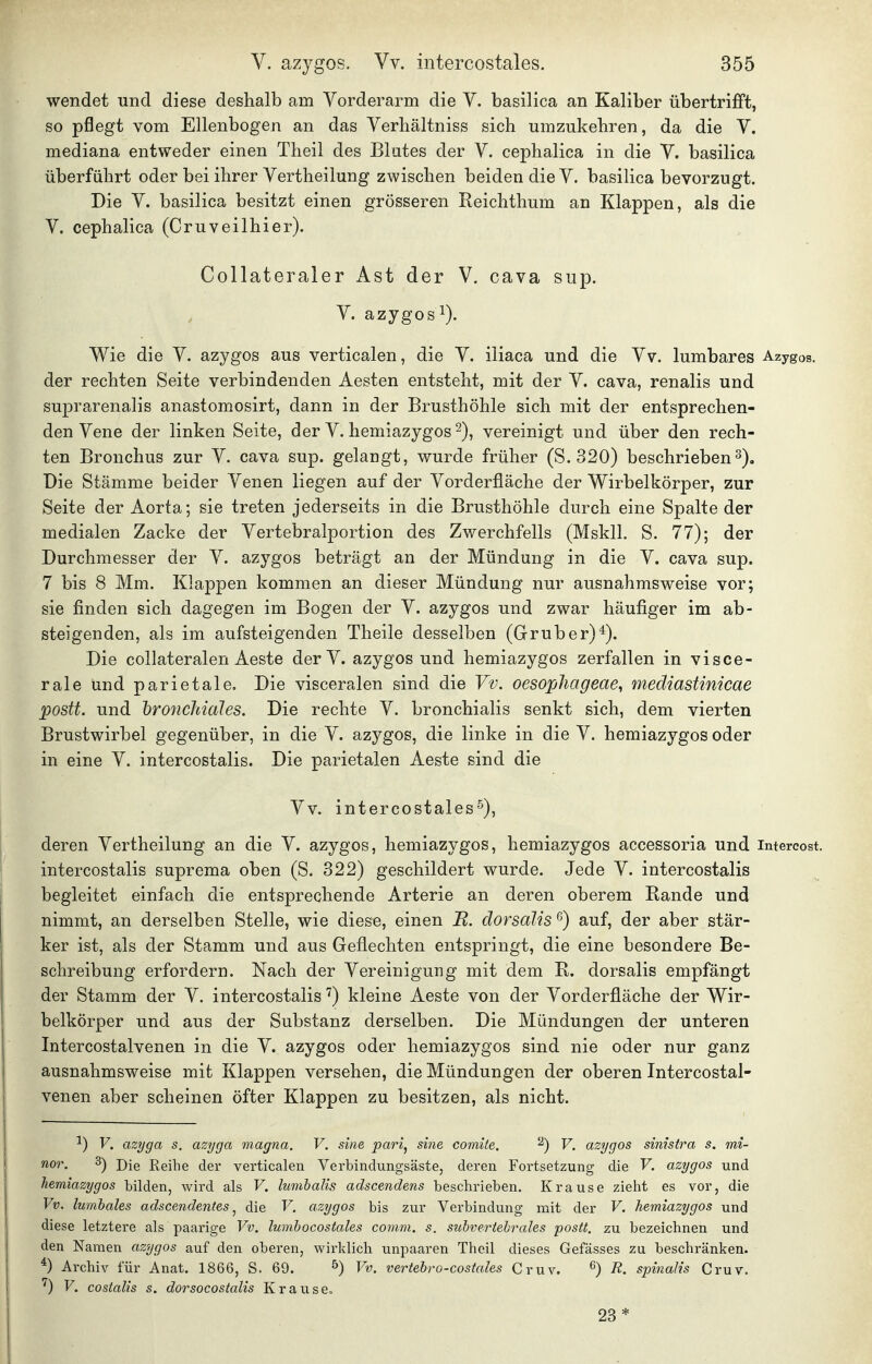 wendet und diese deshalb am Vorderarm die V. basilica an Kaliber übertrifft, so pflegt vom Ellenbogen an das Verhältniss sich umzukehren, da die V. mediana entweder einen Theil des Blutes der Y. cephalica in die V. basilica überführt oder bei ihrer Vertheilung zwischen beiden die V. basilica bevorzugt. Die Y. basilica besitzt einen grösseren Reichthum an Klappen, als die Y. cephalica (Cruveilhier). Collateraler Ast der V. cava sup. Y. azygos 1). Wie die Y. azygos aus verticalen, die Y. iliaca und die Yv. lumbares Azygos. der rechten Seite verbindenden Aesten entsteht, mit der Y. cava, renalis und suprarenalis anastomosirt, dann in der Brusthöhle sich mit der entsprechen- den Yene der linken Seite, der Y. hemiazygos 2), vereinigt und über den rech- ten Bronchus zur Y. cava sup. gelangt, wurde früher (S. 320) beschrieben3). Die Stämme beider Yenen liegen auf der Yorderfläche der Wirbelkörper, zur Seite der Aorta; sie treten jederseits in die Brusthöhle durch eine Spalte der medialen Zacke der Yertebralportion des Zwerchfells (Mskll. S. 77); der Durchmesser der Y. azygos beträgt an der Mündung in die Y. cava sup. 7 bis 8 Mm. Klappen kommen an dieser Mündung nur ausnahmsweise vor; sie finden sich dagegen im Bogen der Y. azygos und zwar häufiger im ab- steigenden, als im aufsteigenden Theile desselben (Gruber)*). Die coUateralen Aeste derY. azygos und hemiazygos zerfallen in visce- rale und parietale. Die visceralen sind die Vv. oesophageae, mediastinicae postt. und 'bronchiales. Die rechte Y. bronchialis senkt sich, dem vierten Brustwirbel gegenüber, in die Y. azygos, die linke in die Y. hemiazygos oder in eine Y. intercostalis. Die parietalen Aeste sind die Yv. intercostales^), deren Yertheilung an die Y. azygos, hemiazygos, hemiazygos accessoria und intercost. intercostalis suprema oben (S. 322) geschildert wurde. Jede Y. intercostalis begleitet einfach die entsprechende Arterie an deren oberem Rande und nimmt, an derselben Stelle, wie diese, einen B. dorsalis ^) auf, der aber stär- ker ist, als der Stamm und aus Geflechten entspringt, die eine besondere Be- schreibung erfordern. Nach der Vereinigung mit dem R. dorsalis empfängt der Stamm der Y. intercostalis kleine Aeste von der Yorderfläche der Wir- belkörper und aus der Substanz derselben. Die Mündungen der unteren Intercostalvenen in die Y. azygos oder hemiazygos sind nie oder nur ganz ausnahmsweise mit Klappen versehen, die Mündungen der oberen Intercostal- venen aber scheinen öfter Klappen zu besitzen, als nicht. ^) V. azyga s. azyga magna. V. sine pari^ sine comiie. ^) V. azygos sinistra s. mi- nor. 3) j)jg ßgii^e der verticalen Verbindungsäste, deren Fortsetzung die V. azygos und hemiazygos bilden, wird als V. lumhalis adscendens beschrieben. Krause zieht es vor, die Vv. lumbales adscendenies ^ die V. azygos bis zur Verbindung mit der V. hemiazygos und diese letztere als paarige Vv. lumhocostales comm. s. subvertehrales postt. zu bezeichnen und den Namen azygos auf den oberen, wirklich unpaaren Theil dieses Gefässes zu beschränken. ^) Archiv für Anat. 1866, S. 69. ^) Vv. vertebro-costales Cruv. ^) -B. spinalis Cruv. V. costalis s. dorsocostalis Krause. 23*