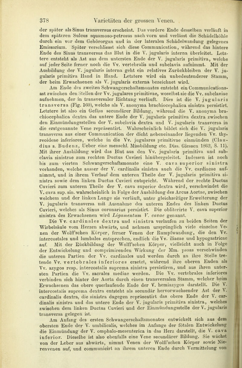 der später als Sinus transversus erscheint. Das vordere Ende desselben verläuft in dem späteren Sulcus squanioso-petrosus nach vorn und verlässt die Schädelhöhle durch ein vor dem Gehörorgan und in der lateralen Schädelwandung gelegenes Emissarium. Spä,ter verschliesst sich diese Communication, während das hintere Ende des Sinus transversus das Blut in die V. jugularis interna überleitet. Letz- tere entsteht als Ast aus dem untersten Ende der V. jugularis primitiva, welche auf jeder Seite ferner noch die Vv. vertebralis und subclavia aufnimmt. Mit der Ausbildung der V. jugularis interna geht ein relatives Zurückbleiben der V. ju- gularis primitiva Hand in Hand. Letztere wird ein unbedeutenderer Stamm, der beim Erwachsenen als V. jugularis externa bezeichnet wird. Am Ende des zweiten Schwangerschaftsmonates entsteht ein Communications- ast zwischen den Stellen der Vv. jugulares primitivae, woselbst sie die Vv. subclaviae aufnehmen, der in transversaler Richtung verläuft. Dies ist die V. jugularis transversa (Fig. 160), welche als V. anonyma brachiocephalica sinistra persistirt. Letztere ist also ein Gefäss secundärer Bildung, während die V. anonyma bra- chiocephalica dextra das untere Ende der V. jugularis primitiva dextra zwischen den Einmündungssteilen der V. subclavia dextra und V. jugularis transversa in die erstgenannte Vene repräsentirt. Wahrscheinlich bildet sich die V. jugularis transversa aus einer Communication der dicht nebeneinander liegenden Vv. thy- reoideae inferiores, w^elche in die Vv. jugulares primitivae einmünden (Clau- dius s. Budenz, üeber eine menschl. Missbildung etc. Diss. Glessen 1862, S. 11). Mit ihrer Ausbildung wird das Blut aus den Vv. jugularis primitiva und sub- clavia sinistrae zum rechten Ductus Cuvieri hinübergeleitet. Indessen ist noch bis zum vierten Schwangerschaftsmonate eine V. cava superior sinistra vorhanden, welche ausser der V. cardinalis sinistra auch die Vv, cardiacae auf- nimmt, und in ihrem Verlauf dem unteren Theile der V. jugularis primitiva si- nistra sowie dem linken Ductus Cuvieri entspricht. Während der rechte Ductus Cuvieri zum unteren Theile der V. cava superior dextra wird, verschwindet die V. cava sup. sin. wahrscheinlich in Folge der Ausbildung des Arcus Aortae, zwischen welchem und der linken Lunge sie verläuft, unter gleichzeitiger Erweiterung der V. jugularis transversa mit Ausnahme des unteren Endes des linken Ductus Cuvieri, welches als Sinus coronarius persistirt. Die obliterirte V. cava superior sinistra des Erwachsenen wird Ligamentum V. cavae genannt. Die Vv. cardinales dextra und sinistra verlaufen zu beiden Seiten der Wirbelsäule vom Herzen abwärts, und nehmen ursprünglich viele einzelne Ve- nen der Wolfi'schen Körper, ferner Venen der Rumpfwandung, die den Vv. intercostales und lumbales entsprechen, endlich die Vv. iliacae und hypogastricae auf. Mit der Rückbildung der Wolff'schen Körper, vielleicht auch in Folge der Entwickelung und comprimirenden Wirkung der Mm- psoas verschwinden die unteren Partien der Vv. cardinales und werden durch an ihre Stelle tre- tende Vv. vertebrales inferiores ersetzt, während ihre oberen Enden als Vv. azygos resp. intercostalis suprema sinistra persistiren, und aus ihren unter- sten Partien die Vv. sacrales mediae werden. Die Vv. vertebrales inferiores verbinden sich hinter der Aorta durch einen transversalen Stamm, welcher beim Erwachsenen das obere querlaufende Ende der V. hemiazygos darstellt. Die V. intercostalis suprema dextra entsteht als secundär her vor wachsender Ast der V. cardinalis dextra, die sinistra dagegen repräsentirt das obere Ende der V. car- dinalis sinistra und das untere Ende der V. jugularis primitiva sinistra, welches zwischen dem linken Ductus Cuvieri und der Einmündungssteile der V. jugularis transversa gelegen ist. Am Anfang des ersten Schwangerschaftsmonates entwickelt sich aus dem obersten Ende der V. umbilicalis, welches im Anfange der fötalen Entwickelung die Einmündung der V. omphalo-mesenterica in das Herz darstellt, die V. cava inferior. Dieselbe ist also ebenfalls eine Vene secundärer Bildung. Sie wächst von der Leber aus abwärts, nimmt Venen der Wolff'schen Körper sowie Nie- renvenen auf, und communicirt an ihrem unteren Ende durch Vermittelung von