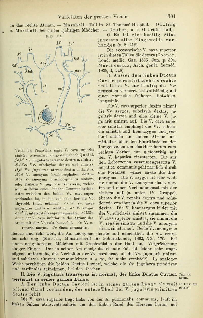 in das rechte Atrium. — Marshall, Fall in St. Thomas' Hospital. — Dawling s. Marshall, bei einem 5jährigen Mädchen. — Gruber, a. a. 0. dritter Fall). C. Es ist gleichzeitig Situs inversus aller Eingeweide vor- handen (s. S. 213). Die accessorische V. cava superior ist in diesen Fällen die dextra (C o o p e r, Lond. medic. Gaz. 1836, Jun. p. 394. Marchessaux, Arch. gener, de med. ^ ...^ 1838, I, 346). 1 I \ ^^^\J/^ Ausser dem linken Ductus __J\ ^ \ 1 Ii ]f Cuvieri persistirt auch die rechte und linke V. cardinalis; das Ve- nensystem verharrt fast vollständig auf einer normalen früheren Entwicke- lungsstufe. DieV. cava superior dextra nimmt die Vv. azygos, subclavia dextra, ju- gularis dextra und eine kleine V. ju- gularis sinistra auf. Die V, cava supe- rior sinistra empfängt die Vv. subcla- via sinistra und hemiazygos und ^ver- läuft aussen am linken Atrium un- mittelbar über den Eintrittsstellen der Lungenvenen um das Herz herum zum rechten Vorhof, um gleichzeitig mit der V. hepatica einzutreten. Die aus den Lebervenen zusammengesetzte V. hepatica communis geht nämlich durch das Foramen venae cavae des Dia- phragma. Die V. azygos ist sehr weit, sie nimmt die V. anonyma iliaca dex- tra und einen Verbindungsast mit der sinistra auf (s. unten IV. Gruppe), ebenso die V. renalis dextra und mün- det wie erwähnt in die V. cava superior dextra. Die V. hemiazygos bildet mit derV. subclavia sinistra zusammen die V. cava superior sinistra; sie nimmt die V. renalis sinistra und die V. anonyma iliaca sinistra auf. Beide Vv, anonymae iliacae sind sehr weit, die Aa. anonymae iliacae und namentlich die Aa. crura- les sehr eng (Martin, Monatsschrift für Geburtskunde, 1862, XX, 170. Bei einem neugeborenen Mädchen mit Geschwülsten der Haut und Vergrösserung einiger Finger. Der in seiner Art einzig dastehende Fall ist leider sehr unge- nügend untersucht, das Verhalten der Vv. cardiacae, ob die Vv. jugularis sinistra und subclavia sinistra communicirten u. s. w., ist nicht ermittelt). In analoger Weise persistiren die beiden Ductus Cuvieri, welche die Vv. jugulares primitivae und cardinales aufnehmen, bei den Fischen. II. Die V. jugularis transversa ist normal, der linke Ductus Cuvieri Jug. tr. persistirt in seiner ganzen Länge. norm. A. Der linke Ductus Cuvieri ist in seiner ganzen Länge als weit D. Cuv. sin. offener Canal vorhanden, der untere Theil der V, jugularis primitiva p®^^^^^- dextra fehlt. Die V. cava superior liegt links von der A, pulmonalis communis, läuft im linken Sulcus atrioventricularis um den linken Rand des Herzens herum auf Venen bei Persistenz einer V. cava superior sinistra, schematisch dargestellt (nach Quain), je je' Vv, jugulares externae dextra u. sinistra. SdSsi Vv. subclaviae dextra und sinistra. jij'i' Vv. jugulares internae dextra u. sinistra. Abd V. anonyma brachiocephalica dextra, Abs V. anonyma brachiocephalica sinistra, oder frühere V. jugularis transversa, welche nur in Form eines dünnen Communications- astes zwischen den beiden Vv. cav. super, vorhanden ist, in den von oben her die Vv. thyreoid. infer. münden, es es' Vv. cavae superiores dextra u. sinistra. az Y- azygos. car' V. intercostalis suprema sinistra. ci Mün- dung derV. Cava inferior in das Atrium dex- trum mit der Valvula Eustachii. Vc V. co- ronaria magna. Sc Sinus coronarius.