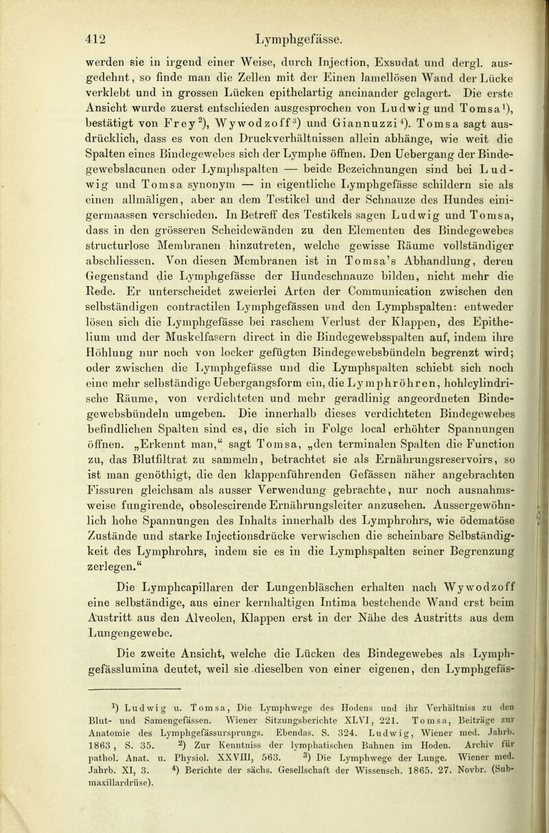 werden sie in irgend einer Weise, durch Injection, Exsudat und dergl. aus- gedehnt , so finde man die Zellen mit der Einen lamellösen Wand der Lücke verklebt und in grossen Lücken epithelartig aneinander gelagert. Die erste Ansicht wurde zuerst entschieden ausgesprochen von Ludwig und Tomsa^), bestätigt von Frey^), Wywodzoff^) und Giannuzzi^). Tomsa sagt aus- drücklich, dass es von den Druckverhältaissen allein abhänge, wie weit die Spalten eines Bindegewebes sich der Lymphe öffnen. Den Uebergang der Binde- gewebslacunen oder Lymplispalten — beide Bezeichnungen sind bei Lud- wig und Tomsa synonym — in eigentliche liymphgefässe schildern sie als einen allmäligen, aber an dem Testikel und der Schnauze des Hundes eini- germaassen verschieden. In Betreff des Testikels sagen Ludwig und Tomsa, dass in den grösseren Scheidewänden zu den Elementen des Bindegewebes structurlose Membranen hinzutreten, welche gewisse Räume vollständiger abschliessen. Von diesen Membranen ist in Tomsa's Abhandlung, deren Gegenstand die Lymphgefässe der Hundeschnauze bilden, nicht mehr die Rede. Er unterscheidet zweierlei Arten der Communication zwischen den selbständigen contractilen Lymphgefässen und den Lymphspalten: entweder lösen sich die Lymphgefässe bei raschem Verlust der Klappen, des Epithe- lium und der Muskelfasern direct in die Bindegewebsspalten auf, indem ihre Höhlung nur noch von locker gefügten Bindegewebsbündeln begrenzt wird; oder zwischen die Lymphgefässe und die Lymphspalten schiebt sich noch eine mehr selbständige Uebergangsform ein, die Lymphröhren, hohlcylindri- sche Räume, von verdichteten und mehr geradlinig angeordneten Binde- gewebsbündeln umgeben. Die innerhalb dieses verdichteten Bindegewebes befindlichen Spalten sind es, die sich in Folge local erhöhter Spannungen öffnen. „Erkennt man, sagt Tomsa, „den terminalen Spalten die Function zu, das Blutfiltrat zu sammeln, betrachtet sie als Ernälirungsreservoirs, so ist man genöthigt, die den klappenführenden Gefässen näher angebrachten Fissuren gleichsam als ausser Verwendung gebrachte, nur noch ausnahms- weise fungirende, obsolescirende Ernährungsleiter anzusehen. Aussergewöhn- lich hohe Spannungen des Inhalts innerhalb des Lymphrohrs, wie ödematöse Zustände und starke Injectionsdrücke verwischen die scheinbare Selbständig- keit des Lymphrohrs, indem sie es in die Lymphspalten seiner Begrenzung zerlegen. Die Lymphcapillaren der Lungenbläschen erhalten nach Wywodzoff eine selbständige, aus einer kernhaltigen Intima bestehende Wand erst beim Austritt aus den Alveolen, Klappen erst in der Nähe des Austritts aus dem Lungengewebe. Die zweite Ansicht, welche die Lücken des Bindegewebes als Lymph- gefässlumina deutet, weil sie dieselben von einer eigenen, den Lymphgefäs- ^) Ludwig u. Tomsa, Die Lymphwege des Hodens und ilir Verhältniss zu den Blut- und Samengefässen. Wiener Sitzungsberichte XL VI, 221. Tomsa, Beiträge zur Anatomie des Lymphgefässursprungs. Ebendas. S. 324. Ludwig, Wiener med. Jahrb. 1863 , S. 35. Zur Kenntniss der lymphatischen Bahnen im Hoden. Archiv für pathol. Anat. u. Physiol. XXVIIl, 563. ^) Die Lymphwege der Lunge. Wiener med. Jahrb. XI, 3. Berichte der sächs. Gesellschaft der Wissensch. 1865. 27. Novbr. (Sub- maxillardrüse).