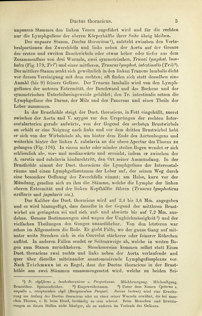 unpaaren Stammes den linken Venen zugeführt wird und für die rechten nur die Lymphgefässe der oberen Körperhälfte ihrer Seite übrig bleiben. Der unpaare Stamm, Ductus thoradctis^), entsteht zwischen den Verte- bralportionen des Zwerchfells und links neben der Aorta auf der Grenze des ersten und zweiten Bauchwirbels oder etwas höher oder tiefer aus dem Zusammenfluss von drei Wurzeln, zwei symmetrischen, Trunci lymphat. lum- bales (Fig. 179, Tri') und einer mittleren, Truncus Jymphat, intestinalis (Tri) 2). Der mittlere Stamm senkt sich gewöhnlich in den linken Truncus lumbalis dicht vor dessen Vereinigung mit dem rechten; oft finden sich statt desselben eine Anzahl (bis 9) feinere Gefässe. Der Truncus lumbalis wird von den Lymph- gefässen der unteren Extremität, der Bauchwand und des Beckens und der symmetrischen Unterleibseingeweide gebildet; den Tr. intestinalis setzen die Lymphgefässe des Darms, der Milz und des Pancreas und eines Theils der Leber zusammen. In der Brusthöhle steigt der Duct. thoracicus, in Fett eingehüllt, zuerst zwischen der Aorta und V. azygos vor den Ursprüngen der rechten Inter- costalarterieu gerade aufwärts, von der Gegend des sechsten Brustwirbels an erhält er eine Neigung nach links und vor dem dritten Brustwirbel hebt er sich von der Wirbelsäule ab, um hinter dem Ende des Aortenbogens und weiterhin hinter der linken A. subclavia an die obere Apertur des Thorax zu gelangen (Fig. 176). In einem mehr oder minder steilen Bogen wendet er sich schliesslich ab-, vor- und medianwärts und erreicht, indem er zwischen der A. carotis und subclavia hindurchtritt, den Ort seiner Ausmündung. In der Brusthöhle nimmt der Duct, thoracicus die Lymphgefässe der Intercostal- räume und einen Lymphgefässstamm der Leber auf, der seinen Weg durch eine besondere Oeffnung des Zwerchfells nimmt; am Halse, kurz vor der Mündung, gesellen sich zu ihm die Stämme, welche die Lymphe der linken oberen Extremität und der linken Kopfhälfte führen (Truncus lympliaUcus axillaris und jugularis sin.). Das Kaliber des Duct. thoracicus wird auf 2,4 bis 3,6 Mm. angegeben und es wird hinzugefügt, dass dasselbe in der Gegend der mittleren Brust- wirbel am geringsten sei und sich auf- und abwärts bis auf 7,2 Mm. aus- dehne. Genaue Bestimmungen sind wegen der Ungleichmässigkeit ^) und der vielfachen Theilungen des Ganges unausführbar. Von den letzteren war schon im Allgemeinen die Rede. Es giebt Fälle, wo der ganze Gang auf mit- unter weite Strecken sich in ein Convolut stärkerer oder feinerer Röhrchen auflöst. In anderen Fällen sendet er Seitenzweige ab, welche in weiten Bo- gen zum Stamm zurückkehren. Streckenweise kommen selbst statt Eines Duct. thoracicus zwei rechts und links neben der Aorta verlaufende und quer über dieselbe miteinander anastomosirende Lymphgefässplexus vor. Nach Teichmann ist es Regel, dass der Ductus thoracicus in der Brust- höhle aus zwei Stämmen zusammengesetzt wird, welche zu beiden Sei- 1) D. cliyllferus s. lumbothoraclcus s. Fecquetianus. Milclibrustgang. Milchsaftgang. Bruströhre. Speisesaftröhre. ^) Eingeweidestamm. ^) Unter dem Namen Cysterna s. ampulla s. receptaculum chyü (ReceptacuJum Pecquetl. Saccus lacteus) wird eine Erweite- rung am Anfang des Ductus thoracicus oder an einer seiner Wurzeln erwähnt, die bei man- chen Thieren, z. B. beim Kund, beständig zu sein scheint. Beim Menschen sind Erweite- rungen an diesen Stellen nicht häufiger, als an anderen im Verlaufe des Gefässes.