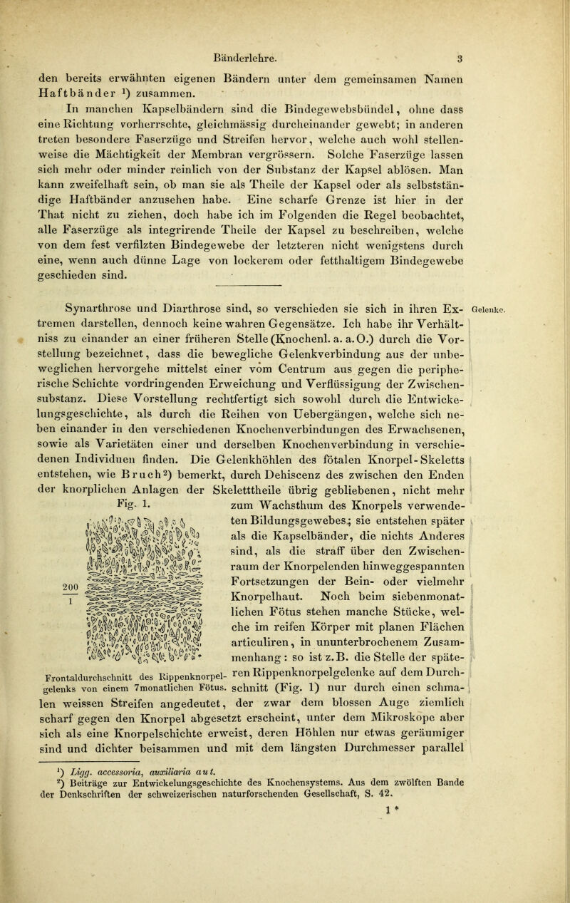 den bereits erwähnten eigenen Bändern unter dem gemeinsamen Namen Haftbänder i) zusammen. In manchen Kapselbändern sind die Bindegewebsbündel, ohne dass eine Richtung vorherrschte, gleichmässig durcheinander gewebt; in anderen treten besondere Faserziige und Streifen hervor, welche auch wohl stellen- weise die Mächtigkeit der Membran vergrössern. Solche Faserzüge lassen sich mehr oder minder reinlich von der Substanz der Kapsel ablösen. Man kann zweifelhaft sein, ob man sie als Theile der Kapsel oder als selbststän- dige Haftbänder anzusehen habe. Eine scharfe Grenze ist hier in der That nicht zu ziehen, doch habe ich im Folgenden die Regel beobachtet, alle Faserzüge als integrirende Theile der Kapsel zu beschreiben, welche von dem fest verfilzten Bindegewebe der letzteren nicht wenigstens durch eine, wenn auch dünne Lage von lockerem oder fetthaltigem Bindegewebe geschieden sind. Synarthrose und Diarthrose sind, so verschieden sie sich in ihren Ex- Gelenke, tremen darstellen, dennoch keine wahren Gegensätze. Ich habe ihr Verhält- niss zu einander an einer früheren Stelle (Knochenl. a. a.O.) durch die Vor- stellung bezeichnet, dass die bewegliche Gelenkverbindung aus der unbe- weglichen hervorgehe mittelst einer vom Centrum aus gegen die periphe- rische Schichte vordringenden Erweichung und Verflüssigung der Zwischen- substanz. Diese Vorstellung rechtfertigt sich sowohl durch die Entwicke- lungsgeschichte, als durch die Reihen von Uebergängen, welche sich ne- ben einander in den verschiedenen Knochenverbindungen des Erwachsenen, sowie als Varietäten einer und derselben Knochenverbindung in verschie- denen Individuen finden. Die Gelenkhöhlen des fötalen Knorpel-Skeletts : entstehen, wie Bruch2) bemerkt, durch Dehiscenz des zwischen den Enden der knorplichen Anlagen der Skeletttheile übrig gebliebenen, nicht mehr zum Wachsthum des Knorpels verwende- ten Bildungsgewebes; sie entstehen später i als die Kapselbänder, die nichts Anderes sind, als die straff über den Zwischen- raum der Knorpelenden hinweggespannten Fortsetzungen der Bein- oder vielmehr , Knorpelhaut. Noch beim siebenmonat- - liehen Fötus stehen manche Stücke, wel- ' che im reifen Körper mit planen Flächen articuliren, in ununterbrochenem Zusam- menhang : so ist z.B. die Stelle der späte- Frontaldurchschnitt des Rippenknorpel- ren Rippenknorpelgelenke auf dem Durch- gelenks von einem 7monatlichen Fötus, schnitt (Fig. 1) nur durch einen schma- ; len weissen Streifen angedeutet, der zwar dem blossen Auge ziemlich scharf gegen den Knorpel abgesetzt erscheint, unter dem Mikroskope aber sich als eine Knorpelschichte erweist, deren Höhlen nur etwas geräumiger sind und dichter beisammen und mit dem längsten Durchmesser parallel Ligg. accessoria, auxiliaria aut. ^) Beiträge zur Entwickelungsgeschichte des Knochensystems. Aus dem zwölften Bande der Denkschriften der schweizerischen naturforschenden Gesellschaft, S. 42. 1*