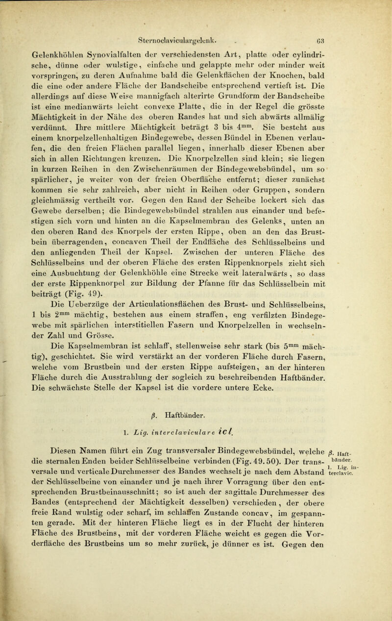 Gelenkhöhlen Synovialfalten der verschiedensten Art, platte oder cylindri- sche, dünne oder wulstige, einfache und gelappte mehr oder minder weit vorspringen, zu deren Aufnahme bald die Gelenkflächen der Knochen, bald die eine oder andere Fläche der Bandscheibe entsprechend vertieft ist. Die allerdings auf diese Weise mannigfach alterirte Grundform der Bandscheibe ist eine medianwärts leicht convexe Platte, die in der Regel die grösste Mächtigkeit in der Nähe des oberen Randes hat und sich abwärts allmälig verdünnt. Ihre mittlere Mächtigkeit beträgt 3 bis 4™^. Sie besteht aus einem knorpelzellenhaltigen Bindegewebe, dessen Bündel in Ebenen verlau- fen, die den freien Flächen parallel liegen, innerhalb dieser Ebenen aber sich in allen Richtungen kreuzen. Die Knorpelzellen sind klein; sie liegen in kurzen Reihen in den Zwischenräumen der Bindegewebsbündel, um so spärlicher, je weiter von der freien Oberfläche entfernt; dieser zunächst kommen sie sehr zahlreich, aber nicht in Reihen oder Gruppen, sondern gleichmässig vertheilt vor. Gegen den Rand der Scheibe lockert sich das Gewebe derselben; die Bindegewebsbündel strahlen aus einander und befe- stigen sich vorn und hinten an die Kapselmembran des Gelenks, unten an den oberen Rand des Knorpels der ersten Rippe, oben an den das Brust- bein überragenden, concaven Theil der Endfläche des Schlüsselbeins und den anliegenden Theil der Kapsel. Zwischen der unteren Fläche des Schlüsselbeins und der oberen Fläche des ersten Rippenknorpels zieht sich eine Ausbuchtung der Gelenkhöhle eine Strecke weit lateralwärts , so dass der erste Rippenknorpel zur Bildung der Pfanne für das Schlüsselbein mit beiträgt (Fig. 49). Die Ueberzüge der Articulationsflächen des Brust- und Schlüsselbeins, 1 bis 2™^ mächtig, bestehen aus einem straffen, eng verfilzten Bindege- webe mit spärlichen interstitiellen Fasern und Knorpelzellen in wechseln- der Zahl und Grösse. Die Kapselmembran ist schlaff, stellenweise sehr stark (bis 5™™ mäch- tig), geschichtet. Sie wird verstärkt an der vorderen Fläche durch Fasern, welche vom Brustbein und der ersten Rippe aufsteigen, an der hinteren Fläche durch die Ausstrahlung der sogleich zu beschreibenden Haftbänder. Die schwächste Stelle der Kapsel ist die vordere untere Ecke. ß. Haftbänder. 1. Lig. interclavicular e tcl. Diesen Namen führt ein Zug transversaler Bindegewebsbündel, welche ß. jjaft- die sternalen Enden beider Schlüsselbeine verbinden (Fig. 49.50). Der trans- ^^[Je'- versale und verticale Durchmesser des Bandes wechselt je nach dem Abstand terdavic! der Schlüsselbeine von einander und je nach ihrer Vorragung über den ent- sprechenden Brustbeinausschnitt; so ist auch der sagittale Durchmesser des Bandes (entsprechend der Mächtigkeit desselben) verschieden, der obere freie Rand wulstig oder scharf, im schlaff'en Zustande concav, im gespann- ten gerade. Mit der hinteren Fläche liegt es in der Flucht der hinteren Fläche des Brustbeins, mit der vorderen Fläche weicht es gegen die Vor- derfläche des Brustbeins um so mehr zurück, je dünner es ist. Gegen den