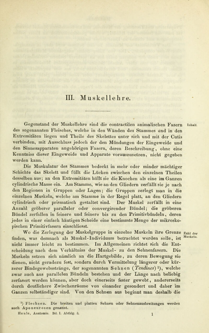 m. Müskellehre. Gegenstand der Müskellehre sind die contractilen animalischen Fasern Inhalt, des sogenannten P'leisches, welche in den Wänden des Stammes and in den Extremitäten liegen und Theile des Skelettes unter sich und mit der Cutis verbinden, mit Ausschluss jedoch der den Mündungen der Eingeweide und den Sinnesapparaten angehörigen Fasern, deren Beschreibung, ohne eine Kenntniss dieser Eingeweide und Apparate vorauszusetzen, nicht gegeben werden kann. Die Muskulatur des Stammes bedeckt in mehr oder minder mächtiger Schichte das Skelett und füllt die Lücken zwischen den einzelnen Theilen desselben aus; an den Extremitäten hüllt sie die Knochen als eine im Ganzen cylindrische Masse ein. Am Stamme, wie an den Gliedern zerfällt sie je nach den Regionen in Gruppen oder Lagen; die Gruppen zerlegt man in die einzelnen Muskeln, welche am Stamme in der Regel platt, an den Gliedern cylindrisch oder prismatisch gestaltet sind. Der Muskel zerfällt in eine Anzahl gröberer paralleler oder convergirender Bündel; die gröberen Bündel zerfallen in feinere und feinere bis zu den Primitivbündeln, deren jedes in einer einfach häutigen Scheide eine bestimmte Menge der mikrosko- pischen Primitivfasern einschliesst. Wo die Zerlegung der Muskelgruppe in einzelne Muskeln ihre Grenze zahi der finden, was demnach als Muskel-Individuum betrachtet werden solle, ist nicht immer leicht zu bestimmen. Im Allgemeinen richtet sich die Ent- scheidung nach dem Verhältniss der Muskel- zu den Sehnenfasern. Die Muskeln setzen sich nämlich an die Hartgebilde, zu deren Bewegung sie dienen, nicht geradezu fest, sondern durch Vermittelung längerer oder kür- zerer Bindegewebsstränge, der sogenannten Sehnen (^l^endines) ^) ^ welche zwar auch aus parallelen Bündeln bestehen und der Länge nach beliebig zerfasert werden können, aber doch einerseits fester gewebt, andererseits durch deutlichere Zwischenräume von einander gesondert und daher im Ganzen selbständiger sind. Von den Sehnen aus beginnt man deshalb die ^) Flechsen. Die breiten und platten Sehnen oder Sehnenausbreitungen werdeii auch Aponeurosen genannt.