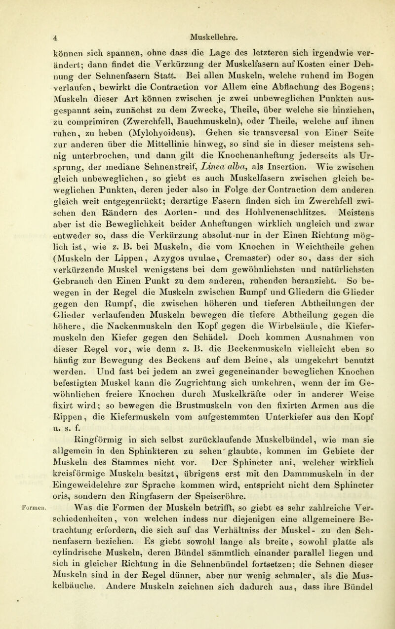 können sich spannen, ohne dass die Lage des letzteren sich irgendwie ver- ändert; dann findet die Verkürzung der Muskelfasern auf Kosten einer Deh- nung der Sehnenfasern Statt. Bei allen Muskeln, welche ruhend im Bogen verlaufen, bewirkt die Contraction vor Allem eine Abflachung des Bogens; Muskeln dieser Art können zwischen je zwei unbeweglichen Punkten aus- gespannt sein, zunächst zu dem Zwecke, Theile, über welche sie hinziehen, zu comprimiren (Zwerchfell, Bauchmuskeln), oder Theile, welche auf ihnen ruhen, zu heben (Mylohyoideus). Gehen sie transversal von Einer Seite zur anderen über die Mittellinie hinweg, so sind sie in dieser meistens seh- nig unterbrochen, und dann gilt die Knochenanheftung jederseits als Ur- sprung, der mediane Sehnenstreif, Linea alba, als Insertion. Wie zwischen gleich unbeweglichen, so giebt es auch Muskelfasern zwischen gleich be- weglichen Punkten, deren jeder also in Folge der Contraction dem anderen gleich weit entgegenrückt; derartige Fasern finden sich im Zwerchfell zwi- schen den Rändern des Aorten- und des Hohlvenenschlitzes. Meistens aber ist die Beweglichkeit beider Anheftungen wirklich ungleich und zwar entweder so, dass die Verkürzung absolut nur in der Einen Richtung mög- lich ist, wie z. B. bei Muskeln, die vom Knochen in Weichtheile gehen (Muskeln der Lippen, Azygos uvulae, Cremaster) oder so, dass der sich verkürzende Muskel wenigstens bei dem gewöhnlichsten und natürlichsten Gebrauch den Einen Punkt zu dem anderen, ruhenden heranzieht. So be- wegen in der Regel die Muskeln zwischen Rumpf und Gliedern die Glieder gegen den Rumpf, die zwischen höheren und tieferen Abtheilungen der Glieder verlaufenden Muskeln bewegen die tiefere Abtheilung gegen die höhere, die Nackenmuskeln den Kopf gegen die Wirbelsäule, die Kiefer- muskeln den Kiefer gegen den Schädel. Doch kommen Ausnahmen von dieser Regel vor, wie denn z. B. die Beckenmuskeln vielleicht eben so häufig zur Bewegung des Beckens auf dem Beine, als umgekehrt benutzt werden. Und fast bei jedem an zwei gegeneinander beweglichen Knochen befestigten Muskel kann die Zugrichtung sich umkehren, wenn der im Ge- wöhnlichen freiere Knochen durch Muskelkräfte oder in anderer Weise fixirt wird; so bewegen die Brustmuskeln von den fixirten Armen aus die Rippen, die Kiefermuskeln vom aufgestemmten Unterkiefer aus den Kopf u. s. f. Ringförmig in sich selbst zurücklaufende Muskelbündel, wie man sie allgemein in den Sphinkteren zu sehen' glaubte, kommen im Gebiete der Muskeln des Stammes nicht vor. Der Sphincter ani, welcher wirklich kreisförmige Muskeln besitzt, übrigens erst mit den Dammmuskeln in der Eingeweidelehre zur Sprache kommen wird, entspricht nicht dem Sphincter oris, sondern den Ringfasern der Speiseröhre. Formen. Was die Formen der Muskeln betrifft, so giebt es sehr zahlreiche Ver- schiedenheiten, von welchen indess nur diejenigen eine allgemeinere Be- trachtung erfordern, die sich auf das Verhältniss der Muskel- zu den Seh- nenfasern beziehen. Es giebt sowohl lange als breite, sowohl platte als cylindrische Muskeln, deren Bündel sämmtlich einander parallel liegen und sich in gleicher Richtung in die Sehnenbündel fortsetzen; die Sehnen dieser Muskeln sind in der Regel dünner, aber nur wenig schmaler, als die Mus- kelbäuclie. Andere Muskeln zeichnen sich dadurch aus, dass ihre Bündel
