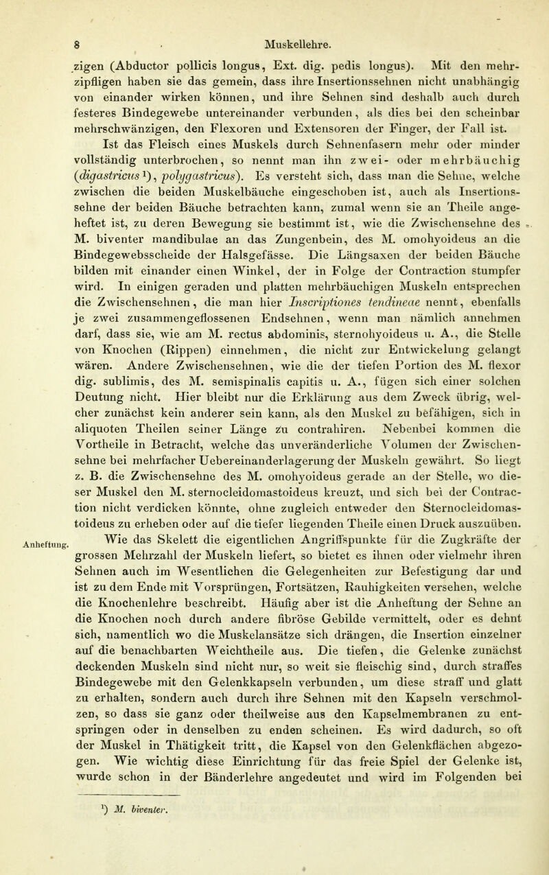 zigen (Abductor poUicis longus, Ext. dig. pedis longus). Mit den mehr- zipfligen haben sie das gemein, dass ihre Insertionssehnen nicht unabhängig von einander wirken können, und ihre Sehnen sind deshalb auch durch festeres Bindegewebe untereinander verbunden, als dies bei den scheinbar mehrschwänzigen, den Flexoren und Extensoren der Finger, der Fall ist. Ist das Fleisch eines Muskels durch Sehnenfasern mehr oder minder vollständig unterbrochen, so nennt man ihn zwei- oder mehr bäuchig (digastricus'^^ ^ polygastricus). Es versteht sich, dass man die Sehne, welche zwischen die beiden Muskelbäuche eingeschoben ist, auch als Insertions- sehne der beiden Bäuche betrachten kann, zumal wenn sie an Theile ange- heftet ist, zu deren Bewegung sie bestimmt ist, wie die Zwischensehne des .. M. biventer mandibulae an das Zungenbein, des M. omohyoideus an die Bindegewebsscheide der Halsgefässe. Die Längsaxen der beiden Bäuche bilden mit einander einen Winkel, der in Folge der Contraction stumpfer wird. In einigen geraden und platten mehrbäuchigen Muskeln entsprechen die Zwischensehnen, die man hier Inscrijjtiones tendineae nennt, ebenfalls je zwei zusammengeflossenen Endsehnen, wenn man nämlich annehmen darf, dass sie, wie am M. rectus abdominis, sternohyoideus u. A., die Stelle von Knochen (Rippen) einnehmen, die nicht zur Entwicklung gelangt wären. Andere Zwischensehnen, wie die der tiefen Portion des M. flexor dig. sublimis, des M. semispinalis capitis u. A., fügen sich einer solchen Deutung nicht. Hier bleibt nur die Erklärung aus dem Zweck übrig, wel- cher zunächst kein anderer sein kann, als den Muskel zu befähigen, sich in aliquoten Theilen seiner Länge z;u contrahiren. Nebenbei kommen die Vortheile in Betracht, welche das unveränderliche Volumen der Zwischen- sehne bei mehrfacher Uebereinanderlagerung der Muskeln gewährt. So liegt z. B. die Zwischensehne des M. omohyoideus gerade an der Stelle, wo die- ser Muskel den M. sternocleidomastoideus kreuzt, und sich bei der Contrac- tion nicht verdicken könnte, ohne zugleich entweder den Sternocleidomas- toideus zu erheben oder auf die tiefer liegenden Theile einen Druck auszuüben. Wie das Skelett die eigentlichen Angriffspunkte für die Zugkräfte der grossen Mehrzahl der Muskeln liefert, so bietet es ihnen oder vielmehr ihren Sehnen auch im Wesentlichen die Gelegenheiten zur Befestigung dar und ist zu dem Ende mit Vorsprüngen, Fortsätzen, Rauhigkeiten versehen, welche die Knochenlehre beschreibt. Häufig aber ist die Anheftung der Sehne an die Knochen noch durch andere fibröse Gebilde vermittelt, oder es dehnt sich, namentlich wo die Muskelansätze sich drängen, die Insertion einzelner auf die benachbarten Weichtheile aus. Die tiefen, die Gelenke zunächst deckenden Muskeln sind nicht nur, so weit sie fleischig sind, durch straffes Bindegewebe mit den Gelenkkapseln verbunden, um diese straff und glatt zu erhalten, sondern auch durch ihre Sehnen mit den Kapseln verschmol- zen, so dass sie ganz oder theilweise aus den Kapselmembranen zu ent- springen oder in denselben zu enden scheinen. Es wird dadurch, so oft der Muskel in Thätigkeit tritt, die Kapsel von den Gelenkflächen abgezo- gen. Wie wichtig diese Einrichtung für das freie Spiel der Gelenke ist, wurde schon in der Bänderlehre angedeutet und wird im Folgenden bei ^) M. biventer.