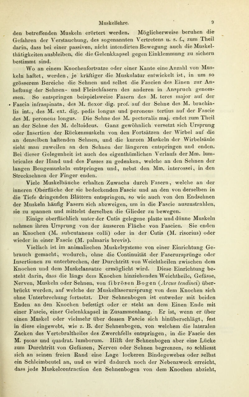 den betreffenden Muskeln erörtert werden. Möglicherweise beruhen die Gefahren der Verstauchung, des sogenannten Vertretens u. s. f., zum Theil darin, dass bei einer passiven, nicht intendirten Bewegung auch die Muskel- thätigkeiten ausbleiben, die die Gelenkkapsel gegen Einklemmung zu sichern bestimmt sind. Wo an einem Knochenfortsatze oder einer Kante eine Anzahl von Mus- keln haftet, werden, je kräftiger die Muskulatur entwickelt ist, in um so grösserem Bereiche die Sehnen und selbst die Fascien des Einen zur An- heftung der Sehnen- und Fleischfasern des anderen in Anspruch genom- men. So entspringen beispielsweise Fasern des M. teres major auf der • Fascia infrasplnata, des M. flexor dig. prof. auf der Sehne des M. brachia- lis int., des M. ext. dig. pedis longus und peroneus tertius auf der Fascie des M. peroneus longus. Die Sehne des M. pectoralis maj. endet zum Theil an der Sehne des M. deltoideus. Ganz gewöhnlich versetzt sich Ursprung oder Insertion der Rückenmuskeln von den Fortsätzen der Wirbel auf die an denselben haftenden Sehnen, und die kurzen Muskeln der Wirbelsäule sieht man zuweilen an den Sehnen der längeren entspringen und enden. Bei dieser Gelegenheit ist auch des eigenthümlichen Verlaufs der Mm. lum- bricales der Hand und des Fusses zu gedenken, welche an den Sehnen der langen Beugemuskeln entspringen und, nebst den Mm. interossei, in den Strecksehnen der Finger enden. Viele Muskelbäuche erhalten Zuwachs durch Fasern, welche an der inneren Oberfläche der sie bedeckenden Fascie und an den von derselben in die Tiefe dringenden Blättern entspringen, so wie auch von den Endsehnen der Muskeln häufig Fasern sich abzweigen, um in die Fascie auszustrahlen, sie zu spannen und mittelst derselben die Glieder zu bewegen. Einige oberflächlich unter der Cutis gelegene platte und dünne Muskeln nehmen ihren Ursprung von der äusseren Fläche von Fascien. Sie enden an Knochen (M. subcutaneus colli) oder in der Cutis (M. risorius) oder wieder in einer Fascie (M. palmaris brevis). Vielfach ist im animalischen Muskelsysteme von einer Einrichtung Ge- brauch gemacht, wodurch, ohne die Continuität der Faserursprünge oder Insertionen zu unterbrechen, der Durchtritt von Weichtheilen zwischen dem Knochen und dem Muskelansatze ermöglicht wird. Diese Einrichtung be- steht darin, dass die längs dem Knochen hinziehenden Weichtheile, Gefässe, Nerven, Muskeln oder Sehnen, von fibrösen Bogen (^jircus tendinei) über- brückt werden, auf welche der Muskelfaserursprung von dem Knochen sich ohne Unterbrechung fortsetzt. Der Sehnenbogen ist entweder mit beiden Enden an den Knochen befestigt oder er steht an dem Einen Ende mit einer Fascie, einer Gelenkkapsel in Zusammenhang. Er ist, wenn er über einen Muskel oder vielmehr über dessen Fascie sich hinüberschlägt, fest in diese eingewebt, wie z. B. der Sehnenbogen, von welchem die lateralen Zacken des Vertebraltheiles des Zwerchfells entspringen, in die Fascie des M. psoas und quadrat. lumborum. Hilft der Sehnenbogen aber eine Lücke zum Durchtritt von Gefässen, Nerven oder Sehnen begrenzen, so schliesst sich an seinen freien Rand eine Lage lockeren Bindegewebes oder selbst ein Schleimbeutel an, und es wird dadurch noch der Nebenzweck erreicht, dass jede Muskelcontraction den Sehnenbogen von dem Knochen abzieht.